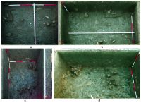 Cronica Cercetărilor Arheologice din România, Campania 2020. Raportul nr. 124, Ripiceni, La Holm (La Telescu)<br /><a href='CronicaCAfotografii/2020/04-Incheierea-editiei/124-ripiceni/fig-2-ripiceni-020-cas-x.jpg' target=_blank>Priveşte aceeaşi imagine într-o fereastră nouă</a>