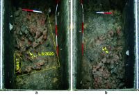 Cronica Cercetărilor Arheologice din România, Campania 2020. Raportul nr. 124, Ripiceni, La Holm (La Telescu)<br /><a href='CronicaCAfotografii/2020/04-Incheierea-editiei/124-ripiceni/fig-3-ripiceni-020-l-8.jpg' target=_blank>Priveşte aceeaşi imagine într-o fereastră nouă</a>