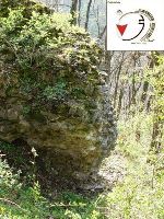 Cronica Cercetărilor Arheologice din România, Campania 1999. Raportul nr. 130, Sibişel, Bordu (Dealul Barlulului)<br /><a href='CronicaCAfotografii/1999/130/47.jpg' target=_blank>Priveşte aceeaşi imagine într-o fereastră nouă</a>, Sibişel, Bordu (Dealul Barlulului)<br /><a href='https://ran.cimec.ro/RANatasamente/i1/059AA6387A174406B6BBD67414D08451.jpg' target=_blank>Priveşte aceeaşi imagine într-o fereastră nouă</a>. Sursa: Studiu istoric cu definirea zonelor de protecţie pentru comuna Beriu, judeţul Hunedoara, PUG, Sibişel, Bordu (Dealul Barlulului)<br /><a href='https://ran.cimec.ro/RANatasamente/i1/B6B8715965DB432EA23D9F2817C2D875.jpg' target=_blank>Priveşte aceeaşi imagine într-o fereastră nouă</a>. Sursa: Studiu istoric cu definirea zonelor de protecţie pentru comuna Beriu, judeţul Hunedoara, PUG