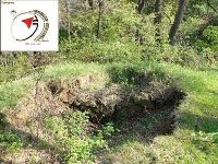 Cronica Cercetărilor Arheologice din România, Campania 1999. Raportul nr. 130, Sibişel, Bordu (Dealul Barlulului)<br /><a href='CronicaCAfotografii/1999/130/47.jpg' target=_blank>Priveşte aceeaşi imagine într-o fereastră nouă</a>, Sibişel, Bordu (Dealul Barlulului)<br /><a href='https://ran.cimec.ro/RANatasamente/i1/059AA6387A174406B6BBD67414D08451.jpg' target=_blank>Priveşte aceeaşi imagine într-o fereastră nouă</a>. Sursa: Studiu istoric cu definirea zonelor de protecţie pentru comuna Beriu, judeţul Hunedoara, PUG, Sibişel, Bordu (Dealul Barlulului)<br /><a href='https://ran.cimec.ro/RANatasamente/i1/B6B8715965DB432EA23D9F2817C2D875.jpg' target=_blank>Priveşte aceeaşi imagine într-o fereastră nouă</a>. Sursa: Studiu istoric cu definirea zonelor de protecţie pentru comuna Beriu, judeţul Hunedoara, PUG, Sibişel, Bordu (Dealul Barlulului)<br /><a href='https://ran.cimec.ro/RANatasamente/i1/68D5420656E54535A3B5044C5DDAF441.jpg' target=_blank>Priveşte aceeaşi imagine într-o fereastră nouă</a>. Sursa: Studiu istoric cu definirea zonelor de protecţie pentru comuna Beriu, judeţul Hunedoara, PUG