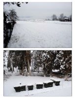 , Albeşti, Şesul ţiglelor<br /><a href='https://ran.cimec.ro/RANatasamente/i1/C3243B7439E346168546F7CB025BF80E.jpg' target=_blank>Priveşte aceeaşi imagine într-o fereastră nouă</a>. Sursa: Sorin Nemeti, Florin Fodorean, „Studiu istoric și arheologic al Planului Urbanistic General al comunei Albești, județul Mureș”, 2013