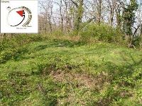 Cronica Cercetărilor Arheologice din România, Campania 1999. Raportul nr. 130, Sibişel, Bordu (Dealul Barlulului)<br /><a href='CronicaCAfotografii/1999/130/47.jpg' target=_blank>Priveşte aceeaşi imagine într-o fereastră nouă</a>, Sibişel, Bordu (Dealul Barlulului)<br /><a href='https://ran.cimec.ro/RANatasamente/i1/059AA6387A174406B6BBD67414D08451.jpg' target=_blank>Priveşte aceeaşi imagine într-o fereastră nouă</a>. Sursa: Studiu istoric cu definirea zonelor de protecţie pentru comuna Beriu, judeţul Hunedoara, PUG, Sibişel, Bordu (Dealul Barlulului)<br /><a href='https://ran.cimec.ro/RANatasamente/i1/B6B8715965DB432EA23D9F2817C2D875.jpg' target=_blank>Priveşte aceeaşi imagine într-o fereastră nouă</a>. Sursa: Studiu istoric cu definirea zonelor de protecţie pentru comuna Beriu, judeţul Hunedoara, PUG, Sibişel, Bordu (Dealul Barlulului)<br /><a href='https://ran.cimec.ro/RANatasamente/i1/68D5420656E54535A3B5044C5DDAF441.jpg' target=_blank>Priveşte aceeaşi imagine într-o fereastră nouă</a>. Sursa: Studiu istoric cu definirea zonelor de protecţie pentru comuna Beriu, judeţul Hunedoara, PUG, Sibişel, Bordu (Dealul Barlulului)<br /><a href='https://ran.cimec.ro/RANatasamente/i1/80C05A3F0D47486D9C8CFBF545E831E2.jpg' target=_blank>Priveşte aceeaşi imagine într-o fereastră nouă</a>. Sursa: Studiu istoric cu definirea zonelor de protecţie pentru comuna Beriu, judeţul Hunedoara, PUG, Sibişel, Bordu (Dealul Barlulului)<br /><a href='https://ran.cimec.ro/RANatasamente/i1/101D914867CD41A5939B85878312949C.jpg' target=_blank>Priveşte aceeaşi imagine într-o fereastră nouă</a>. Sursa: Studiu istoric cu definirea zonelor de protecţie pentru comuna Beriu, judeţul Hunedoara, PUG, Sibişel, Bordu (Dealul Barlulului)<br /><a href='https://ran.cimec.ro/RANatasamente/i1/820F1FE897E44F51BB000766128AED66.jpg' target=_blank>Priveşte aceeaşi imagine într-o fereastră nouă</a>. Sursa: Studiu istoric cu definirea zonelor de protecţie pentru comuna Beriu, judeţul Hunedoara, PUG, Sibişel, Bordu (Dealul Barlulului)<br /><a href='https://ran.cimec.ro/RANatasamente/i1/D681AD1BF333474B8E394C50D0A83C20.jpg' target=_blank>Priveşte aceeaşi imagine într-o fereastră nouă</a>. Sursa: Studiu istoric cu definirea zonelor de protecţie pentru comuna Beriu, judeţul Hunedoara, PUG, Sibişel, Bordu (Dealul Barlulului)<br /><a href='https://ran.cimec.ro/RANatasamente/i1/CABDA22367D14BCEABF274936F9FD178.jpg' target=_blank>Priveşte aceeaşi imagine într-o fereastră nouă</a>. Sursa: Studiu istoric cu definirea zonelor de protecţie pentru comuna Beriu, judeţul Hunedoara, PUG, Sibişel, Bordu (Dealul Barlulului)<br /><a href='https://ran.cimec.ro/RANatasamente/i1/EAE4AC3526EC4E9580C1A05D4A149D66.jpg' target=_blank>Priveşte aceeaşi imagine într-o fereastră nouă</a>. Sursa: Studiu istoric cu definirea zonelor de protecţie pentru comuna Beriu, judeţul Hunedoara, PUG, Sibişel, Bordu (Dealul Barlulului)<br /><a href='https://ran.cimec.ro/RANatasamente/i1/6F2522BBE1044DDDB226F7974FFC92C4.jpg' target=_blank>Priveşte aceeaşi imagine într-o fereastră nouă</a>. Sursa: Studiu istoric cu definirea zonelor de protecţie pentru comuna Beriu, judeţul Hunedoara, PUG