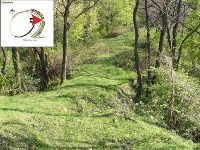 Cronica Cercetărilor Arheologice din România, Campania 1999. Raportul nr. 130, Sibişel, Bordu (Dealul Barlulului)<br /><a href='CronicaCAfotografii/1999/130/47.jpg' target=_blank>Priveşte aceeaşi imagine într-o fereastră nouă</a>, Sibişel, Bordu (Dealul Barlulului)<br /><a href='https://ran.cimec.ro/RANatasamente/i1/059AA6387A174406B6BBD67414D08451.jpg' target=_blank>Priveşte aceeaşi imagine într-o fereastră nouă</a>. Sursa: Studiu istoric cu definirea zonelor de protecţie pentru comuna Beriu, judeţul Hunedoara, PUG, Sibişel, Bordu (Dealul Barlulului)<br /><a href='https://ran.cimec.ro/RANatasamente/i1/B6B8715965DB432EA23D9F2817C2D875.jpg' target=_blank>Priveşte aceeaşi imagine într-o fereastră nouă</a>. Sursa: Studiu istoric cu definirea zonelor de protecţie pentru comuna Beriu, judeţul Hunedoara, PUG, Sibişel, Bordu (Dealul Barlulului)<br /><a href='https://ran.cimec.ro/RANatasamente/i1/68D5420656E54535A3B5044C5DDAF441.jpg' target=_blank>Priveşte aceeaşi imagine într-o fereastră nouă</a>. Sursa: Studiu istoric cu definirea zonelor de protecţie pentru comuna Beriu, judeţul Hunedoara, PUG, Sibişel, Bordu (Dealul Barlulului)<br /><a href='https://ran.cimec.ro/RANatasamente/i1/80C05A3F0D47486D9C8CFBF545E831E2.jpg' target=_blank>Priveşte aceeaşi imagine într-o fereastră nouă</a>. Sursa: Studiu istoric cu definirea zonelor de protecţie pentru comuna Beriu, judeţul Hunedoara, PUG, Sibişel, Bordu (Dealul Barlulului)<br /><a href='https://ran.cimec.ro/RANatasamente/i1/101D914867CD41A5939B85878312949C.jpg' target=_blank>Priveşte aceeaşi imagine într-o fereastră nouă</a>. Sursa: Studiu istoric cu definirea zonelor de protecţie pentru comuna Beriu, judeţul Hunedoara, PUG, Sibişel, Bordu (Dealul Barlulului)<br /><a href='https://ran.cimec.ro/RANatasamente/i1/820F1FE897E44F51BB000766128AED66.jpg' target=_blank>Priveşte aceeaşi imagine într-o fereastră nouă</a>. Sursa: Studiu istoric cu definirea zonelor de protecţie pentru comuna Beriu, judeţul Hunedoara, PUG, Sibişel, Bordu (Dealul Barlulului)<br /><a href='https://ran.cimec.ro/RANatasamente/i1/D681AD1BF333474B8E394C50D0A83C20.jpg' target=_blank>Priveşte aceeaşi imagine într-o fereastră nouă</a>. Sursa: Studiu istoric cu definirea zonelor de protecţie pentru comuna Beriu, judeţul Hunedoara, PUG, Sibişel, Bordu (Dealul Barlulului)<br /><a href='https://ran.cimec.ro/RANatasamente/i1/CABDA22367D14BCEABF274936F9FD178.jpg' target=_blank>Priveşte aceeaşi imagine într-o fereastră nouă</a>. Sursa: Studiu istoric cu definirea zonelor de protecţie pentru comuna Beriu, judeţul Hunedoara, PUG, Sibişel, Bordu (Dealul Barlulului)<br /><a href='https://ran.cimec.ro/RANatasamente/i1/EAE4AC3526EC4E9580C1A05D4A149D66.jpg' target=_blank>Priveşte aceeaşi imagine într-o fereastră nouă</a>. Sursa: Studiu istoric cu definirea zonelor de protecţie pentru comuna Beriu, judeţul Hunedoara, PUG, Sibişel, Bordu (Dealul Barlulului)<br /><a href='https://ran.cimec.ro/RANatasamente/i1/6F2522BBE1044DDDB226F7974FFC92C4.jpg' target=_blank>Priveşte aceeaşi imagine într-o fereastră nouă</a>. Sursa: Studiu istoric cu definirea zonelor de protecţie pentru comuna Beriu, judeţul Hunedoara, PUG, Sibişel, Bordu (Dealul Barlulului)<br /><a href='https://ran.cimec.ro/RANatasamente/i1/7E3DD7D064AF4C2DADB17DBB4319218F.jpg' target=_blank>Priveşte aceeaşi imagine într-o fereastră nouă</a>. Sursa: Studiu istoric cu definirea zonelor de protecţie pentru comuna Beriu, judeţul Hunedoara, PUG, Sibişel, Bordu (Dealul Barlulului)<br /><a href='https://ran.cimec.ro/RANatasamente/i1/DB7E92813BA5451E8DAEA308644FC66E.jpg' target=_blank>Priveşte aceeaşi imagine într-o fereastră nouă</a>. Sursa: Studiu istoric cu definirea zonelor de protecţie pentru comuna Beriu, judeţul Hunedoara, PUG, Sibişel, Bordu (Dealul Barlulului)<br /><a href='https://ran.cimec.ro/RANatasamente/i1/3918588959CA4407A718F4910046953C.jpg' target=_blank>Priveşte aceeaşi imagine într-o fereastră nouă</a>. Sursa: Studiu istoric cu definirea zonelor de protecţie pentru comuna Beriu, judeţul Hunedoara, PUG