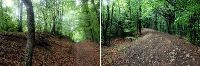 , Hurez, Sub Cornet (Păstăiasa; Cornul Păstăioşii; Dealul La Frasin; Sub Cornul Păstăioşii)<br /><a href='https://ran.cimec.ro/RANatasamente/i1/056C2A9E42AB4A0AABF2F0185E654B4B.jpg' target=_blank>Priveşte aceeaşi imagine într-o fereastră nouă</a>. Autor: Radu Zăgreanu. Sursa: „LIMES. Frontiers of the Roman Empire - Dacia”. Components parts, vol 1 (Nomination for inscription on the World Heritage List), 2023.