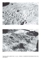 Cronica Cercetărilor Arheologice din România, Campania 2009. Raportul nr. 20, Schela Cladovei, cartier Schela Cladovei (La Canton (km 854-935))<br /><a href='CronicaCAfotografii/2009/sistematice/020/Schela-Cladovei-5.jpg' target=_blank>Priveşte aceeaşi imagine într-o fereastră nouă</a>, Schela Cladovei, cartier Schela Cladovei (La Canton (km 854-935))<br /><a href='https://ran.cimec.ro/RANatasamente/i1/E68D054849914043880338EC0FC77ED4.jpg' target=_blank>Priveşte aceeaşi imagine într-o fereastră nouă</a>. Autor: Adina Boroneanț. Titlu: Ceramică Starcevo-Criș, fragmente ceramice pictate. Sursa: Adina Boroneanț, Aspecte ale tranziţiei de la mezolitic la neoliticul timpuriu în zona Parţile de Fier, Mega, Cluj Napoca, 2012, p. 362, fig 115, Schela Cladovei, cartier Schela Cladovei (La Canton (km 854-935))<br /><a href='https://ran.cimec.ro/RANatasamente/i1/BD321D74788D45BE8813BAE9598DF24D.jpg' target=_blank>Priveşte aceeaşi imagine într-o fereastră nouă</a>. Autor: Adina Boroneanț. Titlu: Ceramică Starcevo-Criș, fragmente ceramice pictate. Sursa: Adina Boroneanț, Aspecte ale tranziţiei de la mezolitic la neoliticul timpuriu în zona Parţile de Fier, Mega, Cluj Napoca, 2012, p. 363, fig. 116, Schela Cladovei, cartier Schela Cladovei (La Canton (km 854-935))<br /><a href='https://ran.cimec.ro/RANatasamente/i1/5F5943FEBD9E464098CA2BCA3461982C.jpg' target=_blank>Priveşte aceeaşi imagine într-o fereastră nouă</a>. Autor: Adina Boroneanț, Vasile Boroneanț. Titlu: Amplasarea secțiunilor din 1965, 1965 - 1967. Sursa: Adina Boroneanț, Aspecte ale tranziţiei de la mezolitic la neoliticul timpuriu în zona Parţile de Fier, Mega, Cluj Napoca, 2012, p. 337, fig. 90, Schela Cladovei, cartier Schela Cladovei (La Canton (km 854-935))<br /><a href='https://ran.cimec.ro/RANatasamente/i1/B04AB9CCF41F42DC99EFBA32AE00D3DE.jpg' target=_blank>Priveşte aceeaşi imagine într-o fereastră nouă</a>. Autor: Adina Boroneanț, Vasile Boroneanț. Titlu: Complexe și morminte descoperite în 1968. Sursa: Adina Boroneanț, Aspecte ale tranziţiei de la mezolitic la neoliticul timpuriu în zona Parţile de Fier, Mega, Cluj Napoca, 2012, p. 344, fig. 97, Schela Cladovei, cartier Schela Cladovei (La Canton (km 854-935))<br /><a href='https://ran.cimec.ro/RANatasamente/i1/F54E97A06A6B4828AC5A418CFD076D6B.jpg' target=_blank>Priveşte aceeaşi imagine într-o fereastră nouă</a>. Autor: Adina Boroneanț, Vasile Boroneanț. Titlu: Complexul 2 și Mormântul 5/L3S și un detaliu cu groapa neolitică din centrul său (foto arhiva V. Boroneanț). Sursa: Adina Boroneanț, Aspecte ale tranziţiei de la mezolitic la neoliticul timpuriu în zona Parţile de Fier, Mega, Cluj Napoca, 2012, p. 348, fig 101, Schela Cladovei, cartier Schela Cladovei (La Canton (km 854-935))<br /><a href='https://ran.cimec.ro/RANatasamente/i1/486AF6F225664D76AAF2F60F1EB4165A.jpg' target=_blank>Priveşte aceeaşi imagine într-o fereastră nouă</a>. Autor: Adina Boroneanț, Vasile Boroneanț. Titlu: Complexul 2, orizonturile I și II și o parte din morminte. Sursa: Adina Boroneanț, Aspecte ale tranziţiei de la mezolitic la neoliticul timpuriu în zona Parţile de Fier, Mega, Cluj Napoca, 2012, p. 347, fig. 100, Schela Cladovei, cartier Schela Cladovei (La Canton (km 854-935))<br /><a href='https://ran.cimec.ro/RANatasamente/i1/32F4E8E9166848AFA94A7AE1D623618A.jpg' target=_blank>Priveşte aceeaşi imagine într-o fereastră nouă</a>. Autor: Adina Boroneanț, Vasile Boroneanț. Titlu: Localizarea mormintelor față de platforma Cpl2 și vatra V1/SB4 (foto arhiva V. Boroneanț). Sursa: Adina Boroneanț, Aspecte ale tranziţiei de la mezolitic la neoliticul timpuriu în zona Parţile de Fier, Mega, Cluj Napoca, 2012, p. 358, fig. 111, Schela Cladovei, cartier Schela Cladovei (La Canton (km 854-935))<br /><a href='https://ran.cimec.ro/RANatasamente/i1/ADCC5284A5544E0AABEDBB5946B03859.jpg' target=_blank>Priveşte aceeaşi imagine într-o fereastră nouă</a>. Autor: Adina Boroneanț, Vasile Boroneanț. Titlu: M1 - M1bis din L2N (foto arhiva V. Boroneanț; plan redesenat de Adina Boroneanț după planul de șantier realizat de V. Boroneanț). Sursa: Adina Boroneanț, Aspecte ale tranziţiei de la mezolitic la neoliticul timpuriu în zona Parţile de Fier, Mega, Cluj Napoca, 2012, p. 353, fig. 106, Schela Cladovei, cartier Schela Cladovei (La Canton (km 854-935))<br /><a href='https://ran.cimec.ro/RANatasamente/i1/9EA428CB1A89499E830D643BEADD0192.jpg' target=_blank>Priveşte aceeaşi imagine într-o fereastră nouă</a>. Autor: Adina Boroneanț, Vasile Boroneanț. Titlu: M1-M2/SB4 și M3/SB4 cu oale arse. Sursa: Adina Boroneanț, Aspecte ale tranziţiei de la mezolitic la neoliticul timpuriu în zona Parţile de Fier, Mega, Cluj Napoca, 2012, p. 352, fig. 105, Schela Cladovei, cartier Schela Cladovei (La Canton (km 854-935))<br /><a href='https://ran.cimec.ro/RANatasamente/i1/E2A23F5B5D2C4AE29BCF6D29351F3917.jpg' target=_blank>Priveşte aceeaşi imagine într-o fereastră nouă</a>. Autor: Adina Boroneanț, Vasile Boroneanț. Titlu: Morminte mezolitice. Sursa: Adina Boroneanț, Aspecte ale tranziţiei de la mezolitic la neoliticul timpuriu în zona Parţile de Fier, Mega, Cluj Napoca, 2012, p. 342, fig 95, Schela Cladovei, cartier Schela Cladovei (La Canton (km 854-935))<br /><a href='https://ran.cimec.ro/RANatasamente/i1/24BFE764C0814F0DBA6123C4262E0E40.jpg' target=_blank>Priveşte aceeaşi imagine într-o fereastră nouă</a>. Autor: Adina Boroneanț, Vasile Boroneanț. Titlu: Morminte mezolitice și complexe din neoliticul timpuriu și perioada La Tene.. Sursa: Adina Boroneanț, Aspecte ale tranziţiei de la mezolitic la neoliticul timpuriu în zona Parţile de Fier, Mega, Cluj Napoca, 2012, p. 341, fig 94, Schela Cladovei, cartier Schela Cladovei (La Canton (km 854-935))<br /><a href='https://ran.cimec.ro/RANatasamente/i1/5FF87170D4CD4A7B98AC4EA51DE57912.jpg' target=_blank>Priveşte aceeaşi imagine într-o fereastră nouă</a>. Autor: Adina Boroneanț, Vasile Boroneanț. Titlu: Mormintele din jurul vetrei V1/SB4, orizont I. Sursa: Adina Boroneanț, Aspecte ale tranziţiei de la mezolitic la neoliticul timpuriu în zona Parţile de Fier, Mega, Cluj Napoca, 2012, p. 350, fig. 103, Schela Cladovei, cartier Schela Cladovei (La Canton (km 854-935))<br /><a href='https://ran.cimec.ro/RANatasamente/i1/FA261F20B9E9488AA18A1C808389D9EC.jpg' target=_blank>Priveşte aceeaşi imagine într-o fereastră nouă</a>. Autor: Adina Boroneanț, Vasile Boroneanț. Titlu: Profilul de nord și complexele arheologice dezvelite în 1967. Sursa: Adina Boroneanț, Aspecte ale tranziţiei de la mezolitic la neoliticul timpuriu în zona Parţile de Fier, Mega, Cluj Napoca, 2012, p. 339, fig. 92, Schela Cladovei, cartier Schela Cladovei (La Canton (km 854-935))<br /><a href='https://ran.cimec.ro/RANatasamente/i1/B0BAE88375744DEEA855BE83FB0F2A62.jpg' target=_blank>Priveşte aceeaşi imagine într-o fereastră nouă</a>. Autor: Adina Boroneanț, Vasile Boroneanț. Titlu: Profilul de sud și fotografie cu mormintele mezolitice din jurul unei vetre. Sursa: Adina Boroneanț, Aspecte ale tranziţiei de la mezolitic la neoliticul timpuriu în zona Parţile de Fier, Mega, Cluj Napoca, 2012, p. 351, fig. 104, Schela Cladovei, cartier Schela Cladovei (La Canton (km 854-935))<br /><a href='https://ran.cimec.ro/RANatasamente/i1/059AEC8E4AEB4453BF0A9E1F7E9173C2.jpg' target=_blank>Priveşte aceeaşi imagine într-o fereastră nouă</a>. Autor: Adina Boroneanț, Vasile Boroneanț. Titlu: Vederi generale asupra sitului. Sursa: Adina Boroneanț, Aspecte ale tranziţiei de la mezolitic la neoliticul timpuriu în zona Parţile de Fier, Mega, Cluj Napoca, 2012, p. 336, Schela Cladovei, cartier Schela Cladovei (La Canton (km 854-935))<br /><a href='https://ran.cimec.ro/RANatasamente/i1/2CB30DAA7D984A55A931F57F2D4A3ADF.jpg' target=_blank>Priveşte aceeaşi imagine într-o fereastră nouă</a>. Autor: Adina Boroneanț, Vasile Boroneanț, Mișu Davidescu. Titlu: Planul general al secțiunilor din Sectorul B. Sursa: Adina Boroneanț, Aspecte ale tranziţiei de la mezolitic la neoliticul timpuriu în zona Parţile de Fier, Mega, Cluj Napoca, 2012, p. 338, fig 91, Schela Cladovei, cartier Schela Cladovei (La Canton (km 854-935))<br /><a href='https://ran.cimec.ro/RANatasamente/i1/E2E00F4B32B244188B56FBE11100FEF0.jpg' target=_blank>Priveşte aceeaşi imagine într-o fereastră nouă</a>. Autor: Vasile Boroneanț. Titlu: Complexul 2, orizonul I și complexele înconjurătoare (foto arhiva V Boroneanț). Sursa: Adina Boroneanț, Aspecte ale tranziţiei de la mezolitic la neoliticul timpuriu în zona Parţile de Fier, Mega, Cluj Napoca, 2012, p. 345, fig 98