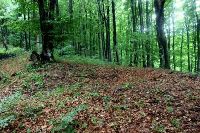 , Hurez, Sub Cornet 2 (Păstăiasa; Cornul Păstăioşii)<br /><a href='https://ran.cimec.ro/RANatasamente/i1/4DE9DBEDDE264601996264310F1DC173.jpg' target=_blank>Priveşte aceeaşi imagine într-o fereastră nouă</a>. Autor: Radu Zăgreanu. Sursa: „LIMES. Frontiers of the Roman Empire - Dacia”. Components parts, vol 1 (Nomination for inscription on the World Heritage List), 2023.