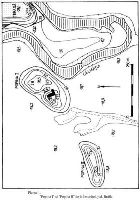 Cronica Cercetărilor Arheologice din România, Campania 2001. Raportul nr. 124, Însurăţei, Popina II (Popina Ruptă)<br /><a href='CronicaCAfotografii/2001/124/ins-2001-pl-03.jpg' target=_blank>Priveşte aceeaşi imagine într-o fereastră nouă</a>, Însurăţei, Popina II (Popina Ruptă)<br /><a href='https://ran.cimec.ro/RANatasamente/i1/9D53D516F6F745559A263EC299F706F2.jpg' target=_blank>Priveşte aceeaşi imagine într-o fereastră nouă</a>