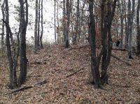 , Treznea, Sub Păstaie (La Şuvar deasupra Pârâului Pietrii)<br /><a href='https://ran.cimec.ro/RANatasamente/i1/4A7A13F67D1443CDBD4672E59C4B9170.jpg' target=_blank>Priveşte aceeaşi imagine într-o fereastră nouă</a>. Autor: S.C. Urban Team S.R.L.. Sursa: „LIMES. Frontiers of the Roman Empire - Dacia”. Components parts, vol 1 (Nomination for inscription on the World Heritage List), 2023.