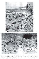 Cronica Cercetărilor Arheologice din România, Campania 2009. Raportul nr. 20, Schela Cladovei, cartier Schela Cladovei (La Canton (km 854-935))<br /><a href='CronicaCAfotografii/2009/sistematice/020/Schela-Cladovei-5.jpg' target=_blank>Priveşte aceeaşi imagine într-o fereastră nouă</a>, Schela Cladovei, cartier Schela Cladovei (La Canton (km 854-935))<br /><a href='https://ran.cimec.ro/RANatasamente/i1/E68D054849914043880338EC0FC77ED4.jpg' target=_blank>Priveşte aceeaşi imagine într-o fereastră nouă</a>. Autor: Adina Boroneanț. Titlu: Ceramică Starcevo-Criș, fragmente ceramice pictate. Sursa: Adina Boroneanț, Aspecte ale tranziţiei de la mezolitic la neoliticul timpuriu în zona Parţile de Fier, Mega, Cluj Napoca, 2012, p. 362, fig 115, Schela Cladovei, cartier Schela Cladovei (La Canton (km 854-935))<br /><a href='https://ran.cimec.ro/RANatasamente/i1/BD321D74788D45BE8813BAE9598DF24D.jpg' target=_blank>Priveşte aceeaşi imagine într-o fereastră nouă</a>. Autor: Adina Boroneanț. Titlu: Ceramică Starcevo-Criș, fragmente ceramice pictate. Sursa: Adina Boroneanț, Aspecte ale tranziţiei de la mezolitic la neoliticul timpuriu în zona Parţile de Fier, Mega, Cluj Napoca, 2012, p. 363, fig. 116, Schela Cladovei, cartier Schela Cladovei (La Canton (km 854-935))<br /><a href='https://ran.cimec.ro/RANatasamente/i1/5F5943FEBD9E464098CA2BCA3461982C.jpg' target=_blank>Priveşte aceeaşi imagine într-o fereastră nouă</a>. Autor: Adina Boroneanț, Vasile Boroneanț. Titlu: Amplasarea secțiunilor din 1965, 1965 - 1967. Sursa: Adina Boroneanț, Aspecte ale tranziţiei de la mezolitic la neoliticul timpuriu în zona Parţile de Fier, Mega, Cluj Napoca, 2012, p. 337, fig. 90, Schela Cladovei, cartier Schela Cladovei (La Canton (km 854-935))<br /><a href='https://ran.cimec.ro/RANatasamente/i1/B04AB9CCF41F42DC99EFBA32AE00D3DE.jpg' target=_blank>Priveşte aceeaşi imagine într-o fereastră nouă</a>. Autor: Adina Boroneanț, Vasile Boroneanț. Titlu: Complexe și morminte descoperite în 1968. Sursa: Adina Boroneanț, Aspecte ale tranziţiei de la mezolitic la neoliticul timpuriu în zona Parţile de Fier, Mega, Cluj Napoca, 2012, p. 344, fig. 97, Schela Cladovei, cartier Schela Cladovei (La Canton (km 854-935))<br /><a href='https://ran.cimec.ro/RANatasamente/i1/F54E97A06A6B4828AC5A418CFD076D6B.jpg' target=_blank>Priveşte aceeaşi imagine într-o fereastră nouă</a>. Autor: Adina Boroneanț, Vasile Boroneanț. Titlu: Complexul 2 și Mormântul 5/L3S și un detaliu cu groapa neolitică din centrul său (foto arhiva V. Boroneanț). Sursa: Adina Boroneanț, Aspecte ale tranziţiei de la mezolitic la neoliticul timpuriu în zona Parţile de Fier, Mega, Cluj Napoca, 2012, p. 348, fig 101, Schela Cladovei, cartier Schela Cladovei (La Canton (km 854-935))<br /><a href='https://ran.cimec.ro/RANatasamente/i1/486AF6F225664D76AAF2F60F1EB4165A.jpg' target=_blank>Priveşte aceeaşi imagine într-o fereastră nouă</a>. Autor: Adina Boroneanț, Vasile Boroneanț. Titlu: Complexul 2, orizonturile I și II și o parte din morminte. Sursa: Adina Boroneanț, Aspecte ale tranziţiei de la mezolitic la neoliticul timpuriu în zona Parţile de Fier, Mega, Cluj Napoca, 2012, p. 347, fig. 100, Schela Cladovei, cartier Schela Cladovei (La Canton (km 854-935))<br /><a href='https://ran.cimec.ro/RANatasamente/i1/32F4E8E9166848AFA94A7AE1D623618A.jpg' target=_blank>Priveşte aceeaşi imagine într-o fereastră nouă</a>. Autor: Adina Boroneanț, Vasile Boroneanț. Titlu: Localizarea mormintelor față de platforma Cpl2 și vatra V1/SB4 (foto arhiva V. Boroneanț). Sursa: Adina Boroneanț, Aspecte ale tranziţiei de la mezolitic la neoliticul timpuriu în zona Parţile de Fier, Mega, Cluj Napoca, 2012, p. 358, fig. 111, Schela Cladovei, cartier Schela Cladovei (La Canton (km 854-935))<br /><a href='https://ran.cimec.ro/RANatasamente/i1/ADCC5284A5544E0AABEDBB5946B03859.jpg' target=_blank>Priveşte aceeaşi imagine într-o fereastră nouă</a>. Autor: Adina Boroneanț, Vasile Boroneanț. Titlu: M1 - M1bis din L2N (foto arhiva V. Boroneanț; plan redesenat de Adina Boroneanț după planul de șantier realizat de V. Boroneanț). Sursa: Adina Boroneanț, Aspecte ale tranziţiei de la mezolitic la neoliticul timpuriu în zona Parţile de Fier, Mega, Cluj Napoca, 2012, p. 353, fig. 106, Schela Cladovei, cartier Schela Cladovei (La Canton (km 854-935))<br /><a href='https://ran.cimec.ro/RANatasamente/i1/9EA428CB1A89499E830D643BEADD0192.jpg' target=_blank>Priveşte aceeaşi imagine într-o fereastră nouă</a>. Autor: Adina Boroneanț, Vasile Boroneanț. Titlu: M1-M2/SB4 și M3/SB4 cu oale arse. Sursa: Adina Boroneanț, Aspecte ale tranziţiei de la mezolitic la neoliticul timpuriu în zona Parţile de Fier, Mega, Cluj Napoca, 2012, p. 352, fig. 105, Schela Cladovei, cartier Schela Cladovei (La Canton (km 854-935))<br /><a href='https://ran.cimec.ro/RANatasamente/i1/E2A23F5B5D2C4AE29BCF6D29351F3917.jpg' target=_blank>Priveşte aceeaşi imagine într-o fereastră nouă</a>. Autor: Adina Boroneanț, Vasile Boroneanț. Titlu: Morminte mezolitice. Sursa: Adina Boroneanț, Aspecte ale tranziţiei de la mezolitic la neoliticul timpuriu în zona Parţile de Fier, Mega, Cluj Napoca, 2012, p. 342, fig 95, Schela Cladovei, cartier Schela Cladovei (La Canton (km 854-935))<br /><a href='https://ran.cimec.ro/RANatasamente/i1/24BFE764C0814F0DBA6123C4262E0E40.jpg' target=_blank>Priveşte aceeaşi imagine într-o fereastră nouă</a>. Autor: Adina Boroneanț, Vasile Boroneanț. Titlu: Morminte mezolitice și complexe din neoliticul timpuriu și perioada La Tene.. Sursa: Adina Boroneanț, Aspecte ale tranziţiei de la mezolitic la neoliticul timpuriu în zona Parţile de Fier, Mega, Cluj Napoca, 2012, p. 341, fig 94