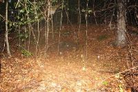 , Hurez, La Frasin 2<br /><a href='https://ran.cimec.ro/RANatasamente/i1/EB1184CD85D34B92A3047F7CA8A03C6C.jpg' target=_blank>Priveşte aceeaşi imagine într-o fereastră nouă</a>. Autor: Radu Zăgreanu. Sursa: „LIMES. Frontiers of the Roman Empire - Dacia”. Components parts, vol 1 (Nomination for inscription on the World Heritage List), 2023.