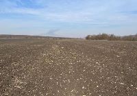 , Turda, Valea Sărată (Sospatak)<br /><a href='https://ran.cimec.ro/RANatasamente/i2/F2E5FE943E6441A18BCEAC83D8E71726.jpg' target=_blank>Priveşte aceeaşi imagine într-o fereastră nouă</a>. Autor: Chiorean Paul Florin. Titlu: Situl arheologic de la Turda - Valea Sărată. Sursa: Fișă de sit, Chiorean Paul Florin 2025