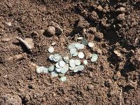 Cronica Cercetărilor Arheologice din România, Campania 2011. Raportul nr. 114, Drobeta-Turnu Severin, Parcul General Dragalina (Zeren; Zeuriuenses; Zwun)<br /><a href='CronicaCAfotografii/2011/114/plansa-xx.jpg' target=_blank>Priveşte aceeaşi imagine într-o fereastră nouă</a>, Drobeta-Turnu Severin, Parcul General Dragalina (Zeren; Zeuriuenses; Zwun)<br /><a href='https://ran.cimec.ro/RANatasamente/i1/8DA88FCA588D41F89C7339A7E926C845.jpg' target=_blank>Priveşte aceeaşi imagine într-o fereastră nouă</a>. Titlu: 1. Inel din argint cu inscripție, secolele XIV-XV. 2. Cămașă de zale din fier, secolul al XV-lea. 3 - Fotografie din timpul descoperirii tezaurului monetar compus din 159 de monede de argint, din 2011.. Sursa: Marian Iulian Neagoe, Cetatea medievală a Severinului, centru de putere la Porțile de Fier, MJM, Craiova, 2021, pp. 28-29, 165, planșa XXX/1, 2, 3, p. 194, Drobeta-Turnu Severin, Parcul General Dragalina (Zeren; Zeuriuenses; Zwun)<br /><a href='https://ran.cimec.ro/RANatasamente/i1/6E16DBA227134F4F868AB263468C32E3.jpg' target=_blank>Priveşte aceeaşi imagine într-o fereastră nouă</a>. Titlu: Fotografie a suprafeței Sp. V/2011, cercetate în spațiul intermediar de vest dintre incinte. 2. Desen al profilului de sud al suprafeței Sp. V/2011. Sursa: Marian Iulian Neagoe, Cetatea medievală a Severinului, centru de putere la Porțile de Fier, MJM, Craiova, 2021, pp. 28-29, 165, planșa VII/1, 2, p. 171, Drobeta-Turnu Severin, Parcul General Dragalina (Zeren; Zeuriuenses; Zwun)<br /><a href='https://ran.cimec.ro/RANatasamente/i1/DE66F1E8B8B8441A866EC68574A8DEA0.jpg' target=_blank>Priveşte aceeaşi imagine într-o fereastră nouă</a>. Titlu: Fotografie a suprafeței Sp. VII/2011, cercetate în spațiul de vest dintre incinte. 2 - Fotografie cu profilul de nord suprafeței Sp. VII/2011. Sursa: Marian Iulian Neagoe, Cetatea medievală a Severinului, centru de putere la Porțile de Fier, MJM, Craiova, 2021, pp. 28-29, 165, planșa VIII/1,2, p. 172, Drobeta-Turnu Severin, Parcul General Dragalina (Zeren; Zeuriuenses; Zwun)<br /><a href='https://ran.cimec.ro/RANatasamente/i1/44DDB4003B7F49A1A7C77B261CF48551.jpg' target=_blank>Priveşte aceeaşi imagine într-o fereastră nouă</a>. Titlu: Fotografie cu turnul de poartă de pe latura nordică a primei incinte (Sp. IX/2011). 2 - Desenul profilului de nord al suprafeței Sp. IX/2011. Sursa: Marian Iulian Neagoe, Cetatea medievală a Severinului, centru de putere la Porțile de Fier, MJM, Craiova, 2021, pp. 28-29, 165, planșa IX/1,2, p. 173, Drobeta-Turnu Severin, Parcul General Dragalina (Zeren; Zeuriuenses; Zwun)<br /><a href='https://ran.cimec.ro/RANatasamente/i1/99F321ECC4B449719BEFF5BFEFA7B369.jpg' target=_blank>Priveşte aceeaşi imagine într-o fereastră nouă</a>. Titlu: Planul Cetății Severinului - ultimele cercetări arheologice. Sursa: Marian Iulian Neagoe, Cetatea medievală a Severinului, centru de putere la Porțile de Fier, MJM, Craiova, 2021, pp. 28-29, 165, planșa IV, p. 170, Drobeta-Turnu Severin, Parcul General Dragalina (Zeren; Zeuriuenses; Zwun)<br /><a href='https://ran.cimec.ro/RANatasamente/i1/9B59A34E955A45ABB2ED8C1111841DB6.jpg' target=_blank>Priveşte aceeaşi imagine într-o fereastră nouă</a>. Titlu: Planul turnului intermediar de est al incintei interioare, cu ruinele bisericilor I-II și amplasarea mormintelor descoperite în 1939-1940, 2011 și 2013. Sursa: Marian Iulian Neagoe, Cetatea medievală a Severinului, centru de putere la Porțile de Fier, MJM, Craiova, 2021, pp. 28-29, 165, planșa X, p. 174, Drobeta-Turnu Severin, Parcul General Dragalina (Zeren; Zeuriuenses; Zwun)<br /><a href='https://ran.cimec.ro/RANatasamente/i1/CF058F8C276D4A1F9EA598077034D0E2.jpg' target=_blank>Priveşte aceeaşi imagine într-o fereastră nouă</a>. Titlu: Ruinele Cetății Severinului. Sursa: Marian Iulian Neagoe, Cetatea medievală a Severinului, centru de putere la Porțile de Fier, MJM, Craiova, 2021, pp. 28-29, 165, planșa IV/2, p. 168, Drobeta-Turnu Severin, Parcul General Dragalina (Zeren; Zeuriuenses; Zwun)<br /><a href='https://ran.cimec.ro/RANatasamente/i2/98DE2E8C636A45F798707E1A5417D422.jpg' target=_blank>Priveşte aceeaşi imagine într-o fereastră nouă</a>. Autor: Crăciunescu Gabriel etl all. Titlu: Artefacte descoperite în timpul cercetărilor din 2011. Sursa: Gabriel Crăciunescu, Marin Iulian Neagoe, Oana Minodora Neagoe, Raport de cercetare arheologică, situl „Cetatea Severinului, Muzeul Regiunii Porților de Fier, Drobeta Turnu Severin, 28.07.2011, Drobeta-Turnu Severin, Parcul General Dragalina (Zeren; Zeuriuenses; Zwun)<br /><a href='https://ran.cimec.ro/RANatasamente/i2/3104BC85CA1C4739867BE6D67F62F06D.jpg' target=_blank>Priveşte aceeaşi imagine într-o fereastră nouă</a>. Autor: Crăciunescu Gabriel etl all. Titlu: Artefacte din bronz descoperite în 2011. Sursa: Gabriel Crăciunescu, Marin Iulian Neagoe, Oana Minodora Neagoe, Raport de cercetare arheologică, situl „Cetatea Severinului, Muzeul Regiunii Porților de Fier, Drobeta Turnu Severin, 28.07.2011, Drobeta-Turnu Severin, Parcul General Dragalina (Zeren; Zeuriuenses; Zwun)<br /><a href='https://ran.cimec.ro/RANatasamente/i2/5A207B29CA8A4224A9843FF32D442143.jpg' target=_blank>Priveşte aceeaşi imagine într-o fereastră nouă</a>. Autor: Crăciunescu Gabriel etl all. Titlu: Artefacte din fier. Sursa: Gabriel Crăciunescu, Marin Iulian Neagoe, Oana Minodora Neagoe, Raport de cercetare arheologică, situl „Cetatea Severinului, Muzeul Regiunii Porților de Fier, Drobeta Turnu Severin, 28.07.2011, Drobeta-Turnu Severin, Parcul General Dragalina (Zeren; Zeuriuenses; Zwun)<br /><a href='https://ran.cimec.ro/RANatasamente/i2/4028B464A91C41AEAD07D0FB4ACB176E.jpg' target=_blank>Priveşte aceeaşi imagine într-o fereastră nouă</a>. Autor: Crăciunescu Gabriel etl all. Titlu: Artefacte din fier. Sursa: Gabriel Crăciunescu, Marin Iulian Neagoe, Oana Minodora Neagoe, Raport de cercetare arheologică, situl „Cetatea Severinului, Muzeul Regiunii Porților de Fier, Drobeta Turnu Severin, 28.07.2011, Drobeta-Turnu Severin, Parcul General Dragalina (Zeren; Zeuriuenses; Zwun)<br /><a href='https://ran.cimec.ro/RANatasamente/i2/52C73A3BE46C4D198996D78E798F5C80.jpg' target=_blank>Priveşte aceeaşi imagine într-o fereastră nouă</a>. Autor: Crăciunescu Gabriel etl all. Titlu: Artefacte din fier descoperite în 2011. Sursa: Gabriel Crăciunescu, Marin Iulian Neagoe, Oana Minodora Neagoe, Raport de cercetare arheologică, situl „Cetatea Severinului, Muzeul Regiunii Porților de Fier, Drobeta Turnu Severin, 28.07.2011, Drobeta-Turnu Severin, Parcul General Dragalina (Zeren; Zeuriuenses; Zwun)<br /><a href='https://ran.cimec.ro/RANatasamente/i2/80A2E4DD53D24680AFF56EB33448ED91.jpg' target=_blank>Priveşte aceeaşi imagine într-o fereastră nouă</a>. Autor: Crăciunescu Gabriel etl all. Titlu: Artefacte din fier descoperite în 2011. Sursa: Gabriel Crăciunescu, Marin Iulian Neagoe, Oana Minodora Neagoe, Raport de cercetare arheologică, situl „Cetatea Severinului, Muzeul Regiunii Porților de Fier, Drobeta Turnu Severin, 28.07.2011, Drobeta-Turnu Severin, Parcul General Dragalina (Zeren; Zeuriuenses; Zwun)<br /><a href='https://ran.cimec.ro/RANatasamente/i2/2CDA62FB5C474C8AAC5BFD0CCC64AEF3.jpg' target=_blank>Priveşte aceeaşi imagine într-o fereastră nouă</a>. Autor: Crăciunescu Gabriel etl all. Titlu: Artefacte din fier descoperite în 2011. Sursa: Gabriel Crăciunescu, Marin Iulian Neagoe, Oana Minodora Neagoe, Raport de cercetare arheologică, situl „Cetatea Severinului, Muzeul Regiunii Porților de Fier, Drobeta Turnu Severin, 28.07.2011, Drobeta-Turnu Severin, Parcul General Dragalina (Zeren; Zeuriuenses; Zwun)<br /><a href='https://ran.cimec.ro/RANatasamente/i2/E1F8A93AF6E34BD585D4D1B8C9E66654.jpg' target=_blank>Priveşte aceeaşi imagine într-o fereastră nouă</a>. Autor: Crăciunescu Gabriel etl all. Titlu: Artefacte din os. Sursa: Gabriel Crăciunescu, Marin Iulian Neagoe, Oana Minodora Neagoe, Raport de cercetare arheologică, situl „Cetatea Severinului, Muzeul Regiunii Porților de Fier, Drobeta Turnu Severin, 28.07.2011, Drobeta-Turnu Severin, Parcul General Dragalina (Zeren; Zeuriuenses; Zwun)<br /><a href='https://ran.cimec.ro/RANatasamente/i2/6CA8419AE73D48E3885162BEB24776A1.jpg' target=_blank>Priveşte aceeaşi imagine într-o fereastră nouă</a>. Autor: Crăciunescu Gabriel etl all. Titlu: Ceramică medievală. Sursa: Gabriel Crăciunescu, Marin Iulian Neagoe, Oana Minodora Neagoe, Raport de cercetare arheologică, situl „Cetatea Severinului, Muzeul Regiunii Porților de Fier, Drobeta Turnu Severin, 28.07.2011, Drobeta-Turnu Severin, Parcul General Dragalina (Zeren; Zeuriuenses; Zwun)<br /><a href='https://ran.cimec.ro/RANatasamente/i2/647DEE49018E4ABF9DE1181F69B58F62.jpg' target=_blank>Priveşte aceeaşi imagine într-o fereastră nouă</a>. Autor: Crăciunescu Gabriel etl all. Titlu: Ceramică medievală. Sursa: Gabriel Crăciunescu, Marin Iulian Neagoe, Oana Minodora Neagoe, Raport de cercetare arheologică, situl „Cetatea Severinului, Muzeul Regiunii Porților de Fier, Drobeta Turnu Severin, 28.07.2011, Drobeta-Turnu Severin, Parcul General Dragalina (Zeren; Zeuriuenses; Zwun)<br /><a href='https://ran.cimec.ro/RANatasamente/i2/B8FEBC213EB94F348E734B41A0FFFEC6.jpg' target=_blank>Priveşte aceeaşi imagine într-o fereastră nouă</a>. Autor: Crăciunescu Gabriel etl all. Titlu: Ceramică medievală. Sursa: Gabriel Crăciunescu, Marin Iulian Neagoe, Oana Minodora Neagoe, Raport de cercetare arheologică, situl „Cetatea Severinului, Muzeul Regiunii Porților de Fier, Drobeta Turnu Severin, 28.07.2011, Drobeta-Turnu Severin, Parcul General Dragalina (Zeren; Zeuriuenses; Zwun)<br /><a href='https://ran.cimec.ro/RANatasamente/i2/0679FBA7D1A34E518E4C0A3417695CAC.jpg' target=_blank>Priveşte aceeaşi imagine într-o fereastră nouă</a>. Autor: Crăciunescu Gabriel etl all. Titlu: Ceramică medievală descoperită în 2011. Sursa: Gabriel Crăciunescu, Marin Iulian Neagoe, Oana Minodora Neagoe, Raport de cercetare arheologică, situl „Cetatea Severinului, Muzeul Regiunii Porților de Fier, Drobeta Turnu Severin, 28.07.2011, Drobeta-Turnu Severin, Parcul General Dragalina (Zeren; Zeuriuenses; Zwun)<br /><a href='https://ran.cimec.ro/RANatasamente/i2/A6A9CF68A2EC4EE684D7B4881E10434A.jpg' target=_blank>Priveşte aceeaşi imagine într-o fereastră nouă</a>. Autor: Crăciunescu Gabriel etl all. Titlu: Ceramică medievală descoperită în 2011. Sursa: Gabriel Crăciunescu, Marin Iulian Neagoe, Oana Minodora Neagoe, Raport de cercetare arheologică, situl „Cetatea Severinului, Muzeul Regiunii Porților de Fier, Drobeta Turnu Severin, 28.07.2011, Drobeta-Turnu Severin, Parcul General Dragalina (Zeren; Zeuriuenses; Zwun)<br /><a href='https://ran.cimec.ro/RANatasamente/i2/53DF13AE9CB04E25B8D7FC92ACF06644.jpg' target=_blank>Priveşte aceeaşi imagine într-o fereastră nouă</a>. Autor: Crăciunescu Gabriel etl all. Titlu: Ceramică medievală descoperită în 2011. Sursa: Gabriel Crăciunescu, Marin Iulian Neagoe, Oana Minodora Neagoe, Raport de cercetare arheologică, situl „Cetatea Severinului, Muzeul Regiunii Porților de Fier, Drobeta Turnu Severin, 28.07.2011, Drobeta-Turnu Severin, Parcul General Dragalina (Zeren; Zeuriuenses; Zwun)<br /><a href='https://ran.cimec.ro/RANatasamente/i2/124896545A6D4B63BBD0B20247D5F5C7.jpg' target=_blank>Priveşte aceeaşi imagine într-o fereastră nouă</a>. Autor: Crăciunescu Gabriel etl all. Titlu: Ceramică medievală descoperită în 2011. Sursa: Gabriel Crăciunescu, Marin Iulian Neagoe, Oana Minodora Neagoe, Raport de cercetare arheologică, situl „Cetatea Severinului, Muzeul Regiunii Porților de Fier, Drobeta Turnu Severin, 28.07.2011, Drobeta-Turnu Severin, Parcul General Dragalina (Zeren; Zeuriuenses; Zwun)<br /><a href='https://ran.cimec.ro/RANatasamente/i2/A42492F9C1054CF9ACA2A4D8E7F1D831.jpg' target=_blank>Priveşte aceeaşi imagine într-o fereastră nouă</a>. Autor: Crăciunescu Gabriel etl all. Titlu: Ceramică medievală descoperită în 2011. Sursa: Gabriel Crăciunescu, Marin Iulian Neagoe, Oana Minodora Neagoe, Raport de cercetare arheologică, situl „Cetatea Severinului, Muzeul Regiunii Porților de Fier, Drobeta Turnu Severin, 28.07.2011, Drobeta-Turnu Severin, Parcul General Dragalina (Zeren; Zeuriuenses; Zwun)<br /><a href='https://ran.cimec.ro/RANatasamente/i2/79BC6E3E2B8349EAAA5E1BC9A18F75CD.jpg' target=_blank>Priveşte aceeaşi imagine într-o fereastră nouă</a>. Autor: Crăciunescu Gabriel etl all. Titlu: Ceramică medievală descoperită în 2011. Sursa: Gabriel Crăciunescu, Marin Iulian Neagoe, Oana Minodora Neagoe, Raport de cercetare arheologică, situl „Cetatea Severinului, Muzeul Regiunii Porților de Fier, Drobeta Turnu Severin, 28.07.2011, Drobeta-Turnu Severin, Parcul General Dragalina (Zeren; Zeuriuenses; Zwun)<br /><a href='https://ran.cimec.ro/RANatasamente/i2/A76E2D779708437E9D019C82D59B6A6B.jpg' target=_blank>Priveşte aceeaşi imagine într-o fereastră nouă</a>. Autor: Crăciunescu Gabriel etl all. Titlu: Ceramică medievală descoperită în 2011. Sursa: Gabriel Crăciunescu, Marin Iulian Neagoe, Oana Minodora Neagoe, Raport de cercetare arheologică, situl „Cetatea Severinului, Muzeul Regiunii Porților de Fier, Drobeta Turnu Severin, 28.07.2011, Drobeta-Turnu Severin, Parcul General Dragalina (Zeren; Zeuriuenses; Zwun)<br /><a href='https://ran.cimec.ro/RANatasamente/i2/22218E80DD2D436EA5CF2B7646CC58BF.jpg' target=_blank>Priveşte aceeaşi imagine într-o fereastră nouă</a>. Autor: Crăciunescu Gabriel etl all. Titlu: Cercetare magnetometrică. Sursa: Gabriel Crăciunescu, Marin Iulian Neagoe, Oana Minodora Neagoe, Raport de cercetare arheologică, situl „Cetatea Severinului, Muzeul Regiunii Porților de Fier, Drobeta Turnu Severin, 28.07.2011, Drobeta-Turnu Severin, Parcul General Dragalina (Zeren; Zeuriuenses; Zwun)<br /><a href='https://ran.cimec.ro/RANatasamente/i2/CE6F320F7E064952ACFE218943E3319A.jpg' target=_blank>Priveşte aceeaşi imagine într-o fereastră nouă</a>. Autor: Crăciunescu Gabriel etl all. Titlu: Cercetare magnetometrică. Sursa: Gabriel Crăciunescu, Marin Iulian Neagoe, Oana Minodora Neagoe, Raport de cercetare arheologică, situl „Cetatea Severinului, Muzeul Regiunii Porților de Fier, Drobeta Turnu Severin, 28.07.2011, Drobeta-Turnu Severin, Parcul General Dragalina (Zeren; Zeuriuenses; Zwun)<br /><a href='https://ran.cimec.ro/RANatasamente/i2/34C6D66F48B74F0790782E0E448D0432.jpg' target=_blank>Priveşte aceeaşi imagine într-o fereastră nouă</a>. Autor: Crăciunescu Gabriel etl all. Titlu: Fântână. Sursa: Gabriel Crăciunescu, Marin Iulian Neagoe, Oana Minodora Neagoe, Raport de cercetare arheologică, situl „Cetatea Severinului, Muzeul Regiunii Porților de Fier, Drobeta Turnu Severin, 28.07.2011, Drobeta-Turnu Severin, Parcul General Dragalina (Zeren; Zeuriuenses; Zwun)<br /><a href='https://ran.cimec.ro/RANatasamente/i2/1CAF8105A87940089D4CB506D34DC861.jpg' target=_blank>Priveşte aceeaşi imagine într-o fereastră nouă</a>. Autor: Crăciunescu Gabriel etl all. Titlu: Fotografie de complex arheologic. Sursa: Gabriel Crăciunescu, Marin Iulian Neagoe, Oana Minodora Neagoe, Raport de cercetare arheologică, situl „Cetatea Severinului, Muzeul Regiunii Porților de Fier, Drobeta Turnu Severin, 28.07.2011, Drobeta-Turnu Severin, Parcul General Dragalina (Zeren; Zeuriuenses; Zwun)<br /><a href='https://ran.cimec.ro/RANatasamente/i2/9E23AC268FB94B519529D8EFB2B612D5.jpg' target=_blank>Priveşte aceeaşi imagine într-o fereastră nouă</a>. Autor: Crăciunescu Gabriel etl all. Titlu: Fotografie de complex arheologic. Sursa: Gabriel Crăciunescu, Marin Iulian Neagoe, Oana Minodora Neagoe, Raport de cercetare arheologică, situl „Cetatea Severinului, Muzeul Regiunii Porților de Fier, Drobeta Turnu Severin, 28.07.2011, Drobeta-Turnu Severin, Parcul General Dragalina (Zeren; Zeuriuenses; Zwun)<br /><a href='https://ran.cimec.ro/RANatasamente/i2/50AC00A5C2C943F3B867CAC862F2C7F6.jpg' target=_blank>Priveşte aceeaşi imagine într-o fereastră nouă</a>. Autor: Crăciunescu Gabriel etl all. Titlu: Fotografie de complex arheologic. Sursa: Gabriel Crăciunescu, Marin Iulian Neagoe, Oana Minodora Neagoe, Raport de cercetare arheologică, situl „Cetatea Severinului, Muzeul Regiunii Porților de Fier, Drobeta Turnu Severin, 28.07.2011, Drobeta-Turnu Severin, Parcul General Dragalina (Zeren; Zeuriuenses; Zwun)<br /><a href='https://ran.cimec.ro/RANatasamente/i2/297C51AB49274FC8AF8672CDA684E38E.jpg' target=_blank>Priveşte aceeaşi imagine într-o fereastră nouă</a>. Autor: Crăciunescu Gabriel etl all. Titlu: Fotografie de complex arheologic. Sursa: Gabriel Crăciunescu, Marin Iulian Neagoe, Oana Minodora Neagoe, Raport de cercetare arheologică, situl „Cetatea Severinului, Muzeul Regiunii Porților de Fier, Drobeta Turnu Severin, 28.07.2011, Drobeta-Turnu Severin, Parcul General Dragalina (Zeren; Zeuriuenses; Zwun)<br /><a href='https://ran.cimec.ro/RANatasamente/i2/FFAC0ED4293B4241AC1B6E868660489B.jpg' target=_blank>Priveşte aceeaşi imagine într-o fereastră nouă</a>. Autor: Crăciunescu Gabriel etl all. Titlu: Fotografie de complex arheologic. Sursa: Gabriel Crăciunescu, Marin Iulian Neagoe, Oana Minodora Neagoe, Raport de cercetare arheologică, situl „Cetatea Severinului, Muzeul Regiunii Porților de Fier, Drobeta Turnu Severin, 28.07.2011, Drobeta-Turnu Severin, Parcul General Dragalina (Zeren; Zeuriuenses; Zwun)<br /><a href='https://ran.cimec.ro/RANatasamente/i2/BD13E15030FF44F9844D5B8824692E22.jpg' target=_blank>Priveşte aceeaşi imagine într-o fereastră nouă</a>. Autor: Crăciunescu Gabriel etl all. Titlu: Fotografie de complex arheologic. Sursa: Gabriel Crăciunescu, Marin Iulian Neagoe, Oana Minodora Neagoe, Raport de cercetare arheologică, situl „Cetatea Severinului, Muzeul Regiunii Porților de Fier, Drobeta Turnu Severin, 28.07.2011, Drobeta-Turnu Severin, Parcul General Dragalina (Zeren; Zeuriuenses; Zwun)<br /><a href='https://ran.cimec.ro/RANatasamente/i2/CC298F000CBF423AA2843AE8FBFAEAAF.jpg' target=_blank>Priveşte aceeaşi imagine într-o fereastră nouă</a>. Autor: Crăciunescu Gabriel etl all. Titlu: Fotografie de complex arheologic. Sursa: Gabriel Crăciunescu, Marin Iulian Neagoe, Oana Minodora Neagoe, Raport de cercetare arheologică, situl „Cetatea Severinului, Muzeul Regiunii Porților de Fier, Drobeta Turnu Severin, 28.07.2011, Drobeta-Turnu Severin, Parcul General Dragalina (Zeren; Zeuriuenses; Zwun)<br /><a href='https://ran.cimec.ro/RANatasamente/i2/1741026D461B409FA36C91F2E019E89A.jpg' target=_blank>Priveşte aceeaşi imagine într-o fereastră nouă</a>. Autor: Crăciunescu Gabriel etl all. Titlu: Fotografie de complex arheologic. Sursa: Gabriel Crăciunescu, Marin Iulian Neagoe, Oana Minodora Neagoe, Raport de cercetare arheologică, situl „Cetatea Severinului, Muzeul Regiunii Porților de Fier, Drobeta Turnu Severin, 28.07.2011, Drobeta-Turnu Severin, Parcul General Dragalina (Zeren; Zeuriuenses; Zwun)<br /><a href='https://ran.cimec.ro/RANatasamente/i2/6EEC6BE17F8D4F2DA8D1FC7DE89232E3.jpg' target=_blank>Priveşte aceeaşi imagine într-o fereastră nouă</a>. Autor: Crăciunescu Gabriel etl all. Titlu: Fotografie de complex arheologic. Sursa: Gabriel Crăciunescu, Marin Iulian Neagoe, Oana Minodora Neagoe, Raport de cercetare arheologică, situl „Cetatea Severinului, Muzeul Regiunii Porților de Fier, Drobeta Turnu Severin, 28.07.2011, Drobeta-Turnu Severin, Parcul General Dragalina (Zeren; Zeuriuenses; Zwun)<br /><a href='https://ran.cimec.ro/RANatasamente/i2/E145DF4EFC7F4A618893BC9EA03C85F4.jpg' target=_blank>Priveşte aceeaşi imagine într-o fereastră nouă</a>. Autor: Crăciunescu Gabriel etl all. Titlu: Fotografie de complex arheologic. Sursa: Gabriel Crăciunescu, Marin Iulian Neagoe, Oana Minodora Neagoe, Raport de cercetare arheologică, situl „Cetatea Severinului, Muzeul Regiunii Porților de Fier, Drobeta Turnu Severin, 28.07.2011, Drobeta-Turnu Severin, Parcul General Dragalina (Zeren; Zeuriuenses; Zwun)<br /><a href='https://ran.cimec.ro/RANatasamente/i2/78DE0D2011B742C080556C578BD3F098.jpg' target=_blank>Priveşte aceeaşi imagine într-o fereastră nouă</a>. Autor: Crăciunescu Gabriel etl all. Titlu: Fotografie de complex arheologic. Sursa: Gabriel Crăciunescu, Marin Iulian Neagoe, Oana Minodora Neagoe, Raport de cercetare arheologică, situl „Cetatea Severinului, Muzeul Regiunii Porților de Fier, Drobeta Turnu Severin, 28.07.2011, Drobeta-Turnu Severin, Parcul General Dragalina (Zeren; Zeuriuenses; Zwun)<br /><a href='https://ran.cimec.ro/RANatasamente/i2/F780F7E99BEE4943AB7B16B7DF596AAB.jpg' target=_blank>Priveşte aceeaşi imagine într-o fereastră nouă</a>. Autor: Crăciunescu Gabriel etl all. Titlu: Fotografie de complex arheologic. Sursa: Gabriel Crăciunescu, Marin Iulian Neagoe, Oana Minodora Neagoe, Raport de cercetare arheologică, situl „Cetatea Severinului, Muzeul Regiunii Porților de Fier, Drobeta Turnu Severin, 28.07.2011, Drobeta-Turnu Severin, Parcul General Dragalina (Zeren; Zeuriuenses; Zwun)<br /><a href='https://ran.cimec.ro/RANatasamente/i2/EE8A602B5FD74E4994372C22CF845803.jpg' target=_blank>Priveşte aceeaşi imagine într-o fereastră nouă</a>. Autor: Crăciunescu Gabriel etl all. Titlu: Fotografie de complex arheologic. Sursa: Gabriel Crăciunescu, Marin Iulian Neagoe, Oana Minodora Neagoe, Raport de cercetare arheologică, situl „Cetatea Severinului, Muzeul Regiunii Porților de Fier, Drobeta Turnu Severin, 28.07.2011, Drobeta-Turnu Severin, Parcul General Dragalina (Zeren; Zeuriuenses; Zwun)<br /><a href='https://ran.cimec.ro/RANatasamente/i2/0C7E05B3EF0A48D4BF863F3AD4F86390.jpg' target=_blank>Priveşte aceeaşi imagine într-o fereastră nouă</a>. Autor: Crăciunescu Gabriel etl all. Titlu: Fotografie de complex arheologic. Sursa: Gabriel Crăciunescu, Marin Iulian Neagoe, Oana Minodora Neagoe, Raport de cercetare arheologică, situl „Cetatea Severinului, Muzeul Regiunii Porților de Fier, Drobeta Turnu Severin, 28.07.2011, Drobeta-Turnu Severin, Parcul General Dragalina (Zeren; Zeuriuenses; Zwun)<br /><a href='https://ran.cimec.ro/RANatasamente/i2/5F56F47BF0B047FCA3B3EDF023CF695E.jpg' target=_blank>Priveşte aceeaşi imagine într-o fereastră nouă</a>. Autor: Crăciunescu Gabriel etl all. Titlu: Fotografie de complex arheologic. Sursa: Gabriel Crăciunescu, Marin Iulian Neagoe, Oana Minodora Neagoe, Raport de cercetare arheologică, situl „Cetatea Severinului, Muzeul Regiunii Porților de Fier, Drobeta Turnu Severin, 28.07.2011, Drobeta-Turnu Severin, Parcul General Dragalina (Zeren; Zeuriuenses; Zwun)<br /><a href='https://ran.cimec.ro/RANatasamente/i2/3AA66A1A13814B659D9A7A64AF8709F0.jpg' target=_blank>Priveşte aceeaşi imagine într-o fereastră nouă</a>. Autor: Crăciunescu Gabriel etl all. Titlu: Fotografie de complex arheologic. Sursa: Gabriel Crăciunescu, Marin Iulian Neagoe, Oana Minodora Neagoe, Raport de cercetare arheologică, situl „Cetatea Severinului, Muzeul Regiunii Porților de Fier, Drobeta Turnu Severin, 28.07.2011, Drobeta-Turnu Severin, Parcul General Dragalina (Zeren; Zeuriuenses; Zwun)<br /><a href='https://ran.cimec.ro/RANatasamente/i2/A94DF33B98304FE7942AE2B1CAE176B0.jpg' target=_blank>Priveşte aceeaşi imagine într-o fereastră nouă</a>. Autor: Crăciunescu Gabriel etl all. Titlu: Fotografie de complex arheologic. Sursa: Gabriel Crăciunescu, Marin Iulian Neagoe, Oana Minodora Neagoe, Raport de cercetare arheologică, situl „Cetatea Severinului, Muzeul Regiunii Porților de Fier, Drobeta Turnu Severin, 28.07.2011, Drobeta-Turnu Severin, Parcul General Dragalina (Zeren; Zeuriuenses; Zwun)<br /><a href='https://ran.cimec.ro/RANatasamente/i2/76AA8D0CA9EC44EFB1CA175F151A52A2.jpg' target=_blank>Priveşte aceeaşi imagine într-o fereastră nouă</a>. Autor: Crăciunescu Gabriel etl all. Titlu: Fotografie de complex arheologic. Sursa: Gabriel Crăciunescu, Marin Iulian Neagoe, Oana Minodora Neagoe, Raport de cercetare arheologică, situl „Cetatea Severinului, Muzeul Regiunii Porților de Fier, Drobeta Turnu Severin, 28.07.2011, Drobeta-Turnu Severin, Parcul General Dragalina (Zeren; Zeuriuenses; Zwun)<br /><a href='https://ran.cimec.ro/RANatasamente/i2/5A847676BD4D4ED9875B9889370EE389.jpg' target=_blank>Priveşte aceeaşi imagine într-o fereastră nouă</a>. Autor: Crăciunescu Gabriel etl all. Titlu: Fotografie de complex arheologic. Sursa: Gabriel Crăciunescu, Marin Iulian Neagoe, Oana Minodora Neagoe, Raport de cercetare arheologică, situl „Cetatea Severinului, Muzeul Regiunii Porților de Fier, Drobeta Turnu Severin, 28.07.2011, Drobeta-Turnu Severin, Parcul General Dragalina (Zeren; Zeuriuenses; Zwun)<br /><a href='https://ran.cimec.ro/RANatasamente/i2/2E8C5BAB990743129DD6CCCF4D2256C9.jpg' target=_blank>Priveşte aceeaşi imagine într-o fereastră nouă</a>. Autor: Crăciunescu Gabriel etl all. Titlu: Fotografie de complex arheologic. Sursa: Gabriel Crăciunescu, Marin Iulian Neagoe, Oana Minodora Neagoe, Raport de cercetare arheologică, situl „Cetatea Severinului, Muzeul Regiunii Porților de Fier, Drobeta Turnu Severin, 28.07.2011, Drobeta-Turnu Severin, Parcul General Dragalina (Zeren; Zeuriuenses; Zwun)<br /><a href='https://ran.cimec.ro/RANatasamente/i2/4888188C83BB4CA3B4803CD858F5EF0D.jpg' target=_blank>Priveşte aceeaşi imagine într-o fereastră nouă</a>. Autor: Crăciunescu Gabriel etl all. Titlu: Fotografie de complex arheologic. Sursa: Gabriel Crăciunescu, Marin Iulian Neagoe, Oana Minodora Neagoe, Raport de cercetare arheologică, situl „Cetatea Severinului, Muzeul Regiunii Porților de Fier, Drobeta Turnu Severin, 28.07.2011, Drobeta-Turnu Severin, Parcul General Dragalina (Zeren; Zeuriuenses; Zwun)<br /><a href='https://ran.cimec.ro/RANatasamente/i2/2CFA07DD037B4EC289B9ED80C775DE81.jpg' target=_blank>Priveşte aceeaşi imagine într-o fereastră nouă</a>. Autor: Crăciunescu Gabriel etl all. Titlu: Fotografie de complex arheologic. Sursa: Gabriel Crăciunescu, Marin Iulian Neagoe, Oana Minodora Neagoe, Raport de cercetare arheologică, situl „Cetatea Severinului, Muzeul Regiunii Porților de Fier, Drobeta Turnu Severin, 28.07.2011, Drobeta-Turnu Severin, Parcul General Dragalina (Zeren; Zeuriuenses; Zwun)<br /><a href='https://ran.cimec.ro/RANatasamente/i2/3B77F7EA7A074305A0A5FA3A0EFCA177.jpg' target=_blank>Priveşte aceeaşi imagine într-o fereastră nouă</a>. Autor: Crăciunescu Gabriel etl all. Titlu: Fotografie de teren. Sursa: Gabriel Crăciunescu, Marin Iulian Neagoe, Oana Minodora Neagoe, Raport de cercetare arheologică, situl „Cetatea Severinului, Muzeul Regiunii Porților de Fier, Drobeta Turnu Severin, 28.07.2011, Drobeta-Turnu Severin, Parcul General Dragalina (Zeren; Zeuriuenses; Zwun)<br /><a href='https://ran.cimec.ro/RANatasamente/i2/D526CAB69ED841DA8959288FB68F71EF.jpg' target=_blank>Priveşte aceeaşi imagine într-o fereastră nouă</a>. Autor: Crăciunescu Gabriel etl all. Titlu: Fotografie de teren. Sursa: Gabriel Crăciunescu, Marin Iulian Neagoe, Oana Minodora Neagoe, Raport de cercetare arheologică, situl „Cetatea Severinului, Muzeul Regiunii Porților de Fier, Drobeta Turnu Severin, 28.07.2011, Drobeta-Turnu Severin, Parcul General Dragalina (Zeren; Zeuriuenses; Zwun)<br /><a href='https://ran.cimec.ro/RANatasamente/i2/C31B05F7F8714C74996B0805B5964E6D.jpg' target=_blank>Priveşte aceeaşi imagine într-o fereastră nouă</a>. Autor: Crăciunescu Gabriel etl all. Titlu: Fotografie de teren. Sursa: Gabriel Crăciunescu, Marin Iulian Neagoe, Oana Minodora Neagoe, Raport de cercetare arheologică, situl „Cetatea Severinului, Muzeul Regiunii Porților de Fier, Drobeta Turnu Severin, 28.07.2011, Drobeta-Turnu Severin, Parcul General Dragalina (Zeren; Zeuriuenses; Zwun)<br /><a href='https://ran.cimec.ro/RANatasamente/i2/7B149CDCF6394298A03EA9B5F9CDD8C8.jpg' target=_blank>Priveşte aceeaşi imagine într-o fereastră nouă</a>. Autor: Crăciunescu Gabriel etl all. Titlu: Fotografie de teren. Sursa: Gabriel Crăciunescu, Marin Iulian Neagoe, Oana Minodora Neagoe, Raport de cercetare arheologică, situl „Cetatea Severinului, Muzeul Regiunii Porților de Fier, Drobeta Turnu Severin, 28.07.2011, Drobeta-Turnu Severin, Parcul General Dragalina (Zeren; Zeuriuenses; Zwun)<br /><a href='https://ran.cimec.ro/RANatasamente/i2/BEB57258D4DC4CE697DC553B8E810281.jpg' target=_blank>Priveşte aceeaşi imagine într-o fereastră nouă</a>. Autor: Crăciunescu Gabriel etl all. Titlu: Plan săpături arheologice preventive 2011. Sursa: Gabriel Crăciunescu, Marin Iulian Neagoe, Oana Minodora Neagoe, Raport de cercetare arheologică, situl „Cetatea Severinului, Muzeul Regiunii Porților de Fier, Drobeta Turnu Severin, 28.07.2011, Drobeta-Turnu Severin, Parcul General Dragalina (Zeren; Zeuriuenses; Zwun)<br /><a href='https://ran.cimec.ro/RANatasamente/i2/128B5E03ED8F4A7CB1F0E110164C1D60.jpg' target=_blank>Priveşte aceeaşi imagine într-o fereastră nouă</a>. Autor: Crăciunescu Gabriel etl all. Titlu: Profilul de est al S1/2011. Sursa: Gabriel Crăciunescu, Marin Iulian Neagoe, Oana Minodora Neagoe, Raport de cercetare arheologică, situl „Cetatea Severinului, Muzeul Regiunii Porților de Fier, Drobeta Turnu Severin, 28.07.2011, Drobeta-Turnu Severin, Parcul General Dragalina (Zeren; Zeuriuenses; Zwun)<br /><a href='https://ran.cimec.ro/RANatasamente/i2/F8E24E888704430297672346EA71A777.jpg' target=_blank>Priveşte aceeaşi imagine într-o fereastră nouă</a>. Autor: Crăciunescu Gabriel etl all. Titlu: Profilul de vest al S1/2011. Sursa: Gabriel Crăciunescu, Marin Iulian Neagoe, Oana Minodora Neagoe, Raport de cercetare arheologică, situl „Cetatea Severinului, Muzeul Regiunii Porților de Fier, Drobeta Turnu Severin, 28.07.2011, Drobeta-Turnu Severin, Parcul General Dragalina (Zeren; Zeuriuenses; Zwun)<br /><a href='https://ran.cimec.ro/RANatasamente/i2/F2BF58C3B8A842BA8A040805E25DE315.jpg' target=_blank>Priveşte aceeaşi imagine într-o fereastră nouă</a>. Autor: Crăciunescu Gabriel etl all. Titlu: Tezaur monetar. Sursa: Gabriel Crăciunescu, Marin Iulian Neagoe, Oana Minodora Neagoe, Raport de cercetare arheologică, situl „Cetatea Severinului, Muzeul Regiunii Porților de Fier, Drobeta Turnu Severin, 28.07.2011, Drobeta-Turnu Severin, Parcul General Dragalina (Zeren; Zeuriuenses; Zwun)<br /><a href='https://ran.cimec.ro/RANatasamente/i2/8170A646913448A4882A3EF91E92D756.jpg' target=_blank>Priveşte aceeaşi imagine într-o fereastră nouă</a>. Autor: Crăciunescu Gabriel etl all. Titlu: Tezaur monetar. Sursa: Gabriel Crăciunescu, Marin Iulian Neagoe, Oana Minodora Neagoe, Raport de cercetare arheologică, situl „Cetatea Severinului, Muzeul Regiunii Porților de Fier, Drobeta Turnu Severin, 28.07.2011, Drobeta-Turnu Severin, Parcul General Dragalina (Zeren; Zeuriuenses; Zwun)<br /><a href='https://ran.cimec.ro/RANatasamente/i2/3602BCB260DD45A7B6384D28CC58FAFF.jpg' target=_blank>Priveşte aceeaşi imagine într-o fereastră nouă</a>. Autor: Crăciunescu Gabriel etl all. Titlu: Tezaur monetar in situ. Sursa: Gabriel Crăciunescu, Marin Iulian Neagoe, Oana Minodora Neagoe, Raport de cercetare arheologică, situl „Cetatea Severinului, Muzeul Regiunii Porților de Fier, Drobeta Turnu Severin, 28.07.2011