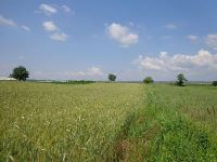 , Strejeşti, Strejeşti de jos<br /><a href='https://ran.cimec.ro/RANatasamente/i2/030228B077084AB190B38C1E9B7AFD17.jpg' target=_blank>Priveşte aceeaşi imagine într-o fereastră nouă</a>. Autor: Aurelia Grosu. Titlu: Descoperiri ceramice in situ. Sursa: Laurențiu Comănescu, Fișă de sit, 2017, Strejeşti, Strejeşti de jos<br /><a href='https://ran.cimec.ro/RANatasamente/i2/450B0C584AA1420390C41D0152EB8F7B.jpg' target=_blank>Priveşte aceeaşi imagine într-o fereastră nouă</a>. Autor: Aurelia Grosu. Titlu: Fibulă descoperită în perimetrul sitului. Sursa: Laurențiu Comănescu, Fișă de sit, 2017, Strejeşti, Strejeşti de jos<br /><a href='https://ran.cimec.ro/RANatasamente/i2/28F578E34AC946A7BC29D46D014AB8BE.jpg' target=_blank>Priveşte aceeaşi imagine într-o fereastră nouă</a>. Autor: Aurelia Grosu. Titlu: Fibulă descoperită în perimetrul sitului. Sursa: Laurențiu Comănescu, Fișă de sit, 2017, Strejeşti, Strejeşti de jos<br /><a href='https://ran.cimec.ro/RANatasamente/i2/A3FD23EE2CC74589926DF9D483569724.jpg' target=_blank>Priveşte aceeaşi imagine într-o fereastră nouă</a>. Autor: Aurelia Grosu. Titlu: Fotografie de teren. Sursa: Laurențiu Comănescu, Fișă de sit, 2017