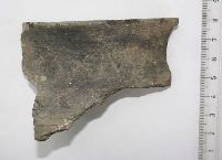 Cronica Cercetărilor Arheologice din România, Campania 2011. Raportul nr. 114, Drobeta-Turnu Severin, Parcul General Dragalina (Zeren; Zeuriuenses; Zwun)<br /><a href='CronicaCAfotografii/2011/114/plansa-xx.jpg' target=_blank>Priveşte aceeaşi imagine într-o fereastră nouă</a>, Drobeta-Turnu Severin, Parcul General Dragalina (Zeren; Zeuriuenses; Zwun)<br /><a href='https://ran.cimec.ro/RANatasamente/i1/8DA88FCA588D41F89C7339A7E926C845.jpg' target=_blank>Priveşte aceeaşi imagine într-o fereastră nouă</a>. Titlu: 1. Inel din argint cu inscripție, secolele XIV-XV. 2. Cămașă de zale din fier, secolul al XV-lea. 3 - Fotografie din timpul descoperirii tezaurului monetar compus din 159 de monede de argint, din 2011.. Sursa: Marian Iulian Neagoe, Cetatea medievală a Severinului, centru de putere la Porțile de Fier, MJM, Craiova, 2021, pp. 28-29, 165, planșa XXX/1, 2, 3, p. 194, Drobeta-Turnu Severin, Parcul General Dragalina (Zeren; Zeuriuenses; Zwun)<br /><a href='https://ran.cimec.ro/RANatasamente/i1/6E16DBA227134F4F868AB263468C32E3.jpg' target=_blank>Priveşte aceeaşi imagine într-o fereastră nouă</a>. Titlu: Fotografie a suprafeței Sp. V/2011, cercetate în spațiul intermediar de vest dintre incinte. 2. Desen al profilului de sud al suprafeței Sp. V/2011. Sursa: Marian Iulian Neagoe, Cetatea medievală a Severinului, centru de putere la Porțile de Fier, MJM, Craiova, 2021, pp. 28-29, 165, planșa VII/1, 2, p. 171, Drobeta-Turnu Severin, Parcul General Dragalina (Zeren; Zeuriuenses; Zwun)<br /><a href='https://ran.cimec.ro/RANatasamente/i1/DE66F1E8B8B8441A866EC68574A8DEA0.jpg' target=_blank>Priveşte aceeaşi imagine într-o fereastră nouă</a>. Titlu: Fotografie a suprafeței Sp. VII/2011, cercetate în spațiul de vest dintre incinte. 2 - Fotografie cu profilul de nord suprafeței Sp. VII/2011. Sursa: Marian Iulian Neagoe, Cetatea medievală a Severinului, centru de putere la Porțile de Fier, MJM, Craiova, 2021, pp. 28-29, 165, planșa VIII/1,2, p. 172, Drobeta-Turnu Severin, Parcul General Dragalina (Zeren; Zeuriuenses; Zwun)<br /><a href='https://ran.cimec.ro/RANatasamente/i1/44DDB4003B7F49A1A7C77B261CF48551.jpg' target=_blank>Priveşte aceeaşi imagine într-o fereastră nouă</a>. Titlu: Fotografie cu turnul de poartă de pe latura nordică a primei incinte (Sp. IX/2011). 2 - Desenul profilului de nord al suprafeței Sp. IX/2011. Sursa: Marian Iulian Neagoe, Cetatea medievală a Severinului, centru de putere la Porțile de Fier, MJM, Craiova, 2021, pp. 28-29, 165, planșa IX/1,2, p. 173, Drobeta-Turnu Severin, Parcul General Dragalina (Zeren; Zeuriuenses; Zwun)<br /><a href='https://ran.cimec.ro/RANatasamente/i1/99F321ECC4B449719BEFF5BFEFA7B369.jpg' target=_blank>Priveşte aceeaşi imagine într-o fereastră nouă</a>. Titlu: Planul Cetății Severinului - ultimele cercetări arheologice. Sursa: Marian Iulian Neagoe, Cetatea medievală a Severinului, centru de putere la Porțile de Fier, MJM, Craiova, 2021, pp. 28-29, 165, planșa IV, p. 170, Drobeta-Turnu Severin, Parcul General Dragalina (Zeren; Zeuriuenses; Zwun)<br /><a href='https://ran.cimec.ro/RANatasamente/i1/9B59A34E955A45ABB2ED8C1111841DB6.jpg' target=_blank>Priveşte aceeaşi imagine într-o fereastră nouă</a>. Titlu: Planul turnului intermediar de est al incintei interioare, cu ruinele bisericilor I-II și amplasarea mormintelor descoperite în 1939-1940, 2011 și 2013. Sursa: Marian Iulian Neagoe, Cetatea medievală a Severinului, centru de putere la Porțile de Fier, MJM, Craiova, 2021, pp. 28-29, 165, planșa X, p. 174, Drobeta-Turnu Severin, Parcul General Dragalina (Zeren; Zeuriuenses; Zwun)<br /><a href='https://ran.cimec.ro/RANatasamente/i1/CF058F8C276D4A1F9EA598077034D0E2.jpg' target=_blank>Priveşte aceeaşi imagine într-o fereastră nouă</a>. Titlu: Ruinele Cetății Severinului. Sursa: Marian Iulian Neagoe, Cetatea medievală a Severinului, centru de putere la Porțile de Fier, MJM, Craiova, 2021, pp. 28-29, 165, planșa IV/2, p. 168, Drobeta-Turnu Severin, Parcul General Dragalina (Zeren; Zeuriuenses; Zwun)<br /><a href='https://ran.cimec.ro/RANatasamente/i2/98DE2E8C636A45F798707E1A5417D422.jpg' target=_blank>Priveşte aceeaşi imagine într-o fereastră nouă</a>. Autor: Crăciunescu Gabriel etl all. Titlu: Artefacte descoperite în timpul cercetărilor din 2011. Sursa: Gabriel Crăciunescu, Marin Iulian Neagoe, Oana Minodora Neagoe, Raport de cercetare arheologică, situl „Cetatea Severinului, Muzeul Regiunii Porților de Fier, Drobeta Turnu Severin, 28.07.2011, Drobeta-Turnu Severin, Parcul General Dragalina (Zeren; Zeuriuenses; Zwun)<br /><a href='https://ran.cimec.ro/RANatasamente/i2/3104BC85CA1C4739867BE6D67F62F06D.jpg' target=_blank>Priveşte aceeaşi imagine într-o fereastră nouă</a>. Autor: Crăciunescu Gabriel etl all. Titlu: Artefacte din bronz descoperite în 2011. Sursa: Gabriel Crăciunescu, Marin Iulian Neagoe, Oana Minodora Neagoe, Raport de cercetare arheologică, situl „Cetatea Severinului, Muzeul Regiunii Porților de Fier, Drobeta Turnu Severin, 28.07.2011, Drobeta-Turnu Severin, Parcul General Dragalina (Zeren; Zeuriuenses; Zwun)<br /><a href='https://ran.cimec.ro/RANatasamente/i2/5A207B29CA8A4224A9843FF32D442143.jpg' target=_blank>Priveşte aceeaşi imagine într-o fereastră nouă</a>. Autor: Crăciunescu Gabriel etl all. Titlu: Artefacte din fier. Sursa: Gabriel Crăciunescu, Marin Iulian Neagoe, Oana Minodora Neagoe, Raport de cercetare arheologică, situl „Cetatea Severinului, Muzeul Regiunii Porților de Fier, Drobeta Turnu Severin, 28.07.2011, Drobeta-Turnu Severin, Parcul General Dragalina (Zeren; Zeuriuenses; Zwun)<br /><a href='https://ran.cimec.ro/RANatasamente/i2/4028B464A91C41AEAD07D0FB4ACB176E.jpg' target=_blank>Priveşte aceeaşi imagine într-o fereastră nouă</a>. Autor: Crăciunescu Gabriel etl all. Titlu: Artefacte din fier. Sursa: Gabriel Crăciunescu, Marin Iulian Neagoe, Oana Minodora Neagoe, Raport de cercetare arheologică, situl „Cetatea Severinului, Muzeul Regiunii Porților de Fier, Drobeta Turnu Severin, 28.07.2011, Drobeta-Turnu Severin, Parcul General Dragalina (Zeren; Zeuriuenses; Zwun)<br /><a href='https://ran.cimec.ro/RANatasamente/i2/52C73A3BE46C4D198996D78E798F5C80.jpg' target=_blank>Priveşte aceeaşi imagine într-o fereastră nouă</a>. Autor: Crăciunescu Gabriel etl all. Titlu: Artefacte din fier descoperite în 2011. Sursa: Gabriel Crăciunescu, Marin Iulian Neagoe, Oana Minodora Neagoe, Raport de cercetare arheologică, situl „Cetatea Severinului, Muzeul Regiunii Porților de Fier, Drobeta Turnu Severin, 28.07.2011, Drobeta-Turnu Severin, Parcul General Dragalina (Zeren; Zeuriuenses; Zwun)<br /><a href='https://ran.cimec.ro/RANatasamente/i2/80A2E4DD53D24680AFF56EB33448ED91.jpg' target=_blank>Priveşte aceeaşi imagine într-o fereastră nouă</a>. Autor: Crăciunescu Gabriel etl all. Titlu: Artefacte din fier descoperite în 2011. Sursa: Gabriel Crăciunescu, Marin Iulian Neagoe, Oana Minodora Neagoe, Raport de cercetare arheologică, situl „Cetatea Severinului, Muzeul Regiunii Porților de Fier, Drobeta Turnu Severin, 28.07.2011, Drobeta-Turnu Severin, Parcul General Dragalina (Zeren; Zeuriuenses; Zwun)<br /><a href='https://ran.cimec.ro/RANatasamente/i2/2CDA62FB5C474C8AAC5BFD0CCC64AEF3.jpg' target=_blank>Priveşte aceeaşi imagine într-o fereastră nouă</a>. Autor: Crăciunescu Gabriel etl all. Titlu: Artefacte din fier descoperite în 2011. Sursa: Gabriel Crăciunescu, Marin Iulian Neagoe, Oana Minodora Neagoe, Raport de cercetare arheologică, situl „Cetatea Severinului, Muzeul Regiunii Porților de Fier, Drobeta Turnu Severin, 28.07.2011, Drobeta-Turnu Severin, Parcul General Dragalina (Zeren; Zeuriuenses; Zwun)<br /><a href='https://ran.cimec.ro/RANatasamente/i2/E1F8A93AF6E34BD585D4D1B8C9E66654.jpg' target=_blank>Priveşte aceeaşi imagine într-o fereastră nouă</a>. Autor: Crăciunescu Gabriel etl all. Titlu: Artefacte din os. Sursa: Gabriel Crăciunescu, Marin Iulian Neagoe, Oana Minodora Neagoe, Raport de cercetare arheologică, situl „Cetatea Severinului, Muzeul Regiunii Porților de Fier, Drobeta Turnu Severin, 28.07.2011, Drobeta-Turnu Severin, Parcul General Dragalina (Zeren; Zeuriuenses; Zwun)<br /><a href='https://ran.cimec.ro/RANatasamente/i2/6CA8419AE73D48E3885162BEB24776A1.jpg' target=_blank>Priveşte aceeaşi imagine într-o fereastră nouă</a>. Autor: Crăciunescu Gabriel etl all. Titlu: Ceramică medievală. Sursa: Gabriel Crăciunescu, Marin Iulian Neagoe, Oana Minodora Neagoe, Raport de cercetare arheologică, situl „Cetatea Severinului, Muzeul Regiunii Porților de Fier, Drobeta Turnu Severin, 28.07.2011, Drobeta-Turnu Severin, Parcul General Dragalina (Zeren; Zeuriuenses; Zwun)<br /><a href='https://ran.cimec.ro/RANatasamente/i2/647DEE49018E4ABF9DE1181F69B58F62.jpg' target=_blank>Priveşte aceeaşi imagine într-o fereastră nouă</a>. Autor: Crăciunescu Gabriel etl all. Titlu: Ceramică medievală. Sursa: Gabriel Crăciunescu, Marin Iulian Neagoe, Oana Minodora Neagoe, Raport de cercetare arheologică, situl „Cetatea Severinului, Muzeul Regiunii Porților de Fier, Drobeta Turnu Severin, 28.07.2011, Drobeta-Turnu Severin, Parcul General Dragalina (Zeren; Zeuriuenses; Zwun)<br /><a href='https://ran.cimec.ro/RANatasamente/i2/B8FEBC213EB94F348E734B41A0FFFEC6.jpg' target=_blank>Priveşte aceeaşi imagine într-o fereastră nouă</a>. Autor: Crăciunescu Gabriel etl all. Titlu: Ceramică medievală. Sursa: Gabriel Crăciunescu, Marin Iulian Neagoe, Oana Minodora Neagoe, Raport de cercetare arheologică, situl „Cetatea Severinului, Muzeul Regiunii Porților de Fier, Drobeta Turnu Severin, 28.07.2011, Drobeta-Turnu Severin, Parcul General Dragalina (Zeren; Zeuriuenses; Zwun)<br /><a href='https://ran.cimec.ro/RANatasamente/i2/0679FBA7D1A34E518E4C0A3417695CAC.jpg' target=_blank>Priveşte aceeaşi imagine într-o fereastră nouă</a>. Autor: Crăciunescu Gabriel etl all. Titlu: Ceramică medievală descoperită în 2011. Sursa: Gabriel Crăciunescu, Marin Iulian Neagoe, Oana Minodora Neagoe, Raport de cercetare arheologică, situl „Cetatea Severinului, Muzeul Regiunii Porților de Fier, Drobeta Turnu Severin, 28.07.2011, Drobeta-Turnu Severin, Parcul General Dragalina (Zeren; Zeuriuenses; Zwun)<br /><a href='https://ran.cimec.ro/RANatasamente/i2/A6A9CF68A2EC4EE684D7B4881E10434A.jpg' target=_blank>Priveşte aceeaşi imagine într-o fereastră nouă</a>. Autor: Crăciunescu Gabriel etl all. Titlu: Ceramică medievală descoperită în 2011. Sursa: Gabriel Crăciunescu, Marin Iulian Neagoe, Oana Minodora Neagoe, Raport de cercetare arheologică, situl „Cetatea Severinului, Muzeul Regiunii Porților de Fier, Drobeta Turnu Severin, 28.07.2011