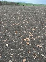 , Turda, Valea Sărată (Sospatak)<br /><a href='https://ran.cimec.ro/RANatasamente/i2/F2E5FE943E6441A18BCEAC83D8E71726.jpg' target=_blank>Priveşte aceeaşi imagine într-o fereastră nouă</a>. Autor: Chiorean Paul Florin. Titlu: Situl arheologic de la Turda - Valea Sărată. Sursa: Fișă de sit, Chiorean Paul Florin 2025, Turda, Valea Sărată (Sospatak)<br /><a href='https://ran.cimec.ro/RANatasamente/i2/BB7F987A822A4260B09ED874F7C85695.jpg' target=_blank>Priveşte aceeaşi imagine într-o fereastră nouă</a>. Autor: Chiorean Paul Florin. Titlu: Situl arheologic de la Turda - Valea Sărată. Sursa: Fișă de sit, Chiorean Paul Florin 2025