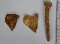 Cronica Cercetărilor Arheologice din România, Campania 2011. Raportul nr. 114, Drobeta-Turnu Severin, Parcul General Dragalina (Zeren; Zeuriuenses; Zwun)<br /><a href='CronicaCAfotografii/2011/114/plansa-xx.jpg' target=_blank>Priveşte aceeaşi imagine într-o fereastră nouă</a>, Drobeta-Turnu Severin, Parcul General Dragalina (Zeren; Zeuriuenses; Zwun)<br /><a href='https://ran.cimec.ro/RANatasamente/i1/8DA88FCA588D41F89C7339A7E926C845.jpg' target=_blank>Priveşte aceeaşi imagine într-o fereastră nouă</a>. Titlu: 1. Inel din argint cu inscripție, secolele XIV-XV. 2. Cămașă de zale din fier, secolul al XV-lea. 3 - Fotografie din timpul descoperirii tezaurului monetar compus din 159 de monede de argint, din 2011.. Sursa: Marian Iulian Neagoe, Cetatea medievală a Severinului, centru de putere la Porțile de Fier, MJM, Craiova, 2021, pp. 28-29, 165, planșa XXX/1, 2, 3, p. 194, Drobeta-Turnu Severin, Parcul General Dragalina (Zeren; Zeuriuenses; Zwun)<br /><a href='https://ran.cimec.ro/RANatasamente/i1/6E16DBA227134F4F868AB263468C32E3.jpg' target=_blank>Priveşte aceeaşi imagine într-o fereastră nouă</a>. Titlu: Fotografie a suprafeței Sp. V/2011, cercetate în spațiul intermediar de vest dintre incinte. 2. Desen al profilului de sud al suprafeței Sp. V/2011. Sursa: Marian Iulian Neagoe, Cetatea medievală a Severinului, centru de putere la Porțile de Fier, MJM, Craiova, 2021, pp. 28-29, 165, planșa VII/1, 2, p. 171, Drobeta-Turnu Severin, Parcul General Dragalina (Zeren; Zeuriuenses; Zwun)<br /><a href='https://ran.cimec.ro/RANatasamente/i1/DE66F1E8B8B8441A866EC68574A8DEA0.jpg' target=_blank>Priveşte aceeaşi imagine într-o fereastră nouă</a>. Titlu: Fotografie a suprafeței Sp. VII/2011, cercetate în spațiul de vest dintre incinte. 2 - Fotografie cu profilul de nord suprafeței Sp. VII/2011. Sursa: Marian Iulian Neagoe, Cetatea medievală a Severinului, centru de putere la Porțile de Fier, MJM, Craiova, 2021, pp. 28-29, 165, planșa VIII/1,2, p. 172, Drobeta-Turnu Severin, Parcul General Dragalina (Zeren; Zeuriuenses; Zwun)<br /><a href='https://ran.cimec.ro/RANatasamente/i1/44DDB4003B7F49A1A7C77B261CF48551.jpg' target=_blank>Priveşte aceeaşi imagine într-o fereastră nouă</a>. Titlu: Fotografie cu turnul de poartă de pe latura nordică a primei incinte (Sp. IX/2011). 2 - Desenul profilului de nord al suprafeței Sp. IX/2011. Sursa: Marian Iulian Neagoe, Cetatea medievală a Severinului, centru de putere la Porțile de Fier, MJM, Craiova, 2021, pp. 28-29, 165, planșa IX/1,2, p. 173, Drobeta-Turnu Severin, Parcul General Dragalina (Zeren; Zeuriuenses; Zwun)<br /><a href='https://ran.cimec.ro/RANatasamente/i1/99F321ECC4B449719BEFF5BFEFA7B369.jpg' target=_blank>Priveşte aceeaşi imagine într-o fereastră nouă</a>. Titlu: Planul Cetății Severinului - ultimele cercetări arheologice. Sursa: Marian Iulian Neagoe, Cetatea medievală a Severinului, centru de putere la Porțile de Fier, MJM, Craiova, 2021, pp. 28-29, 165, planșa IV, p. 170, Drobeta-Turnu Severin, Parcul General Dragalina (Zeren; Zeuriuenses; Zwun)<br /><a href='https://ran.cimec.ro/RANatasamente/i1/9B59A34E955A45ABB2ED8C1111841DB6.jpg' target=_blank>Priveşte aceeaşi imagine într-o fereastră nouă</a>. Titlu: Planul turnului intermediar de est al incintei interioare, cu ruinele bisericilor I-II și amplasarea mormintelor descoperite în 1939-1940, 2011 și 2013. Sursa: Marian Iulian Neagoe, Cetatea medievală a Severinului, centru de putere la Porțile de Fier, MJM, Craiova, 2021, pp. 28-29, 165, planșa X, p. 174, Drobeta-Turnu Severin, Parcul General Dragalina (Zeren; Zeuriuenses; Zwun)<br /><a href='https://ran.cimec.ro/RANatasamente/i1/CF058F8C276D4A1F9EA598077034D0E2.jpg' target=_blank>Priveşte aceeaşi imagine într-o fereastră nouă</a>. Titlu: Ruinele Cetății Severinului. Sursa: Marian Iulian Neagoe, Cetatea medievală a Severinului, centru de putere la Porțile de Fier, MJM, Craiova, 2021, pp. 28-29, 165, planșa IV/2, p. 168, Drobeta-Turnu Severin, Parcul General Dragalina (Zeren; Zeuriuenses; Zwun)<br /><a href='https://ran.cimec.ro/RANatasamente/i2/98DE2E8C636A45F798707E1A5417D422.jpg' target=_blank>Priveşte aceeaşi imagine într-o fereastră nouă</a>. Autor: Crăciunescu Gabriel etl all. Titlu: Artefacte descoperite în timpul cercetărilor din 2011. Sursa: Gabriel Crăciunescu, Marin Iulian Neagoe, Oana Minodora Neagoe, Raport de cercetare arheologică, situl „Cetatea Severinului, Muzeul Regiunii Porților de Fier, Drobeta Turnu Severin, 28.07.2011