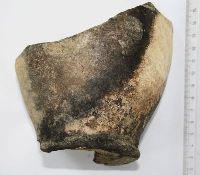 Cronica Cercetărilor Arheologice din România, Campania 2011. Raportul nr. 114, Drobeta-Turnu Severin, Parcul General Dragalina (Zeren; Zeuriuenses; Zwun)<br /><a href='CronicaCAfotografii/2011/114/plansa-xx.jpg' target=_blank>Priveşte aceeaşi imagine într-o fereastră nouă</a>, Drobeta-Turnu Severin, Parcul General Dragalina (Zeren; Zeuriuenses; Zwun)<br /><a href='https://ran.cimec.ro/RANatasamente/i1/8DA88FCA588D41F89C7339A7E926C845.jpg' target=_blank>Priveşte aceeaşi imagine într-o fereastră nouă</a>. Titlu: 1. Inel din argint cu inscripție, secolele XIV-XV. 2. Cămașă de zale din fier, secolul al XV-lea. 3 - Fotografie din timpul descoperirii tezaurului monetar compus din 159 de monede de argint, din 2011.. Sursa: Marian Iulian Neagoe, Cetatea medievală a Severinului, centru de putere la Porțile de Fier, MJM, Craiova, 2021, pp. 28-29, 165, planșa XXX/1, 2, 3, p. 194, Drobeta-Turnu Severin, Parcul General Dragalina (Zeren; Zeuriuenses; Zwun)<br /><a href='https://ran.cimec.ro/RANatasamente/i1/6E16DBA227134F4F868AB263468C32E3.jpg' target=_blank>Priveşte aceeaşi imagine într-o fereastră nouă</a>. Titlu: Fotografie a suprafeței Sp. V/2011, cercetate în spațiul intermediar de vest dintre incinte. 2. Desen al profilului de sud al suprafeței Sp. V/2011. Sursa: Marian Iulian Neagoe, Cetatea medievală a Severinului, centru de putere la Porțile de Fier, MJM, Craiova, 2021, pp. 28-29, 165, planșa VII/1, 2, p. 171, Drobeta-Turnu Severin, Parcul General Dragalina (Zeren; Zeuriuenses; Zwun)<br /><a href='https://ran.cimec.ro/RANatasamente/i1/DE66F1E8B8B8441A866EC68574A8DEA0.jpg' target=_blank>Priveşte aceeaşi imagine într-o fereastră nouă</a>. Titlu: Fotografie a suprafeței Sp. VII/2011, cercetate în spațiul de vest dintre incinte. 2 - Fotografie cu profilul de nord suprafeței Sp. VII/2011. Sursa: Marian Iulian Neagoe, Cetatea medievală a Severinului, centru de putere la Porțile de Fier, MJM, Craiova, 2021, pp. 28-29, 165, planșa VIII/1,2, p. 172, Drobeta-Turnu Severin, Parcul General Dragalina (Zeren; Zeuriuenses; Zwun)<br /><a href='https://ran.cimec.ro/RANatasamente/i1/44DDB4003B7F49A1A7C77B261CF48551.jpg' target=_blank>Priveşte aceeaşi imagine într-o fereastră nouă</a>. Titlu: Fotografie cu turnul de poartă de pe latura nordică a primei incinte (Sp. IX/2011). 2 - Desenul profilului de nord al suprafeței Sp. IX/2011. Sursa: Marian Iulian Neagoe, Cetatea medievală a Severinului, centru de putere la Porțile de Fier, MJM, Craiova, 2021, pp. 28-29, 165, planșa IX/1,2, p. 173, Drobeta-Turnu Severin, Parcul General Dragalina (Zeren; Zeuriuenses; Zwun)<br /><a href='https://ran.cimec.ro/RANatasamente/i1/99F321ECC4B449719BEFF5BFEFA7B369.jpg' target=_blank>Priveşte aceeaşi imagine într-o fereastră nouă</a>. Titlu: Planul Cetății Severinului - ultimele cercetări arheologice. Sursa: Marian Iulian Neagoe, Cetatea medievală a Severinului, centru de putere la Porțile de Fier, MJM, Craiova, 2021, pp. 28-29, 165, planșa IV, p. 170, Drobeta-Turnu Severin, Parcul General Dragalina (Zeren; Zeuriuenses; Zwun)<br /><a href='https://ran.cimec.ro/RANatasamente/i1/9B59A34E955A45ABB2ED8C1111841DB6.jpg' target=_blank>Priveşte aceeaşi imagine într-o fereastră nouă</a>. Titlu: Planul turnului intermediar de est al incintei interioare, cu ruinele bisericilor I-II și amplasarea mormintelor descoperite în 1939-1940, 2011 și 2013. Sursa: Marian Iulian Neagoe, Cetatea medievală a Severinului, centru de putere la Porțile de Fier, MJM, Craiova, 2021, pp. 28-29, 165, planșa X, p. 174, Drobeta-Turnu Severin, Parcul General Dragalina (Zeren; Zeuriuenses; Zwun)<br /><a href='https://ran.cimec.ro/RANatasamente/i1/CF058F8C276D4A1F9EA598077034D0E2.jpg' target=_blank>Priveşte aceeaşi imagine într-o fereastră nouă</a>. Titlu: Ruinele Cetății Severinului. Sursa: Marian Iulian Neagoe, Cetatea medievală a Severinului, centru de putere la Porțile de Fier, MJM, Craiova, 2021, pp. 28-29, 165, planșa IV/2, p. 168, Drobeta-Turnu Severin, Parcul General Dragalina (Zeren; Zeuriuenses; Zwun)<br /><a href='https://ran.cimec.ro/RANatasamente/i2/98DE2E8C636A45F798707E1A5417D422.jpg' target=_blank>Priveşte aceeaşi imagine într-o fereastră nouă</a>. Autor: Crăciunescu Gabriel etl all. Titlu: Artefacte descoperite în timpul cercetărilor din 2011. Sursa: Gabriel Crăciunescu, Marin Iulian Neagoe, Oana Minodora Neagoe, Raport de cercetare arheologică, situl „Cetatea Severinului, Muzeul Regiunii Porților de Fier, Drobeta Turnu Severin, 28.07.2011, Drobeta-Turnu Severin, Parcul General Dragalina (Zeren; Zeuriuenses; Zwun)<br /><a href='https://ran.cimec.ro/RANatasamente/i2/3104BC85CA1C4739867BE6D67F62F06D.jpg' target=_blank>Priveşte aceeaşi imagine într-o fereastră nouă</a>. Autor: Crăciunescu Gabriel etl all. Titlu: Artefacte din bronz descoperite în 2011. Sursa: Gabriel Crăciunescu, Marin Iulian Neagoe, Oana Minodora Neagoe, Raport de cercetare arheologică, situl „Cetatea Severinului, Muzeul Regiunii Porților de Fier, Drobeta Turnu Severin, 28.07.2011, Drobeta-Turnu Severin, Parcul General Dragalina (Zeren; Zeuriuenses; Zwun)<br /><a href='https://ran.cimec.ro/RANatasamente/i2/5A207B29CA8A4224A9843FF32D442143.jpg' target=_blank>Priveşte aceeaşi imagine într-o fereastră nouă</a>. Autor: Crăciunescu Gabriel etl all. Titlu: Artefacte din fier. Sursa: Gabriel Crăciunescu, Marin Iulian Neagoe, Oana Minodora Neagoe, Raport de cercetare arheologică, situl „Cetatea Severinului, Muzeul Regiunii Porților de Fier, Drobeta Turnu Severin, 28.07.2011, Drobeta-Turnu Severin, Parcul General Dragalina (Zeren; Zeuriuenses; Zwun)<br /><a href='https://ran.cimec.ro/RANatasamente/i2/4028B464A91C41AEAD07D0FB4ACB176E.jpg' target=_blank>Priveşte aceeaşi imagine într-o fereastră nouă</a>. Autor: Crăciunescu Gabriel etl all. Titlu: Artefacte din fier. Sursa: Gabriel Crăciunescu, Marin Iulian Neagoe, Oana Minodora Neagoe, Raport de cercetare arheologică, situl „Cetatea Severinului, Muzeul Regiunii Porților de Fier, Drobeta Turnu Severin, 28.07.2011, Drobeta-Turnu Severin, Parcul General Dragalina (Zeren; Zeuriuenses; Zwun)<br /><a href='https://ran.cimec.ro/RANatasamente/i2/52C73A3BE46C4D198996D78E798F5C80.jpg' target=_blank>Priveşte aceeaşi imagine într-o fereastră nouă</a>. Autor: Crăciunescu Gabriel etl all. Titlu: Artefacte din fier descoperite în 2011. Sursa: Gabriel Crăciunescu, Marin Iulian Neagoe, Oana Minodora Neagoe, Raport de cercetare arheologică, situl „Cetatea Severinului, Muzeul Regiunii Porților de Fier, Drobeta Turnu Severin, 28.07.2011, Drobeta-Turnu Severin, Parcul General Dragalina (Zeren; Zeuriuenses; Zwun)<br /><a href='https://ran.cimec.ro/RANatasamente/i2/80A2E4DD53D24680AFF56EB33448ED91.jpg' target=_blank>Priveşte aceeaşi imagine într-o fereastră nouă</a>. Autor: Crăciunescu Gabriel etl all. Titlu: Artefacte din fier descoperite în 2011. Sursa: Gabriel Crăciunescu, Marin Iulian Neagoe, Oana Minodora Neagoe, Raport de cercetare arheologică, situl „Cetatea Severinului, Muzeul Regiunii Porților de Fier, Drobeta Turnu Severin, 28.07.2011, Drobeta-Turnu Severin, Parcul General Dragalina (Zeren; Zeuriuenses; Zwun)<br /><a href='https://ran.cimec.ro/RANatasamente/i2/2CDA62FB5C474C8AAC5BFD0CCC64AEF3.jpg' target=_blank>Priveşte aceeaşi imagine într-o fereastră nouă</a>. Autor: Crăciunescu Gabriel etl all. Titlu: Artefacte din fier descoperite în 2011. Sursa: Gabriel Crăciunescu, Marin Iulian Neagoe, Oana Minodora Neagoe, Raport de cercetare arheologică, situl „Cetatea Severinului, Muzeul Regiunii Porților de Fier, Drobeta Turnu Severin, 28.07.2011, Drobeta-Turnu Severin, Parcul General Dragalina (Zeren; Zeuriuenses; Zwun)<br /><a href='https://ran.cimec.ro/RANatasamente/i2/E1F8A93AF6E34BD585D4D1B8C9E66654.jpg' target=_blank>Priveşte aceeaşi imagine într-o fereastră nouă</a>. Autor: Crăciunescu Gabriel etl all. Titlu: Artefacte din os. Sursa: Gabriel Crăciunescu, Marin Iulian Neagoe, Oana Minodora Neagoe, Raport de cercetare arheologică, situl „Cetatea Severinului, Muzeul Regiunii Porților de Fier, Drobeta Turnu Severin, 28.07.2011, Drobeta-Turnu Severin, Parcul General Dragalina (Zeren; Zeuriuenses; Zwun)<br /><a href='https://ran.cimec.ro/RANatasamente/i2/6CA8419AE73D48E3885162BEB24776A1.jpg' target=_blank>Priveşte aceeaşi imagine într-o fereastră nouă</a>. Autor: Crăciunescu Gabriel etl all. Titlu: Ceramică medievală. Sursa: Gabriel Crăciunescu, Marin Iulian Neagoe, Oana Minodora Neagoe, Raport de cercetare arheologică, situl „Cetatea Severinului, Muzeul Regiunii Porților de Fier, Drobeta Turnu Severin, 28.07.2011