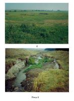 Cronica Cercetărilor Arheologice din România, Campania 2004. Raportul nr. 185, Rogova, La Cazărmi<br /><a href='CronicaCAfotografii/2004/185/rsz-0.jpg' target=_blank>Priveşte aceeaşi imagine într-o fereastră nouă</a>, Rogova, La Cazărmi<br /><a href='https://ran.cimec.ro/RANatasamente/i2/93D8B6E6892F40218A719EDE2DC9A1BB.jpg' target=_blank>Priveşte aceeaşi imagine într-o fereastră nouă</a>, Rogova, La Cazărmi<br /><a href='https://ran.cimec.ro/RANatasamente/i2/31488DECA2494506B5F972A512088EE3.jpg' target=_blank>Priveşte aceeaşi imagine într-o fereastră nouă</a>