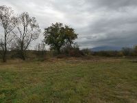 , Petroşniţa, Pădurea<br /><a href='https://ran.cimec.ro/RANatasamente/i2/9E855F923FC648DB9324E12E17143BBC.jpg' target=_blank>Priveşte aceeaşi imagine într-o fereastră nouă</a>. Autor: Leonti, Iulian. Titlu: Imagine de teren. Sursa: Iulian Leonti, Cartarea movilelor de pământ din Depresiunea Caransebeş: cazul unor movile din comuna Bucoșnița (jud. Caraș-severin), Tibiscum 2020-2022