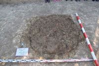 Cronica Cercetărilor Arheologice din România, Campania 2021. Raportul nr. 24, Fulgeriş, La Trei Cireşi (Dealul Fulgeriş)<br /><a href='https://ran.cimec.ro/RANatasamente/i2/03F2EEC9CBC7401288E41761A138F7FC.jpg' target=_blank>Priveşte aceeaşi imagine într-o fereastră nouă</a>. Titlu: Fulgeriș, La trei cireși – Foto groapa Gr. 60, în timpul cercetării