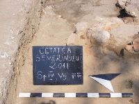 Cronica Cercetărilor Arheologice din România, Campania 2011. Raportul nr. 114, Drobeta-Turnu Severin, Parcul General Dragalina (Zeren; Zeuriuenses; Zwun)<br /><a href='CronicaCAfotografii/2011/114/plansa-xx.jpg' target=_blank>Priveşte aceeaşi imagine într-o fereastră nouă</a>, Drobeta-Turnu Severin, Parcul General Dragalina (Zeren; Zeuriuenses; Zwun)<br /><a href='https://ran.cimec.ro/RANatasamente/i1/8DA88FCA588D41F89C7339A7E926C845.jpg' target=_blank>Priveşte aceeaşi imagine într-o fereastră nouă</a>. Titlu: 1. Inel din argint cu inscripție, secolele XIV-XV. 2. Cămașă de zale din fier, secolul al XV-lea. 3 - Fotografie din timpul descoperirii tezaurului monetar compus din 159 de monede de argint, din 2011.. Sursa: Marian Iulian Neagoe, Cetatea medievală a Severinului, centru de putere la Porțile de Fier, MJM, Craiova, 2021, pp. 28-29, 165, planșa XXX/1, 2, 3, p. 194, Drobeta-Turnu Severin, Parcul General Dragalina (Zeren; Zeuriuenses; Zwun)<br /><a href='https://ran.cimec.ro/RANatasamente/i1/6E16DBA227134F4F868AB263468C32E3.jpg' target=_blank>Priveşte aceeaşi imagine într-o fereastră nouă</a>. Titlu: Fotografie a suprafeței Sp. V/2011, cercetate în spațiul intermediar de vest dintre incinte. 2. Desen al profilului de sud al suprafeței Sp. V/2011. Sursa: Marian Iulian Neagoe, Cetatea medievală a Severinului, centru de putere la Porțile de Fier, MJM, Craiova, 2021, pp. 28-29, 165, planșa VII/1, 2, p. 171, Drobeta-Turnu Severin, Parcul General Dragalina (Zeren; Zeuriuenses; Zwun)<br /><a href='https://ran.cimec.ro/RANatasamente/i1/DE66F1E8B8B8441A866EC68574A8DEA0.jpg' target=_blank>Priveşte aceeaşi imagine într-o fereastră nouă</a>. Titlu: Fotografie a suprafeței Sp. VII/2011, cercetate în spațiul de vest dintre incinte. 2 - Fotografie cu profilul de nord suprafeței Sp. VII/2011. Sursa: Marian Iulian Neagoe, Cetatea medievală a Severinului, centru de putere la Porțile de Fier, MJM, Craiova, 2021, pp. 28-29, 165, planșa VIII/1,2, p. 172, Drobeta-Turnu Severin, Parcul General Dragalina (Zeren; Zeuriuenses; Zwun)<br /><a href='https://ran.cimec.ro/RANatasamente/i1/44DDB4003B7F49A1A7C77B261CF48551.jpg' target=_blank>Priveşte aceeaşi imagine într-o fereastră nouă</a>. Titlu: Fotografie cu turnul de poartă de pe latura nordică a primei incinte (Sp. IX/2011). 2 - Desenul profilului de nord al suprafeței Sp. IX/2011. Sursa: Marian Iulian Neagoe, Cetatea medievală a Severinului, centru de putere la Porțile de Fier, MJM, Craiova, 2021, pp. 28-29, 165, planșa IX/1,2, p. 173, Drobeta-Turnu Severin, Parcul General Dragalina (Zeren; Zeuriuenses; Zwun)<br /><a href='https://ran.cimec.ro/RANatasamente/i1/99F321ECC4B449719BEFF5BFEFA7B369.jpg' target=_blank>Priveşte aceeaşi imagine într-o fereastră nouă</a>. Titlu: Planul Cetății Severinului - ultimele cercetări arheologice. Sursa: Marian Iulian Neagoe, Cetatea medievală a Severinului, centru de putere la Porțile de Fier, MJM, Craiova, 2021, pp. 28-29, 165, planșa IV, p. 170, Drobeta-Turnu Severin, Parcul General Dragalina (Zeren; Zeuriuenses; Zwun)<br /><a href='https://ran.cimec.ro/RANatasamente/i1/9B59A34E955A45ABB2ED8C1111841DB6.jpg' target=_blank>Priveşte aceeaşi imagine într-o fereastră nouă</a>. Titlu: Planul turnului intermediar de est al incintei interioare, cu ruinele bisericilor I-II și amplasarea mormintelor descoperite în 1939-1940, 2011 și 2013. Sursa: Marian Iulian Neagoe, Cetatea medievală a Severinului, centru de putere la Porțile de Fier, MJM, Craiova, 2021, pp. 28-29, 165, planșa X, p. 174, Drobeta-Turnu Severin, Parcul General Dragalina (Zeren; Zeuriuenses; Zwun)<br /><a href='https://ran.cimec.ro/RANatasamente/i1/CF058F8C276D4A1F9EA598077034D0E2.jpg' target=_blank>Priveşte aceeaşi imagine într-o fereastră nouă</a>. Titlu: Ruinele Cetății Severinului. Sursa: Marian Iulian Neagoe, Cetatea medievală a Severinului, centru de putere la Porțile de Fier, MJM, Craiova, 2021, pp. 28-29, 165, planșa IV/2, p. 168, Drobeta-Turnu Severin, Parcul General Dragalina (Zeren; Zeuriuenses; Zwun)<br /><a href='https://ran.cimec.ro/RANatasamente/i2/98DE2E8C636A45F798707E1A5417D422.jpg' target=_blank>Priveşte aceeaşi imagine într-o fereastră nouă</a>. Autor: Crăciunescu Gabriel etl all. Titlu: Artefacte descoperite în timpul cercetărilor din 2011. Sursa: Gabriel Crăciunescu, Marin Iulian Neagoe, Oana Minodora Neagoe, Raport de cercetare arheologică, situl „Cetatea Severinului, Muzeul Regiunii Porților de Fier, Drobeta Turnu Severin, 28.07.2011, Drobeta-Turnu Severin, Parcul General Dragalina (Zeren; Zeuriuenses; Zwun)<br /><a href='https://ran.cimec.ro/RANatasamente/i2/3104BC85CA1C4739867BE6D67F62F06D.jpg' target=_blank>Priveşte aceeaşi imagine într-o fereastră nouă</a>. Autor: Crăciunescu Gabriel etl all. Titlu: Artefacte din bronz descoperite în 2011. Sursa: Gabriel Crăciunescu, Marin Iulian Neagoe, Oana Minodora Neagoe, Raport de cercetare arheologică, situl „Cetatea Severinului, Muzeul Regiunii Porților de Fier, Drobeta Turnu Severin, 28.07.2011, Drobeta-Turnu Severin, Parcul General Dragalina (Zeren; Zeuriuenses; Zwun)<br /><a href='https://ran.cimec.ro/RANatasamente/i2/5A207B29CA8A4224A9843FF32D442143.jpg' target=_blank>Priveşte aceeaşi imagine într-o fereastră nouă</a>. Autor: Crăciunescu Gabriel etl all. Titlu: Artefacte din fier. Sursa: Gabriel Crăciunescu, Marin Iulian Neagoe, Oana Minodora Neagoe, Raport de cercetare arheologică, situl „Cetatea Severinului, Muzeul Regiunii Porților de Fier, Drobeta Turnu Severin, 28.07.2011, Drobeta-Turnu Severin, Parcul General Dragalina (Zeren; Zeuriuenses; Zwun)<br /><a href='https://ran.cimec.ro/RANatasamente/i2/4028B464A91C41AEAD07D0FB4ACB176E.jpg' target=_blank>Priveşte aceeaşi imagine într-o fereastră nouă</a>. Autor: Crăciunescu Gabriel etl all. Titlu: Artefacte din fier. Sursa: Gabriel Crăciunescu, Marin Iulian Neagoe, Oana Minodora Neagoe, Raport de cercetare arheologică, situl „Cetatea Severinului, Muzeul Regiunii Porților de Fier, Drobeta Turnu Severin, 28.07.2011, Drobeta-Turnu Severin, Parcul General Dragalina (Zeren; Zeuriuenses; Zwun)<br /><a href='https://ran.cimec.ro/RANatasamente/i2/52C73A3BE46C4D198996D78E798F5C80.jpg' target=_blank>Priveşte aceeaşi imagine într-o fereastră nouă</a>. Autor: Crăciunescu Gabriel etl all. Titlu: Artefacte din fier descoperite în 2011. Sursa: Gabriel Crăciunescu, Marin Iulian Neagoe, Oana Minodora Neagoe, Raport de cercetare arheologică, situl „Cetatea Severinului, Muzeul Regiunii Porților de Fier, Drobeta Turnu Severin, 28.07.2011, Drobeta-Turnu Severin, Parcul General Dragalina (Zeren; Zeuriuenses; Zwun)<br /><a href='https://ran.cimec.ro/RANatasamente/i2/80A2E4DD53D24680AFF56EB33448ED91.jpg' target=_blank>Priveşte aceeaşi imagine într-o fereastră nouă</a>. Autor: Crăciunescu Gabriel etl all. Titlu: Artefacte din fier descoperite în 2011. Sursa: Gabriel Crăciunescu, Marin Iulian Neagoe, Oana Minodora Neagoe, Raport de cercetare arheologică, situl „Cetatea Severinului, Muzeul Regiunii Porților de Fier, Drobeta Turnu Severin, 28.07.2011, Drobeta-Turnu Severin, Parcul General Dragalina (Zeren; Zeuriuenses; Zwun)<br /><a href='https://ran.cimec.ro/RANatasamente/i2/2CDA62FB5C474C8AAC5BFD0CCC64AEF3.jpg' target=_blank>Priveşte aceeaşi imagine într-o fereastră nouă</a>. Autor: Crăciunescu Gabriel etl all. Titlu: Artefacte din fier descoperite în 2011. Sursa: Gabriel Crăciunescu, Marin Iulian Neagoe, Oana Minodora Neagoe, Raport de cercetare arheologică, situl „Cetatea Severinului, Muzeul Regiunii Porților de Fier, Drobeta Turnu Severin, 28.07.2011, Drobeta-Turnu Severin, Parcul General Dragalina (Zeren; Zeuriuenses; Zwun)<br /><a href='https://ran.cimec.ro/RANatasamente/i2/E1F8A93AF6E34BD585D4D1B8C9E66654.jpg' target=_blank>Priveşte aceeaşi imagine într-o fereastră nouă</a>. Autor: Crăciunescu Gabriel etl all. Titlu: Artefacte din os. Sursa: Gabriel Crăciunescu, Marin Iulian Neagoe, Oana Minodora Neagoe, Raport de cercetare arheologică, situl „Cetatea Severinului, Muzeul Regiunii Porților de Fier, Drobeta Turnu Severin, 28.07.2011, Drobeta-Turnu Severin, Parcul General Dragalina (Zeren; Zeuriuenses; Zwun)<br /><a href='https://ran.cimec.ro/RANatasamente/i2/6CA8419AE73D48E3885162BEB24776A1.jpg' target=_blank>Priveşte aceeaşi imagine într-o fereastră nouă</a>. Autor: Crăciunescu Gabriel etl all. Titlu: Ceramică medievală. Sursa: Gabriel Crăciunescu, Marin Iulian Neagoe, Oana Minodora Neagoe, Raport de cercetare arheologică, situl „Cetatea Severinului, Muzeul Regiunii Porților de Fier, Drobeta Turnu Severin, 28.07.2011, Drobeta-Turnu Severin, Parcul General Dragalina (Zeren; Zeuriuenses; Zwun)<br /><a href='https://ran.cimec.ro/RANatasamente/i2/647DEE49018E4ABF9DE1181F69B58F62.jpg' target=_blank>Priveşte aceeaşi imagine într-o fereastră nouă</a>. Autor: Crăciunescu Gabriel etl all. Titlu: Ceramică medievală. Sursa: Gabriel Crăciunescu, Marin Iulian Neagoe, Oana Minodora Neagoe, Raport de cercetare arheologică, situl „Cetatea Severinului, Muzeul Regiunii Porților de Fier, Drobeta Turnu Severin, 28.07.2011, Drobeta-Turnu Severin, Parcul General Dragalina (Zeren; Zeuriuenses; Zwun)<br /><a href='https://ran.cimec.ro/RANatasamente/i2/B8FEBC213EB94F348E734B41A0FFFEC6.jpg' target=_blank>Priveşte aceeaşi imagine într-o fereastră nouă</a>. Autor: Crăciunescu Gabriel etl all. Titlu: Ceramică medievală. Sursa: Gabriel Crăciunescu, Marin Iulian Neagoe, Oana Minodora Neagoe, Raport de cercetare arheologică, situl „Cetatea Severinului, Muzeul Regiunii Porților de Fier, Drobeta Turnu Severin, 28.07.2011, Drobeta-Turnu Severin, Parcul General Dragalina (Zeren; Zeuriuenses; Zwun)<br /><a href='https://ran.cimec.ro/RANatasamente/i2/0679FBA7D1A34E518E4C0A3417695CAC.jpg' target=_blank>Priveşte aceeaşi imagine într-o fereastră nouă</a>. Autor: Crăciunescu Gabriel etl all. Titlu: Ceramică medievală descoperită în 2011. Sursa: Gabriel Crăciunescu, Marin Iulian Neagoe, Oana Minodora Neagoe, Raport de cercetare arheologică, situl „Cetatea Severinului, Muzeul Regiunii Porților de Fier, Drobeta Turnu Severin, 28.07.2011, Drobeta-Turnu Severin, Parcul General Dragalina (Zeren; Zeuriuenses; Zwun)<br /><a href='https://ran.cimec.ro/RANatasamente/i2/A6A9CF68A2EC4EE684D7B4881E10434A.jpg' target=_blank>Priveşte aceeaşi imagine într-o fereastră nouă</a>. Autor: Crăciunescu Gabriel etl all. Titlu: Ceramică medievală descoperită în 2011. Sursa: Gabriel Crăciunescu, Marin Iulian Neagoe, Oana Minodora Neagoe, Raport de cercetare arheologică, situl „Cetatea Severinului, Muzeul Regiunii Porților de Fier, Drobeta Turnu Severin, 28.07.2011, Drobeta-Turnu Severin, Parcul General Dragalina (Zeren; Zeuriuenses; Zwun)<br /><a href='https://ran.cimec.ro/RANatasamente/i2/53DF13AE9CB04E25B8D7FC92ACF06644.jpg' target=_blank>Priveşte aceeaşi imagine într-o fereastră nouă</a>. Autor: Crăciunescu Gabriel etl all. Titlu: Ceramică medievală descoperită în 2011. Sursa: Gabriel Crăciunescu, Marin Iulian Neagoe, Oana Minodora Neagoe, Raport de cercetare arheologică, situl „Cetatea Severinului, Muzeul Regiunii Porților de Fier, Drobeta Turnu Severin, 28.07.2011, Drobeta-Turnu Severin, Parcul General Dragalina (Zeren; Zeuriuenses; Zwun)<br /><a href='https://ran.cimec.ro/RANatasamente/i2/124896545A6D4B63BBD0B20247D5F5C7.jpg' target=_blank>Priveşte aceeaşi imagine într-o fereastră nouă</a>. Autor: Crăciunescu Gabriel etl all. Titlu: Ceramică medievală descoperită în 2011. Sursa: Gabriel Crăciunescu, Marin Iulian Neagoe, Oana Minodora Neagoe, Raport de cercetare arheologică, situl „Cetatea Severinului, Muzeul Regiunii Porților de Fier, Drobeta Turnu Severin, 28.07.2011, Drobeta-Turnu Severin, Parcul General Dragalina (Zeren; Zeuriuenses; Zwun)<br /><a href='https://ran.cimec.ro/RANatasamente/i2/A42492F9C1054CF9ACA2A4D8E7F1D831.jpg' target=_blank>Priveşte aceeaşi imagine într-o fereastră nouă</a>. Autor: Crăciunescu Gabriel etl all. Titlu: Ceramică medievală descoperită în 2011. Sursa: Gabriel Crăciunescu, Marin Iulian Neagoe, Oana Minodora Neagoe, Raport de cercetare arheologică, situl „Cetatea Severinului, Muzeul Regiunii Porților de Fier, Drobeta Turnu Severin, 28.07.2011, Drobeta-Turnu Severin, Parcul General Dragalina (Zeren; Zeuriuenses; Zwun)<br /><a href='https://ran.cimec.ro/RANatasamente/i2/79BC6E3E2B8349EAAA5E1BC9A18F75CD.jpg' target=_blank>Priveşte aceeaşi imagine într-o fereastră nouă</a>. Autor: Crăciunescu Gabriel etl all. Titlu: Ceramică medievală descoperită în 2011. Sursa: Gabriel Crăciunescu, Marin Iulian Neagoe, Oana Minodora Neagoe, Raport de cercetare arheologică, situl „Cetatea Severinului, Muzeul Regiunii Porților de Fier, Drobeta Turnu Severin, 28.07.2011, Drobeta-Turnu Severin, Parcul General Dragalina (Zeren; Zeuriuenses; Zwun)<br /><a href='https://ran.cimec.ro/RANatasamente/i2/A76E2D779708437E9D019C82D59B6A6B.jpg' target=_blank>Priveşte aceeaşi imagine într-o fereastră nouă</a>. Autor: Crăciunescu Gabriel etl all. Titlu: Ceramică medievală descoperită în 2011. Sursa: Gabriel Crăciunescu, Marin Iulian Neagoe, Oana Minodora Neagoe, Raport de cercetare arheologică, situl „Cetatea Severinului, Muzeul Regiunii Porților de Fier, Drobeta Turnu Severin, 28.07.2011, Drobeta-Turnu Severin, Parcul General Dragalina (Zeren; Zeuriuenses; Zwun)<br /><a href='https://ran.cimec.ro/RANatasamente/i2/22218E80DD2D436EA5CF2B7646CC58BF.jpg' target=_blank>Priveşte aceeaşi imagine într-o fereastră nouă</a>. Autor: Crăciunescu Gabriel etl all. Titlu: Cercetare magnetometrică. Sursa: Gabriel Crăciunescu, Marin Iulian Neagoe, Oana Minodora Neagoe, Raport de cercetare arheologică, situl „Cetatea Severinului, Muzeul Regiunii Porților de Fier, Drobeta Turnu Severin, 28.07.2011, Drobeta-Turnu Severin, Parcul General Dragalina (Zeren; Zeuriuenses; Zwun)<br /><a href='https://ran.cimec.ro/RANatasamente/i2/CE6F320F7E064952ACFE218943E3319A.jpg' target=_blank>Priveşte aceeaşi imagine într-o fereastră nouă</a>. Autor: Crăciunescu Gabriel etl all. Titlu: Cercetare magnetometrică. Sursa: Gabriel Crăciunescu, Marin Iulian Neagoe, Oana Minodora Neagoe, Raport de cercetare arheologică, situl „Cetatea Severinului, Muzeul Regiunii Porților de Fier, Drobeta Turnu Severin, 28.07.2011, Drobeta-Turnu Severin, Parcul General Dragalina (Zeren; Zeuriuenses; Zwun)<br /><a href='https://ran.cimec.ro/RANatasamente/i2/34C6D66F48B74F0790782E0E448D0432.jpg' target=_blank>Priveşte aceeaşi imagine într-o fereastră nouă</a>. Autor: Crăciunescu Gabriel etl all. Titlu: Fântână. Sursa: Gabriel Crăciunescu, Marin Iulian Neagoe, Oana Minodora Neagoe, Raport de cercetare arheologică, situl „Cetatea Severinului, Muzeul Regiunii Porților de Fier, Drobeta Turnu Severin, 28.07.2011, Drobeta-Turnu Severin, Parcul General Dragalina (Zeren; Zeuriuenses; Zwun)<br /><a href='https://ran.cimec.ro/RANatasamente/i2/1CAF8105A87940089D4CB506D34DC861.jpg' target=_blank>Priveşte aceeaşi imagine într-o fereastră nouă</a>. Autor: Crăciunescu Gabriel etl all. Titlu: Fotografie de complex arheologic. Sursa: Gabriel Crăciunescu, Marin Iulian Neagoe, Oana Minodora Neagoe, Raport de cercetare arheologică, situl „Cetatea Severinului, Muzeul Regiunii Porților de Fier, Drobeta Turnu Severin, 28.07.2011, Drobeta-Turnu Severin, Parcul General Dragalina (Zeren; Zeuriuenses; Zwun)<br /><a href='https://ran.cimec.ro/RANatasamente/i2/9E23AC268FB94B519529D8EFB2B612D5.jpg' target=_blank>Priveşte aceeaşi imagine într-o fereastră nouă</a>. Autor: Crăciunescu Gabriel etl all. Titlu: Fotografie de complex arheologic. Sursa: Gabriel Crăciunescu, Marin Iulian Neagoe, Oana Minodora Neagoe, Raport de cercetare arheologică, situl „Cetatea Severinului, Muzeul Regiunii Porților de Fier, Drobeta Turnu Severin, 28.07.2011, Drobeta-Turnu Severin, Parcul General Dragalina (Zeren; Zeuriuenses; Zwun)<br /><a href='https://ran.cimec.ro/RANatasamente/i2/50AC00A5C2C943F3B867CAC862F2C7F6.jpg' target=_blank>Priveşte aceeaşi imagine într-o fereastră nouă</a>. Autor: Crăciunescu Gabriel etl all. Titlu: Fotografie de complex arheologic. Sursa: Gabriel Crăciunescu, Marin Iulian Neagoe, Oana Minodora Neagoe, Raport de cercetare arheologică, situl „Cetatea Severinului, Muzeul Regiunii Porților de Fier, Drobeta Turnu Severin, 28.07.2011, Drobeta-Turnu Severin, Parcul General Dragalina (Zeren; Zeuriuenses; Zwun)<br /><a href='https://ran.cimec.ro/RANatasamente/i2/297C51AB49274FC8AF8672CDA684E38E.jpg' target=_blank>Priveşte aceeaşi imagine într-o fereastră nouă</a>. Autor: Crăciunescu Gabriel etl all. Titlu: Fotografie de complex arheologic. Sursa: Gabriel Crăciunescu, Marin Iulian Neagoe, Oana Minodora Neagoe, Raport de cercetare arheologică, situl „Cetatea Severinului, Muzeul Regiunii Porților de Fier, Drobeta Turnu Severin, 28.07.2011