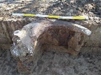 Cronica Cercetărilor Arheologice din România, Campania 2021. Raportul nr. 24, Fulgeriş, La Trei Cireşi (Dealul Fulgeriş)<br /><a href='https://ran.cimec.ro/RANatasamente/i2/A47550C235644E0D8C225CB8B84A8733.jpg' target=_blank>Priveşte aceeaşi imagine într-o fereastră nouă</a>. Titlu: Fulgeriș, La trei cireși – Foto groapa Gr. 60, în timpul cercetării