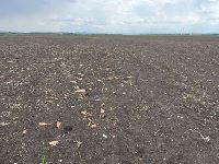 , Turda, Valea Sărată (Sospatak)<br /><a href='https://ran.cimec.ro/RANatasamente/i2/F2E5FE943E6441A18BCEAC83D8E71726.jpg' target=_blank>Priveşte aceeaşi imagine într-o fereastră nouă</a>. Autor: Chiorean Paul Florin. Titlu: Situl arheologic de la Turda - Valea Sărată. Sursa: Fișă de sit, Chiorean Paul Florin 2025, Turda, Valea Sărată (Sospatak)<br /><a href='https://ran.cimec.ro/RANatasamente/i2/BB7F987A822A4260B09ED874F7C85695.jpg' target=_blank>Priveşte aceeaşi imagine într-o fereastră nouă</a>. Autor: Chiorean Paul Florin. Titlu: Situl arheologic de la Turda - Valea Sărată. Sursa: Fișă de sit, Chiorean Paul Florin 2025, Turda, Valea Sărată (Sospatak)<br /><a href='https://ran.cimec.ro/RANatasamente/i2/D11333BF353F44A189700A98CA3EDC2E.jpg' target=_blank>Priveşte aceeaşi imagine într-o fereastră nouă</a>. Autor: Chiorean Paul Florin. Titlu: Situl arheologic de la Turda - Valea Sărată. Sursa: Fișă de sit, Chiorean Paul Florin 2025, Turda, Valea Sărată (Sospatak)<br /><a href='https://ran.cimec.ro/RANatasamente/i2/36C44FE21CFA4AD79B3CC19AC26CCD58.jpg' target=_blank>Priveşte aceeaşi imagine într-o fereastră nouă</a>. Autor: Chiorean Paul Florin. Titlu: Situl arheologic de la Turda - Valea Sărată. Sursa: Fișă de sit, Chiorean Paul Florin 2025