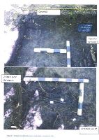 , Vlad Ţepeş<br /><a href='https://ran.cimec.ro/RANatasamente/i2/3B54FA5E6FCF48DBA4CA9FB420ED0675.jpg' target=_blank>Priveşte aceeaşi imagine într-o fereastră nouă</a>. Autor: Ana Ilie et all. Titlu: Alte piese indicate de detectoriști ca provenind din Pădure Comana și ridicate de Muzeul Județean Giurgiu de la Primăria Comana. Sursa: Ana Ilie, Raport de diagnostic arheologic, 2023, Vlad Ţepeş<br /><a href='https://ran.cimec.ro/RANatasamente/i2/AA7D1E111C4A409F826BB01B3592A426.jpg' target=_blank>Priveşte aceeaşi imagine într-o fereastră nouă</a>. Autor: Ana Ilie et all. Titlu: Ceramică hallstatiană descoperită în S1/2023. Sursa: Ana Ilie, Raport de diagnostic arheologic, 2023, Vlad Ţepeş<br /><a href='https://ran.cimec.ro/RANatasamente/i2/20323F01482744ABA2B7FA5758A3CBD9.jpg' target=_blank>Priveşte aceeaşi imagine într-o fereastră nouă</a>. Autor: Ana Ilie et all. Titlu: Imagine dinspre E cu delimitarea zonei unde a fost semnalată descoperirea întâmplătoare, sat Vlad Țepeș, comuna Comana (sus) și trasarea secțiunii (jos). Sursa: Ana Ilie, Raport de diagnostic arheologic, 2023, Vlad Ţepeş<br /><a href='https://ran.cimec.ro/RANatasamente/i2/9FE2E809172C4D8E9D4AAA5F5721BA51.jpg' target=_blank>Priveşte aceeaşi imagine într-o fereastră nouă</a>. Autor: Ana Ilie et all. Titlu: Imagini cu depozitul de piese din fier de la Vlad Țepeș, descoperite in situ. Sursa: Ana Ilie, Raport de diagnostic arheologic, 2023, Vlad Ţepeş<br /><a href='https://ran.cimec.ro/RANatasamente/i2/49C2CCF7E16D4566A30EEE693057F66A.jpg' target=_blank>Priveşte aceeaşi imagine într-o fereastră nouă</a>. Autor: Ana Ilie et all. Titlu: Imagini cu depozitul și cu materiale ceramice in situ. Sursa: Ana Ilie, Raport de diagnostic arheologic, 2023