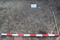 Cronica Cercetărilor Arheologice din România, Campania 2021. Raportul nr. 24, Fulgeriş, La Trei Cireşi (Dealul Fulgeriş)<br /><a href='https://ran.cimec.ro/RANatasamente/i2/B0C5909E767349DEBFF59C053D162C77.jpg' target=_blank>Priveşte aceeaşi imagine într-o fereastră nouă</a>. Titlu: Fulgeriș, La trei cireși – Foto groapa Gr. 59, în timpul cercetării