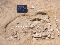 Cronica Cercetărilor Arheologice din România, Campania 2011. Raportul nr. 114, Drobeta-Turnu Severin, Parcul General Dragalina (Zeren; Zeuriuenses; Zwun)<br /><a href='CronicaCAfotografii/2011/114/plansa-xx.jpg' target=_blank>Priveşte aceeaşi imagine într-o fereastră nouă</a>, Drobeta-Turnu Severin, Parcul General Dragalina (Zeren; Zeuriuenses; Zwun)<br /><a href='https://ran.cimec.ro/RANatasamente/i1/8DA88FCA588D41F89C7339A7E926C845.jpg' target=_blank>Priveşte aceeaşi imagine într-o fereastră nouă</a>. Titlu: 1. Inel din argint cu inscripție, secolele XIV-XV. 2. Cămașă de zale din fier, secolul al XV-lea. 3 - Fotografie din timpul descoperirii tezaurului monetar compus din 159 de monede de argint, din 2011.. Sursa: Marian Iulian Neagoe, Cetatea medievală a Severinului, centru de putere la Porțile de Fier, MJM, Craiova, 2021, pp. 28-29, 165, planșa XXX/1, 2, 3, p. 194, Drobeta-Turnu Severin, Parcul General Dragalina (Zeren; Zeuriuenses; Zwun)<br /><a href='https://ran.cimec.ro/RANatasamente/i1/6E16DBA227134F4F868AB263468C32E3.jpg' target=_blank>Priveşte aceeaşi imagine într-o fereastră nouă</a>. Titlu: Fotografie a suprafeței Sp. V/2011, cercetate în spațiul intermediar de vest dintre incinte. 2. Desen al profilului de sud al suprafeței Sp. V/2011. Sursa: Marian Iulian Neagoe, Cetatea medievală a Severinului, centru de putere la Porțile de Fier, MJM, Craiova, 2021, pp. 28-29, 165, planșa VII/1, 2, p. 171, Drobeta-Turnu Severin, Parcul General Dragalina (Zeren; Zeuriuenses; Zwun)<br /><a href='https://ran.cimec.ro/RANatasamente/i1/DE66F1E8B8B8441A866EC68574A8DEA0.jpg' target=_blank>Priveşte aceeaşi imagine într-o fereastră nouă</a>. Titlu: Fotografie a suprafeței Sp. VII/2011, cercetate în spațiul de vest dintre incinte. 2 - Fotografie cu profilul de nord suprafeței Sp. VII/2011. Sursa: Marian Iulian Neagoe, Cetatea medievală a Severinului, centru de putere la Porțile de Fier, MJM, Craiova, 2021, pp. 28-29, 165, planșa VIII/1,2, p. 172, Drobeta-Turnu Severin, Parcul General Dragalina (Zeren; Zeuriuenses; Zwun)<br /><a href='https://ran.cimec.ro/RANatasamente/i1/44DDB4003B7F49A1A7C77B261CF48551.jpg' target=_blank>Priveşte aceeaşi imagine într-o fereastră nouă</a>. Titlu: Fotografie cu turnul de poartă de pe latura nordică a primei incinte (Sp. IX/2011). 2 - Desenul profilului de nord al suprafeței Sp. IX/2011. Sursa: Marian Iulian Neagoe, Cetatea medievală a Severinului, centru de putere la Porțile de Fier, MJM, Craiova, 2021, pp. 28-29, 165, planșa IX/1,2, p. 173, Drobeta-Turnu Severin, Parcul General Dragalina (Zeren; Zeuriuenses; Zwun)<br /><a href='https://ran.cimec.ro/RANatasamente/i1/99F321ECC4B449719BEFF5BFEFA7B369.jpg' target=_blank>Priveşte aceeaşi imagine într-o fereastră nouă</a>. Titlu: Planul Cetății Severinului - ultimele cercetări arheologice. Sursa: Marian Iulian Neagoe, Cetatea medievală a Severinului, centru de putere la Porțile de Fier, MJM, Craiova, 2021, pp. 28-29, 165, planșa IV, p. 170, Drobeta-Turnu Severin, Parcul General Dragalina (Zeren; Zeuriuenses; Zwun)<br /><a href='https://ran.cimec.ro/RANatasamente/i1/9B59A34E955A45ABB2ED8C1111841DB6.jpg' target=_blank>Priveşte aceeaşi imagine într-o fereastră nouă</a>. Titlu: Planul turnului intermediar de est al incintei interioare, cu ruinele bisericilor I-II și amplasarea mormintelor descoperite în 1939-1940, 2011 și 2013. Sursa: Marian Iulian Neagoe, Cetatea medievală a Severinului, centru de putere la Porțile de Fier, MJM, Craiova, 2021, pp. 28-29, 165, planșa X, p. 174, Drobeta-Turnu Severin, Parcul General Dragalina (Zeren; Zeuriuenses; Zwun)<br /><a href='https://ran.cimec.ro/RANatasamente/i1/CF058F8C276D4A1F9EA598077034D0E2.jpg' target=_blank>Priveşte aceeaşi imagine într-o fereastră nouă</a>. Titlu: Ruinele Cetății Severinului. Sursa: Marian Iulian Neagoe, Cetatea medievală a Severinului, centru de putere la Porțile de Fier, MJM, Craiova, 2021, pp. 28-29, 165, planșa IV/2, p. 168, Drobeta-Turnu Severin, Parcul General Dragalina (Zeren; Zeuriuenses; Zwun)<br /><a href='https://ran.cimec.ro/RANatasamente/i2/98DE2E8C636A45F798707E1A5417D422.jpg' target=_blank>Priveşte aceeaşi imagine într-o fereastră nouă</a>. Autor: Crăciunescu Gabriel etl all. Titlu: Artefacte descoperite în timpul cercetărilor din 2011. Sursa: Gabriel Crăciunescu, Marin Iulian Neagoe, Oana Minodora Neagoe, Raport de cercetare arheologică, situl „Cetatea Severinului, Muzeul Regiunii Porților de Fier, Drobeta Turnu Severin, 28.07.2011, Drobeta-Turnu Severin, Parcul General Dragalina (Zeren; Zeuriuenses; Zwun)<br /><a href='https://ran.cimec.ro/RANatasamente/i2/3104BC85CA1C4739867BE6D67F62F06D.jpg' target=_blank>Priveşte aceeaşi imagine într-o fereastră nouă</a>. Autor: Crăciunescu Gabriel etl all. Titlu: Artefacte din bronz descoperite în 2011. Sursa: Gabriel Crăciunescu, Marin Iulian Neagoe, Oana Minodora Neagoe, Raport de cercetare arheologică, situl „Cetatea Severinului, Muzeul Regiunii Porților de Fier, Drobeta Turnu Severin, 28.07.2011, Drobeta-Turnu Severin, Parcul General Dragalina (Zeren; Zeuriuenses; Zwun)<br /><a href='https://ran.cimec.ro/RANatasamente/i2/5A207B29CA8A4224A9843FF32D442143.jpg' target=_blank>Priveşte aceeaşi imagine într-o fereastră nouă</a>. Autor: Crăciunescu Gabriel etl all. Titlu: Artefacte din fier. Sursa: Gabriel Crăciunescu, Marin Iulian Neagoe, Oana Minodora Neagoe, Raport de cercetare arheologică, situl „Cetatea Severinului, Muzeul Regiunii Porților de Fier, Drobeta Turnu Severin, 28.07.2011, Drobeta-Turnu Severin, Parcul General Dragalina (Zeren; Zeuriuenses; Zwun)<br /><a href='https://ran.cimec.ro/RANatasamente/i2/4028B464A91C41AEAD07D0FB4ACB176E.jpg' target=_blank>Priveşte aceeaşi imagine într-o fereastră nouă</a>. Autor: Crăciunescu Gabriel etl all. Titlu: Artefacte din fier. Sursa: Gabriel Crăciunescu, Marin Iulian Neagoe, Oana Minodora Neagoe, Raport de cercetare arheologică, situl „Cetatea Severinului, Muzeul Regiunii Porților de Fier, Drobeta Turnu Severin, 28.07.2011, Drobeta-Turnu Severin, Parcul General Dragalina (Zeren; Zeuriuenses; Zwun)<br /><a href='https://ran.cimec.ro/RANatasamente/i2/52C73A3BE46C4D198996D78E798F5C80.jpg' target=_blank>Priveşte aceeaşi imagine într-o fereastră nouă</a>. Autor: Crăciunescu Gabriel etl all. Titlu: Artefacte din fier descoperite în 2011. Sursa: Gabriel Crăciunescu, Marin Iulian Neagoe, Oana Minodora Neagoe, Raport de cercetare arheologică, situl „Cetatea Severinului, Muzeul Regiunii Porților de Fier, Drobeta Turnu Severin, 28.07.2011, Drobeta-Turnu Severin, Parcul General Dragalina (Zeren; Zeuriuenses; Zwun)<br /><a href='https://ran.cimec.ro/RANatasamente/i2/80A2E4DD53D24680AFF56EB33448ED91.jpg' target=_blank>Priveşte aceeaşi imagine într-o fereastră nouă</a>. Autor: Crăciunescu Gabriel etl all. Titlu: Artefacte din fier descoperite în 2011. Sursa: Gabriel Crăciunescu, Marin Iulian Neagoe, Oana Minodora Neagoe, Raport de cercetare arheologică, situl „Cetatea Severinului, Muzeul Regiunii Porților de Fier, Drobeta Turnu Severin, 28.07.2011, Drobeta-Turnu Severin, Parcul General Dragalina (Zeren; Zeuriuenses; Zwun)<br /><a href='https://ran.cimec.ro/RANatasamente/i2/2CDA62FB5C474C8AAC5BFD0CCC64AEF3.jpg' target=_blank>Priveşte aceeaşi imagine într-o fereastră nouă</a>. Autor: Crăciunescu Gabriel etl all. Titlu: Artefacte din fier descoperite în 2011. Sursa: Gabriel Crăciunescu, Marin Iulian Neagoe, Oana Minodora Neagoe, Raport de cercetare arheologică, situl „Cetatea Severinului, Muzeul Regiunii Porților de Fier, Drobeta Turnu Severin, 28.07.2011, Drobeta-Turnu Severin, Parcul General Dragalina (Zeren; Zeuriuenses; Zwun)<br /><a href='https://ran.cimec.ro/RANatasamente/i2/E1F8A93AF6E34BD585D4D1B8C9E66654.jpg' target=_blank>Priveşte aceeaşi imagine într-o fereastră nouă</a>. Autor: Crăciunescu Gabriel etl all. Titlu: Artefacte din os. Sursa: Gabriel Crăciunescu, Marin Iulian Neagoe, Oana Minodora Neagoe, Raport de cercetare arheologică, situl „Cetatea Severinului, Muzeul Regiunii Porților de Fier, Drobeta Turnu Severin, 28.07.2011, Drobeta-Turnu Severin, Parcul General Dragalina (Zeren; Zeuriuenses; Zwun)<br /><a href='https://ran.cimec.ro/RANatasamente/i2/6CA8419AE73D48E3885162BEB24776A1.jpg' target=_blank>Priveşte aceeaşi imagine într-o fereastră nouă</a>. Autor: Crăciunescu Gabriel etl all. Titlu: Ceramică medievală. Sursa: Gabriel Crăciunescu, Marin Iulian Neagoe, Oana Minodora Neagoe, Raport de cercetare arheologică, situl „Cetatea Severinului, Muzeul Regiunii Porților de Fier, Drobeta Turnu Severin, 28.07.2011, Drobeta-Turnu Severin, Parcul General Dragalina (Zeren; Zeuriuenses; Zwun)<br /><a href='https://ran.cimec.ro/RANatasamente/i2/647DEE49018E4ABF9DE1181F69B58F62.jpg' target=_blank>Priveşte aceeaşi imagine într-o fereastră nouă</a>. Autor: Crăciunescu Gabriel etl all. Titlu: Ceramică medievală. Sursa: Gabriel Crăciunescu, Marin Iulian Neagoe, Oana Minodora Neagoe, Raport de cercetare arheologică, situl „Cetatea Severinului, Muzeul Regiunii Porților de Fier, Drobeta Turnu Severin, 28.07.2011, Drobeta-Turnu Severin, Parcul General Dragalina (Zeren; Zeuriuenses; Zwun)<br /><a href='https://ran.cimec.ro/RANatasamente/i2/B8FEBC213EB94F348E734B41A0FFFEC6.jpg' target=_blank>Priveşte aceeaşi imagine într-o fereastră nouă</a>. Autor: Crăciunescu Gabriel etl all. Titlu: Ceramică medievală. Sursa: Gabriel Crăciunescu, Marin Iulian Neagoe, Oana Minodora Neagoe, Raport de cercetare arheologică, situl „Cetatea Severinului, Muzeul Regiunii Porților de Fier, Drobeta Turnu Severin, 28.07.2011, Drobeta-Turnu Severin, Parcul General Dragalina (Zeren; Zeuriuenses; Zwun)<br /><a href='https://ran.cimec.ro/RANatasamente/i2/0679FBA7D1A34E518E4C0A3417695CAC.jpg' target=_blank>Priveşte aceeaşi imagine într-o fereastră nouă</a>. Autor: Crăciunescu Gabriel etl all. Titlu: Ceramică medievală descoperită în 2011. Sursa: Gabriel Crăciunescu, Marin Iulian Neagoe, Oana Minodora Neagoe, Raport de cercetare arheologică, situl „Cetatea Severinului, Muzeul Regiunii Porților de Fier, Drobeta Turnu Severin, 28.07.2011, Drobeta-Turnu Severin, Parcul General Dragalina (Zeren; Zeuriuenses; Zwun)<br /><a href='https://ran.cimec.ro/RANatasamente/i2/A6A9CF68A2EC4EE684D7B4881E10434A.jpg' target=_blank>Priveşte aceeaşi imagine într-o fereastră nouă</a>. Autor: Crăciunescu Gabriel etl all. Titlu: Ceramică medievală descoperită în 2011. Sursa: Gabriel Crăciunescu, Marin Iulian Neagoe, Oana Minodora Neagoe, Raport de cercetare arheologică, situl „Cetatea Severinului, Muzeul Regiunii Porților de Fier, Drobeta Turnu Severin, 28.07.2011, Drobeta-Turnu Severin, Parcul General Dragalina (Zeren; Zeuriuenses; Zwun)<br /><a href='https://ran.cimec.ro/RANatasamente/i2/53DF13AE9CB04E25B8D7FC92ACF06644.jpg' target=_blank>Priveşte aceeaşi imagine într-o fereastră nouă</a>. Autor: Crăciunescu Gabriel etl all. Titlu: Ceramică medievală descoperită în 2011. Sursa: Gabriel Crăciunescu, Marin Iulian Neagoe, Oana Minodora Neagoe, Raport de cercetare arheologică, situl „Cetatea Severinului, Muzeul Regiunii Porților de Fier, Drobeta Turnu Severin, 28.07.2011, Drobeta-Turnu Severin, Parcul General Dragalina (Zeren; Zeuriuenses; Zwun)<br /><a href='https://ran.cimec.ro/RANatasamente/i2/124896545A6D4B63BBD0B20247D5F5C7.jpg' target=_blank>Priveşte aceeaşi imagine într-o fereastră nouă</a>. Autor: Crăciunescu Gabriel etl all. Titlu: Ceramică medievală descoperită în 2011. Sursa: Gabriel Crăciunescu, Marin Iulian Neagoe, Oana Minodora Neagoe, Raport de cercetare arheologică, situl „Cetatea Severinului, Muzeul Regiunii Porților de Fier, Drobeta Turnu Severin, 28.07.2011, Drobeta-Turnu Severin, Parcul General Dragalina (Zeren; Zeuriuenses; Zwun)<br /><a href='https://ran.cimec.ro/RANatasamente/i2/A42492F9C1054CF9ACA2A4D8E7F1D831.jpg' target=_blank>Priveşte aceeaşi imagine într-o fereastră nouă</a>. Autor: Crăciunescu Gabriel etl all. Titlu: Ceramică medievală descoperită în 2011. Sursa: Gabriel Crăciunescu, Marin Iulian Neagoe, Oana Minodora Neagoe, Raport de cercetare arheologică, situl „Cetatea Severinului, Muzeul Regiunii Porților de Fier, Drobeta Turnu Severin, 28.07.2011, Drobeta-Turnu Severin, Parcul General Dragalina (Zeren; Zeuriuenses; Zwun)<br /><a href='https://ran.cimec.ro/RANatasamente/i2/79BC6E3E2B8349EAAA5E1BC9A18F75CD.jpg' target=_blank>Priveşte aceeaşi imagine într-o fereastră nouă</a>. Autor: Crăciunescu Gabriel etl all. Titlu: Ceramică medievală descoperită în 2011. Sursa: Gabriel Crăciunescu, Marin Iulian Neagoe, Oana Minodora Neagoe, Raport de cercetare arheologică, situl „Cetatea Severinului, Muzeul Regiunii Porților de Fier, Drobeta Turnu Severin, 28.07.2011, Drobeta-Turnu Severin, Parcul General Dragalina (Zeren; Zeuriuenses; Zwun)<br /><a href='https://ran.cimec.ro/RANatasamente/i2/A76E2D779708437E9D019C82D59B6A6B.jpg' target=_blank>Priveşte aceeaşi imagine într-o fereastră nouă</a>. Autor: Crăciunescu Gabriel etl all. Titlu: Ceramică medievală descoperită în 2011. Sursa: Gabriel Crăciunescu, Marin Iulian Neagoe, Oana Minodora Neagoe, Raport de cercetare arheologică, situl „Cetatea Severinului, Muzeul Regiunii Porților de Fier, Drobeta Turnu Severin, 28.07.2011, Drobeta-Turnu Severin, Parcul General Dragalina (Zeren; Zeuriuenses; Zwun)<br /><a href='https://ran.cimec.ro/RANatasamente/i2/22218E80DD2D436EA5CF2B7646CC58BF.jpg' target=_blank>Priveşte aceeaşi imagine într-o fereastră nouă</a>. Autor: Crăciunescu Gabriel etl all. Titlu: Cercetare magnetometrică. Sursa: Gabriel Crăciunescu, Marin Iulian Neagoe, Oana Minodora Neagoe, Raport de cercetare arheologică, situl „Cetatea Severinului, Muzeul Regiunii Porților de Fier, Drobeta Turnu Severin, 28.07.2011, Drobeta-Turnu Severin, Parcul General Dragalina (Zeren; Zeuriuenses; Zwun)<br /><a href='https://ran.cimec.ro/RANatasamente/i2/CE6F320F7E064952ACFE218943E3319A.jpg' target=_blank>Priveşte aceeaşi imagine într-o fereastră nouă</a>. Autor: Crăciunescu Gabriel etl all. Titlu: Cercetare magnetometrică. Sursa: Gabriel Crăciunescu, Marin Iulian Neagoe, Oana Minodora Neagoe, Raport de cercetare arheologică, situl „Cetatea Severinului, Muzeul Regiunii Porților de Fier, Drobeta Turnu Severin, 28.07.2011, Drobeta-Turnu Severin, Parcul General Dragalina (Zeren; Zeuriuenses; Zwun)<br /><a href='https://ran.cimec.ro/RANatasamente/i2/34C6D66F48B74F0790782E0E448D0432.jpg' target=_blank>Priveşte aceeaşi imagine într-o fereastră nouă</a>. Autor: Crăciunescu Gabriel etl all. Titlu: Fântână. Sursa: Gabriel Crăciunescu, Marin Iulian Neagoe, Oana Minodora Neagoe, Raport de cercetare arheologică, situl „Cetatea Severinului, Muzeul Regiunii Porților de Fier, Drobeta Turnu Severin, 28.07.2011, Drobeta-Turnu Severin, Parcul General Dragalina (Zeren; Zeuriuenses; Zwun)<br /><a href='https://ran.cimec.ro/RANatasamente/i2/1CAF8105A87940089D4CB506D34DC861.jpg' target=_blank>Priveşte aceeaşi imagine într-o fereastră nouă</a>. Autor: Crăciunescu Gabriel etl all. Titlu: Fotografie de complex arheologic. Sursa: Gabriel Crăciunescu, Marin Iulian Neagoe, Oana Minodora Neagoe, Raport de cercetare arheologică, situl „Cetatea Severinului, Muzeul Regiunii Porților de Fier, Drobeta Turnu Severin, 28.07.2011, Drobeta-Turnu Severin, Parcul General Dragalina (Zeren; Zeuriuenses; Zwun)<br /><a href='https://ran.cimec.ro/RANatasamente/i2/9E23AC268FB94B519529D8EFB2B612D5.jpg' target=_blank>Priveşte aceeaşi imagine într-o fereastră nouă</a>. Autor: Crăciunescu Gabriel etl all. Titlu: Fotografie de complex arheologic. Sursa: Gabriel Crăciunescu, Marin Iulian Neagoe, Oana Minodora Neagoe, Raport de cercetare arheologică, situl „Cetatea Severinului, Muzeul Regiunii Porților de Fier, Drobeta Turnu Severin, 28.07.2011, Drobeta-Turnu Severin, Parcul General Dragalina (Zeren; Zeuriuenses; Zwun)<br /><a href='https://ran.cimec.ro/RANatasamente/i2/50AC00A5C2C943F3B867CAC862F2C7F6.jpg' target=_blank>Priveşte aceeaşi imagine într-o fereastră nouă</a>. Autor: Crăciunescu Gabriel etl all. Titlu: Fotografie de complex arheologic. Sursa: Gabriel Crăciunescu, Marin Iulian Neagoe, Oana Minodora Neagoe, Raport de cercetare arheologică, situl „Cetatea Severinului, Muzeul Regiunii Porților de Fier, Drobeta Turnu Severin, 28.07.2011, Drobeta-Turnu Severin, Parcul General Dragalina (Zeren; Zeuriuenses; Zwun)<br /><a href='https://ran.cimec.ro/RANatasamente/i2/297C51AB49274FC8AF8672CDA684E38E.jpg' target=_blank>Priveşte aceeaşi imagine într-o fereastră nouă</a>. Autor: Crăciunescu Gabriel etl all. Titlu: Fotografie de complex arheologic. Sursa: Gabriel Crăciunescu, Marin Iulian Neagoe, Oana Minodora Neagoe, Raport de cercetare arheologică, situl „Cetatea Severinului, Muzeul Regiunii Porților de Fier, Drobeta Turnu Severin, 28.07.2011, Drobeta-Turnu Severin, Parcul General Dragalina (Zeren; Zeuriuenses; Zwun)<br /><a href='https://ran.cimec.ro/RANatasamente/i2/FFAC0ED4293B4241AC1B6E868660489B.jpg' target=_blank>Priveşte aceeaşi imagine într-o fereastră nouă</a>. Autor: Crăciunescu Gabriel etl all. Titlu: Fotografie de complex arheologic. Sursa: Gabriel Crăciunescu, Marin Iulian Neagoe, Oana Minodora Neagoe, Raport de cercetare arheologică, situl „Cetatea Severinului, Muzeul Regiunii Porților de Fier, Drobeta Turnu Severin, 28.07.2011, Drobeta-Turnu Severin, Parcul General Dragalina (Zeren; Zeuriuenses; Zwun)<br /><a href='https://ran.cimec.ro/RANatasamente/i2/BD13E15030FF44F9844D5B8824692E22.jpg' target=_blank>Priveşte aceeaşi imagine într-o fereastră nouă</a>. Autor: Crăciunescu Gabriel etl all. Titlu: Fotografie de complex arheologic. Sursa: Gabriel Crăciunescu, Marin Iulian Neagoe, Oana Minodora Neagoe, Raport de cercetare arheologică, situl „Cetatea Severinului, Muzeul Regiunii Porților de Fier, Drobeta Turnu Severin, 28.07.2011, Drobeta-Turnu Severin, Parcul General Dragalina (Zeren; Zeuriuenses; Zwun)<br /><a href='https://ran.cimec.ro/RANatasamente/i2/CC298F000CBF423AA2843AE8FBFAEAAF.jpg' target=_blank>Priveşte aceeaşi imagine într-o fereastră nouă</a>. Autor: Crăciunescu Gabriel etl all. Titlu: Fotografie de complex arheologic. Sursa: Gabriel Crăciunescu, Marin Iulian Neagoe, Oana Minodora Neagoe, Raport de cercetare arheologică, situl „Cetatea Severinului, Muzeul Regiunii Porților de Fier, Drobeta Turnu Severin, 28.07.2011, Drobeta-Turnu Severin, Parcul General Dragalina (Zeren; Zeuriuenses; Zwun)<br /><a href='https://ran.cimec.ro/RANatasamente/i2/1741026D461B409FA36C91F2E019E89A.jpg' target=_blank>Priveşte aceeaşi imagine într-o fereastră nouă</a>. Autor: Crăciunescu Gabriel etl all. Titlu: Fotografie de complex arheologic. Sursa: Gabriel Crăciunescu, Marin Iulian Neagoe, Oana Minodora Neagoe, Raport de cercetare arheologică, situl „Cetatea Severinului, Muzeul Regiunii Porților de Fier, Drobeta Turnu Severin, 28.07.2011, Drobeta-Turnu Severin, Parcul General Dragalina (Zeren; Zeuriuenses; Zwun)<br /><a href='https://ran.cimec.ro/RANatasamente/i2/6EEC6BE17F8D4F2DA8D1FC7DE89232E3.jpg' target=_blank>Priveşte aceeaşi imagine într-o fereastră nouă</a>. Autor: Crăciunescu Gabriel etl all. Titlu: Fotografie de complex arheologic. Sursa: Gabriel Crăciunescu, Marin Iulian Neagoe, Oana Minodora Neagoe, Raport de cercetare arheologică, situl „Cetatea Severinului, Muzeul Regiunii Porților de Fier, Drobeta Turnu Severin, 28.07.2011, Drobeta-Turnu Severin, Parcul General Dragalina (Zeren; Zeuriuenses; Zwun)<br /><a href='https://ran.cimec.ro/RANatasamente/i2/E145DF4EFC7F4A618893BC9EA03C85F4.jpg' target=_blank>Priveşte aceeaşi imagine într-o fereastră nouă</a>. Autor: Crăciunescu Gabriel etl all. Titlu: Fotografie de complex arheologic. Sursa: Gabriel Crăciunescu, Marin Iulian Neagoe, Oana Minodora Neagoe, Raport de cercetare arheologică, situl „Cetatea Severinului, Muzeul Regiunii Porților de Fier, Drobeta Turnu Severin, 28.07.2011, Drobeta-Turnu Severin, Parcul General Dragalina (Zeren; Zeuriuenses; Zwun)<br /><a href='https://ran.cimec.ro/RANatasamente/i2/78DE0D2011B742C080556C578BD3F098.jpg' target=_blank>Priveşte aceeaşi imagine într-o fereastră nouă</a>. Autor: Crăciunescu Gabriel etl all. Titlu: Fotografie de complex arheologic. Sursa: Gabriel Crăciunescu, Marin Iulian Neagoe, Oana Minodora Neagoe, Raport de cercetare arheologică, situl „Cetatea Severinului, Muzeul Regiunii Porților de Fier, Drobeta Turnu Severin, 28.07.2011, Drobeta-Turnu Severin, Parcul General Dragalina (Zeren; Zeuriuenses; Zwun)<br /><a href='https://ran.cimec.ro/RANatasamente/i2/F780F7E99BEE4943AB7B16B7DF596AAB.jpg' target=_blank>Priveşte aceeaşi imagine într-o fereastră nouă</a>. Autor: Crăciunescu Gabriel etl all. Titlu: Fotografie de complex arheologic. Sursa: Gabriel Crăciunescu, Marin Iulian Neagoe, Oana Minodora Neagoe, Raport de cercetare arheologică, situl „Cetatea Severinului, Muzeul Regiunii Porților de Fier, Drobeta Turnu Severin, 28.07.2011, Drobeta-Turnu Severin, Parcul General Dragalina (Zeren; Zeuriuenses; Zwun)<br /><a href='https://ran.cimec.ro/RANatasamente/i2/EE8A602B5FD74E4994372C22CF845803.jpg' target=_blank>Priveşte aceeaşi imagine într-o fereastră nouă</a>. Autor: Crăciunescu Gabriel etl all. Titlu: Fotografie de complex arheologic. Sursa: Gabriel Crăciunescu, Marin Iulian Neagoe, Oana Minodora Neagoe, Raport de cercetare arheologică, situl „Cetatea Severinului, Muzeul Regiunii Porților de Fier, Drobeta Turnu Severin, 28.07.2011, Drobeta-Turnu Severin, Parcul General Dragalina (Zeren; Zeuriuenses; Zwun)<br /><a href='https://ran.cimec.ro/RANatasamente/i2/0C7E05B3EF0A48D4BF863F3AD4F86390.jpg' target=_blank>Priveşte aceeaşi imagine într-o fereastră nouă</a>. Autor: Crăciunescu Gabriel etl all. Titlu: Fotografie de complex arheologic. Sursa: Gabriel Crăciunescu, Marin Iulian Neagoe, Oana Minodora Neagoe, Raport de cercetare arheologică, situl „Cetatea Severinului, Muzeul Regiunii Porților de Fier, Drobeta Turnu Severin, 28.07.2011, Drobeta-Turnu Severin, Parcul General Dragalina (Zeren; Zeuriuenses; Zwun)<br /><a href='https://ran.cimec.ro/RANatasamente/i2/5F56F47BF0B047FCA3B3EDF023CF695E.jpg' target=_blank>Priveşte aceeaşi imagine într-o fereastră nouă</a>. Autor: Crăciunescu Gabriel etl all. Titlu: Fotografie de complex arheologic. Sursa: Gabriel Crăciunescu, Marin Iulian Neagoe, Oana Minodora Neagoe, Raport de cercetare arheologică, situl „Cetatea Severinului, Muzeul Regiunii Porților de Fier, Drobeta Turnu Severin, 28.07.2011, Drobeta-Turnu Severin, Parcul General Dragalina (Zeren; Zeuriuenses; Zwun)<br /><a href='https://ran.cimec.ro/RANatasamente/i2/3AA66A1A13814B659D9A7A64AF8709F0.jpg' target=_blank>Priveşte aceeaşi imagine într-o fereastră nouă</a>. Autor: Crăciunescu Gabriel etl all. Titlu: Fotografie de complex arheologic. Sursa: Gabriel Crăciunescu, Marin Iulian Neagoe, Oana Minodora Neagoe, Raport de cercetare arheologică, situl „Cetatea Severinului, Muzeul Regiunii Porților de Fier, Drobeta Turnu Severin, 28.07.2011, Drobeta-Turnu Severin, Parcul General Dragalina (Zeren; Zeuriuenses; Zwun)<br /><a href='https://ran.cimec.ro/RANatasamente/i2/A94DF33B98304FE7942AE2B1CAE176B0.jpg' target=_blank>Priveşte aceeaşi imagine într-o fereastră nouă</a>. Autor: Crăciunescu Gabriel etl all. Titlu: Fotografie de complex arheologic. Sursa: Gabriel Crăciunescu, Marin Iulian Neagoe, Oana Minodora Neagoe, Raport de cercetare arheologică, situl „Cetatea Severinului, Muzeul Regiunii Porților de Fier, Drobeta Turnu Severin, 28.07.2011, Drobeta-Turnu Severin, Parcul General Dragalina (Zeren; Zeuriuenses; Zwun)<br /><a href='https://ran.cimec.ro/RANatasamente/i2/76AA8D0CA9EC44EFB1CA175F151A52A2.jpg' target=_blank>Priveşte aceeaşi imagine într-o fereastră nouă</a>. Autor: Crăciunescu Gabriel etl all. Titlu: Fotografie de complex arheologic. Sursa: Gabriel Crăciunescu, Marin Iulian Neagoe, Oana Minodora Neagoe, Raport de cercetare arheologică, situl „Cetatea Severinului, Muzeul Regiunii Porților de Fier, Drobeta Turnu Severin, 28.07.2011