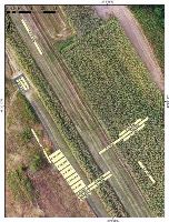 Cronica Cercetărilor Arheologice din România, Campania 2021. Raportul nr. 24, Fulgeriş, La Trei Cireşi (Dealul Fulgeriş)<br /><a href='https://ran.cimec.ro/RANatasamente/i2/0BC464608CF345458FB569B7CBEEBB43.jpg' target=_blank>Priveşte aceeaşi imagine într-o fereastră nouă</a>. Titlu: Fulgeriș, La trei cireși – Planul general al săpăturilor actualizat (2021)