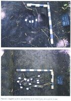 , Vlad Ţepeş<br /><a href='https://ran.cimec.ro/RANatasamente/i2/3B54FA5E6FCF48DBA4CA9FB420ED0675.jpg' target=_blank>Priveşte aceeaşi imagine într-o fereastră nouă</a>. Autor: Ana Ilie et all. Titlu: Alte piese indicate de detectoriști ca provenind din Pădure Comana și ridicate de Muzeul Județean Giurgiu de la Primăria Comana. Sursa: Ana Ilie, Raport de diagnostic arheologic, 2023, Vlad Ţepeş<br /><a href='https://ran.cimec.ro/RANatasamente/i2/AA7D1E111C4A409F826BB01B3592A426.jpg' target=_blank>Priveşte aceeaşi imagine într-o fereastră nouă</a>. Autor: Ana Ilie et all. Titlu: Ceramică hallstatiană descoperită în S1/2023. Sursa: Ana Ilie, Raport de diagnostic arheologic, 2023, Vlad Ţepeş<br /><a href='https://ran.cimec.ro/RANatasamente/i2/20323F01482744ABA2B7FA5758A3CBD9.jpg' target=_blank>Priveşte aceeaşi imagine într-o fereastră nouă</a>. Autor: Ana Ilie et all. Titlu: Imagine dinspre E cu delimitarea zonei unde a fost semnalată descoperirea întâmplătoare, sat Vlad Țepeș, comuna Comana (sus) și trasarea secțiunii (jos). Sursa: Ana Ilie, Raport de diagnostic arheologic, 2023, Vlad Ţepeş<br /><a href='https://ran.cimec.ro/RANatasamente/i2/9FE2E809172C4D8E9D4AAA5F5721BA51.jpg' target=_blank>Priveşte aceeaşi imagine într-o fereastră nouă</a>. Autor: Ana Ilie et all. Titlu: Imagini cu depozitul de piese din fier de la Vlad Țepeș, descoperite in situ. Sursa: Ana Ilie, Raport de diagnostic arheologic, 2023