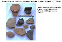 , Singureni, la sud de sat<br /><a href='https://ran.cimec.ro/RANatasamente/i2/43A8C19E38E040939392C02976A80CCA.jpg' target=_blank>Display the same picture in a new window</a>. Author: Ana Ilie. Title: Ceramică de epoca bronzului descoperită în anul 2022 la sud de satul Singureni. Source: Ana Ilie, Studiu de evaluare a potențialului arheologic al comunei Singureni, jud. Giurgiu