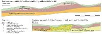 Chronicle of the Archaeological Excavations in Romania, 2016 Campaign. Report no. 136, Rosiori De Vede, Valea Urlui<br /><a href='https://ran.cimec.ro/RANatasamente/i2/E59CF38B132D41A28669EA2EE14A912D.jpg' target=_blank>Display the same picture in a new window</a>. Author: Eugen S. Teodor. Title: Desen profil sudic