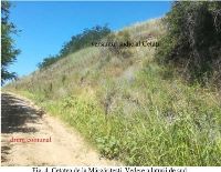 , Mărgăriteşti, La Cetate<br /><a href='https://ran.cimec.ro/RANatasamente/i2/F4BC77DE6D4D43E8ADD698F889D7C7B4.jpg' target=_blank>Display the same picture in a new window</a>. Author: Constantin Preda. Title: Ceramică getică descoperită în săpăturile din cetatea de la Mărgăritești. Source: Bondoc Dorel, Cetatea getică de la Mărgăritești, județul Olt: studiu arheologic, 2021, fig 6, Mărgăriteşti, La Cetate<br /><a href='https://ran.cimec.ro/RANatasamente/i2/C5F41190F74048F18053E03E5420ABAE.jpg' target=_blank>Display the same picture in a new window</a>. Author: Constantin Preda. Title: Ceramică getică descoperită în săpăturile din cetatea de la Mărgăritești. Source: Bondoc Dorel, Cetatea getică de la Mărgăritești, județul Olt: studiu arheologic, 2021, fig 7, Mărgăriteşti, La Cetate<br /><a href='https://ran.cimec.ro/RANatasamente/i2/3616DC391725499CB0711A8341E9FF83.jpg' target=_blank>Display the same picture in a new window</a>. Author: Constantin Preda. Title: Ceramică getică descoperită în săpăturile din cetatea de la Mărgăritești. Source: Bondoc Dorel, Cetatea getică de la Mărgăritești, județul Olt: studiu arheologic, 2021, fig 8, Mărgăriteşti, La Cetate<br /><a href='https://ran.cimec.ro/RANatasamente/i2/8767AB0DB207452A957C5E10F8C5A3CE.jpg' target=_blank>Display the same picture in a new window</a>. Author: Constantin Preda. Title: Ceramică și obiecte din fier descoperite în cadrul săpăturilor din cetatea de la Mărgăritești. Source: Bondoc Dorel, Cetatea getică de la Mărgăritești, județul Olt: studiu arheologic, 2021, fig 9, Mărgăriteşti, La Cetate<br /><a href='https://ran.cimec.ro/RANatasamente/i2/FD8464C83E6C4DBABF0B8A56F0EA4831.jpg' target=_blank>Display the same picture in a new window</a>. Author: Constantin Preda. Title: Obiecte din fier descoperite în cadrul săpăturilor din cetatea de la Mărgăritești. Source: Bondoc Dorel, Cetatea getică de la Mărgăritești, județul Olt: studiu arheologic, 2021, fig 9.1, Mărgăriteşti, La Cetate<br /><a href='https://ran.cimec.ro/RANatasamente/i2/F1F16ECEE0D445ABB920C230AE495E3B.jpg' target=_blank>Display the same picture in a new window</a>. Author: Constantin Preda. Title: Profilul secțiunii săpate de Constantin Preda în anul 1973, prin elementele defensive ale fortificației getice. Source: Preda Constantin, Geto-dacii din bazinul Oltului Inferior. Dava de la Sprâncenata, 1986, p. 103, fig. 10, Mărgăriteşti, La Cetate<br /><a href='https://ran.cimec.ro/RANatasamente/i2/7332EBDE1968463597A7A6B0A8C0AEBB.jpg' target=_blank>Display the same picture in a new window</a>. Author: Dardu Nicolaescu-Plopșor, Wanda Wolski. Title: Locuința descoperită în anul 1971 la Mărgăritești, cu indicarea locului urnei funerare. Source: Bondoc Dorel, Cetatea getică de la Mărgăritești, județul Olt: studiu arheologic, 2021, fig 10, Mărgăriteşti, La Cetate<br /><a href='https://ran.cimec.ro/RANatasamente/i2/7C8451D04B534FEE98079B1EC486573C.jpg' target=_blank>Display the same picture in a new window</a>. Author: Dardu Nicolaescu-Plopșor, Wanda Wolski. Title: Urna mormântului de incinerație descoperit la Mărgăritești și fibula tracică descoperită în interiorul urnei. Source: Bondoc Dorel, Cetatea getică de la Mărgăritești, județul Olt: studiu arheologic, 2021, fig 11, Mărgăriteşti, La Cetate<br /><a href='https://ran.cimec.ro/RANatasamente/i2/06C48FFC03AE464D85C3B3045D34E4CD.jpg' target=_blank>Display the same picture in a new window</a>. Author: Dorel Bondoc. Title: Cetatea de la Mărgăritești. Vedere a laturii de sud. Source: Bondoc Dorel, Cetatea getică de la Mărgăritești, județul Olt: studiu arheologic, 2021, fig 4