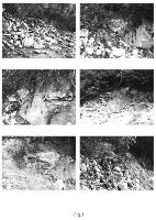 , Izvoarele, Km fluvial 860,5 (Câmpu Deciului)<br /><a href='https://ran.cimec.ro/RANatasamente/i3/D9FE9BD9D87B4A56A953D08AC73C4B39.jpg' target=_blank>Priveşte aceeaşi imagine într-o fereastră nouă</a>. Autor: Ion Stângă. Titlu: Bazilica paleocreștină de la Izvoarele. Sursa: Ion Stângă, O bazilică paleocreștină la Izvoarele, județul Mehedinți, Drobeta, 2007, p. 183, fig. 2/1-2, Izvoarele, Km fluvial 860,5 (Câmpu Deciului)<br /><a href='https://ran.cimec.ro/RANatasamente/i3/C19231E565D141EC8FABF2902C95E909.jpg' target=_blank>Priveşte aceeaşi imagine într-o fereastră nouă</a>. Autor: Ion Stângă. Titlu: Bazilica paleocreștină de la Izvoarele. Sursa: Ion Stângă, O bazilică paleocreștină la Izvoarele, județul Mehedinți, Drobeta, 2007, p. 186, fig. 5, Izvoarele, Km fluvial 860,5 (Câmpu Deciului)<br /><a href='https://ran.cimec.ro/RANatasamente/i3/2A93D922865543CFA9ED206F76AA57D2.jpg' target=_blank>Priveşte aceeaşi imagine într-o fereastră nouă</a>. Autor: Ion Stângă. Titlu: Bazilica paleocreștină de la Izvoarele. Sursa: Ion Stângă, O bazilică paleocreștină la Izvoarele, județul Mehedinți, Drobeta, 2007, p. 189, fig. 8, Izvoarele, Km fluvial 860,5 (Câmpu Deciului)<br /><a href='https://ran.cimec.ro/RANatasamente/i3/ED84B1176B874947A4DF663562283054.jpg' target=_blank>Priveşte aceeaşi imagine într-o fereastră nouă</a>. Autor: Ion Stângă. Titlu: Bazilica paleocreștină de la Izvoarele. Sursa: Ion Stângă, Șantierul arheologic Izvoarele, campania 2008. Raport preliminar, 2009, p. 111, fig. 1, Izvoarele, Km fluvial 860,5 (Câmpu Deciului)<br /><a href='https://ran.cimec.ro/RANatasamente/i3/7A2FB4319FA443E68CEE021229A0A50A.jpg' target=_blank>Priveşte aceeaşi imagine într-o fereastră nouă</a>. Autor: Ion Stângă. Titlu: Bazilica paleocreștină de la Izvoarele. Sursa: Ion Stângă, Șantierul arheologic Izvoarele, campania 2008. Raport preliminar, 2009, p. 112, fig. 2, Izvoarele, Km fluvial 860,5 (Câmpu Deciului)<br /><a href='https://ran.cimec.ro/RANatasamente/i3/FB6791AB3C6E4C0BB55E886AA06F4D8D.jpg' target=_blank>Priveşte aceeaşi imagine într-o fereastră nouă</a>. Autor: Ion Stângă. Titlu: Ceramică romană descoperită în urma cercetărilor arheologice din anul 2006. Sursa: Ion Stângă, O bazilică paleocreștină la Izvoarele, județul Mehedinți, Drobeta, 2007, p. 184, fig. 3, Izvoarele, Km fluvial 860,5 (Câmpu Deciului)<br /><a href='https://ran.cimec.ro/RANatasamente/i3/5F69507320BE4599A3838C40F0293E80.jpg' target=_blank>Priveşte aceeaşi imagine într-o fereastră nouă</a>. Autor: Ion Stângă. Titlu: Fibule descoperite în urma cercetărilor arheologice din anul 2006. Sursa: Ion Stângă, O bazilică paleocreștină la Izvoarele, județul Mehedinți, Drobeta, 2007, p. 185, fig. 4, Izvoarele, Km fluvial 860,5 (Câmpu Deciului)<br /><a href='https://ran.cimec.ro/RANatasamente/i3/71A832AF6FA749D58461DE9974BED28C.jpg' target=_blank>Priveşte aceeaşi imagine într-o fereastră nouă</a>. Autor: Ion Stângă. Titlu: Locuirea romană de la Ostrovu Mare și Izvoarele în epoca romană târzie. Sursa: Ion Stângă, O bazilică paleocreștină la Izvoarele, județul Mehedinți, Drobeta, 2007, p. 188, fig. 7, Izvoarele, Km fluvial 860,5 (Câmpu Deciului)<br /><a href='https://ran.cimec.ro/RANatasamente/i3/AD147CA92A314FAE946E1B9AC5D5F076.jpg' target=_blank>Priveşte aceeaşi imagine într-o fereastră nouă</a>. Autor: Ion Stângă. Titlu: Malul Dunării unde a fost identificată bazilica paleocreștină de la Izvoarele. Sursa: Ion Stângă, O bazilică paleocreștină la Izvoarele, județul Mehedinți, Drobeta, 2007, p. 182, fig. 1