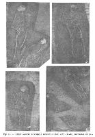 , Udeni, Terasa Lutăriei (SRB 008)<br /><a href='https://ran.cimec.ro/RANatasamente/i3/65D0887FE42848B68A27F4D32380033A.jpg' target=_blank>Display the same picture in a new window</a>. Author: Gheorghe Bichir. Title: Artefacte descoperite în timpul cercetărilor din 1966. Source: Gheorghe Bichir, Cercetări arheologice la Udeni, jud. Teleorman, Muzeul Național, VII, 1983, fig. 10, Udeni, Terasa Lutăriei (SRB 008)<br /><a href='https://ran.cimec.ro/RANatasamente/i3/1A3CB159EAC642AE88AB417A94A4181E.jpg' target=_blank>Display the same picture in a new window</a>. Author: Gheorghe Bichir. Title: Artefacte descoperite în timpul cercetărilor din 1966. Source: Gheorghe Bichir, Cercetări arheologice la Udeni, jud. Teleorman, Muzeul Național, VII, 1983, fig. 12, Udeni, Terasa Lutăriei (SRB 008)<br /><a href='https://ran.cimec.ro/RANatasamente/i3/D5C423AEB58441C3A9E3B4419A7F0C69.jpg' target=_blank>Display the same picture in a new window</a>. Author: Gheorghe Bichir. Title: Artefacte descoperite în timpul cercetărilor din 1966. Source: Gheorghe Bichir, Cercetări arheologice la Udeni, jud. Teleorman, Muzeul Național, VII, 1983, fig. 13, Udeni, Terasa Lutăriei (SRB 008)<br /><a href='https://ran.cimec.ro/RANatasamente/i3/FF29414C138E44A48DDA5C375B421192.jpg' target=_blank>Display the same picture in a new window</a>. Author: Gheorghe Bichir. Title: Artefacte descoperite în timpul cercetărilor din 1966. Source: Gheorghe Bichir, Cercetări arheologice la Udeni, jud. Teleorman, Muzeul Național, VII, 1983, fig. 17, Udeni, Terasa Lutăriei (SRB 008)<br /><a href='https://ran.cimec.ro/RANatasamente/i3/5E1DB8C260B841D680B52D2EB192C7B1.jpg' target=_blank>Display the same picture in a new window</a>. Author: Gheorghe Bichir. Title: Aspecte din timpul săpăturilor arheologice din 1966. Source: Gheorghe Bichir, Cercetări arheologice la Udeni, jud. Teleorman, Muzeul Național, VII, 1983, fig. 15