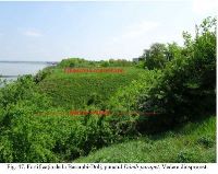 , Basarabi<br /><a href='https://ran.cimec.ro/RANatasamente/i3/D4634F2E20B44EF9872CDF7C58562F4B.jpg' target=_blank>Priveşte aceeaşi imagine într-o fereastră nouă</a>. Autor: Dorel Bondoc. Titlu: Artefact și fragment ceramic descoperit în perimetrul fortificației de la Dâmb-parapet.. Sursa: Dorel Bondoc, Siturile arheologice de pe raza localităților Calafat, Ciupercenii Vechi, Golenți și Basarabi, județu.l Dolj, 2025, p. 69, fig. 49, Basarabi<br /><a href='https://ran.cimec.ro/RANatasamente/i3/5820ED29E0354A4C8DAF7A917CD8F2CF.jpg' target=_blank>Priveşte aceeaşi imagine într-o fereastră nouă</a>. Autor: Dorel Bondoc. Titlu: Ceramică descoperită în apropierea fortificației din punctul Dâmb-parapet.. Sursa: Dorel Bondoc, Siturile arheologice de pe raza localităților Calafat, Ciupercenii Vechi, Golenți și Basarabi, județu.l Dolj, 2025, p. 70, fig. 50, Basarabi<br /><a href='https://ran.cimec.ro/RANatasamente/i3/D6570B1725FA4E588AE2641E51643CFD.jpg' target=_blank>Priveşte aceeaşi imagine într-o fereastră nouă</a>. Autor: Dorel Bondoc. Titlu: Ceramică descoperită în apropierea fortificației din punctul Dâmb-parapet.. Sursa: Dorel Bondoc, Siturile arheologice de pe raza localităților Calafat, Ciupercenii Vechi, Golenți și Basarabi, județu.l Dolj, 2025, p. 70, fig. 51, Basarabi<br /><a href='https://ran.cimec.ro/RANatasamente/i3/A1AE2763CAD841FF93DBB2F1DCFB0A5A.jpg' target=_blank>Priveşte aceeaşi imagine într-o fereastră nouă</a>. Autor: Dorel Bondoc. Titlu: Fortificația de la Dâmb-parapet. Sursa: Dorel Bondoc, Siturile arheologice de pe raza localităților Calafat, Ciupercenii Vechi, Golenți și Basarabi, județu.l Dolj, 2025, p. 67, fig. 47