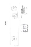 , Locusteni, Dealul Predeştilor (Peste Predeşti)<br /><a href='https://ran.cimec.ro/RANatasamente/i3/C63F5C547E694CF6B066A6CDF6007485.jpg' target=_blank>Priveşte aceeaşi imagine într-o fereastră nouă</a>. Autor: Dorel Bondoc. Titlu: Descoperiri arheologice. Sursa: Gheorghe Popilian, Dorel Bondoc, Așezările-daco romane de la Locușteni, Editura Sitech, Craiova, 2014, Locusteni, Dealul Predeştilor (Peste Predeşti)<br /><a href='https://ran.cimec.ro/RANatasamente/i3/848144D3AC224DA8BC570E8F28936E54.jpg' target=_blank>Priveşte aceeaşi imagine într-o fereastră nouă</a>. Autor: Dorel Bondoc. Titlu: Descoperiri arheologice. Sursa: Gheorghe Popilian, Dorel Bondoc, Așezările-daco romane de la Locușteni, Editura Sitech, Craiova, 2014, Locusteni, Dealul Predeştilor (Peste Predeşti)<br /><a href='https://ran.cimec.ro/RANatasamente/i3/589890F795124908B22CBE0F4278484F.jpg' target=_blank>Priveşte aceeaşi imagine într-o fereastră nouă</a>. Autor: Gheorghe Popilian et all. Titlu: Complexele arheologice. Sursa: Gheorghe Popilian, Dorel Bondoc, Așezările-daco romane de la Locușteni, Editura Sitech, Craiova, 2014, Locusteni, Dealul Predeştilor (Peste Predeşti)<br /><a href='https://ran.cimec.ro/RANatasamente/i3/7042EE7198C4471B9004AD7EDA0C5DC5.jpg' target=_blank>Priveşte aceeaşi imagine într-o fereastră nouă</a>. Autor: Gheorghe Popilian et all. Titlu: Complexele arheologice. Sursa: Gheorghe Popilian, Dorel Bondoc, Așezările-daco romane de la Locușteni, Editura Sitech, Craiova, 2014, Locusteni, Dealul Predeştilor (Peste Predeşti)<br /><a href='https://ran.cimec.ro/RANatasamente/i3/9776F551343C46E0A69E91EDCF28BAE4.jpg' target=_blank>Priveşte aceeaşi imagine într-o fereastră nouă</a>. Autor: Gheorghe Popilian et all. Titlu: Complexele arheologice. Sursa: Gheorghe Popilian, Dorel Bondoc, Așezările-daco romane de la Locușteni, Editura Sitech, Craiova, 2014, Locusteni, Dealul Predeştilor (Peste Predeşti)<br /><a href='https://ran.cimec.ro/RANatasamente/i3/72042560764D4EEE9FB3F5B96B5C6000.jpg' target=_blank>Priveşte aceeaşi imagine într-o fereastră nouă</a>. Autor: Gheorghe Popilian et all. Titlu: Complexele arheologice. Sursa: Gheorghe Popilian, Dorel Bondoc, Așezările-daco romane de la Locușteni, Editura Sitech, Craiova, 2014, Locusteni, Dealul Predeştilor (Peste Predeşti)<br /><a href='https://ran.cimec.ro/RANatasamente/i3/2B65CAAD3BF641129044B7DD86BA168A.jpg' target=_blank>Priveşte aceeaşi imagine într-o fereastră nouă</a>. Autor: Gheorghe Popilian et all. Titlu: Complexele arheologice. Sursa: Gheorghe Popilian, Dorel Bondoc, Așezările-daco romane de la Locușteni, Editura Sitech, Craiova, 2014, Locusteni, Dealul Predeştilor (Peste Predeşti)<br /><a href='https://ran.cimec.ro/RANatasamente/i3/ED5DD4629FE6462FA9D0722D813B670B.jpg' target=_blank>Priveşte aceeaşi imagine într-o fereastră nouă</a>. Autor: Gheorghe Popilian et all. Titlu: Descoperiri arheologice. Sursa: Gheorghe Popilian, Dorel Bondoc, Așezările-daco romane de la Locușteni, Editura Sitech, Craiova, 2014, Locusteni, Dealul Predeştilor (Peste Predeşti)<br /><a href='https://ran.cimec.ro/RANatasamente/i3/80B7E92B356E4531AE3E1F4607C087C4.jpg' target=_blank>Priveşte aceeaşi imagine într-o fereastră nouă</a>. Autor: Gheorghe Popilian et all. Titlu: Descoperiri arheologice. Sursa: Gheorghe Popilian, Dorel Bondoc, Așezările-daco romane de la Locușteni, Editura Sitech, Craiova, 2014, Locusteni, Dealul Predeştilor (Peste Predeşti)<br /><a href='https://ran.cimec.ro/RANatasamente/i3/F1DC469603AC4BFCBB3B257FD0890987.jpg' target=_blank>Priveşte aceeaşi imagine într-o fereastră nouă</a>. Autor: Gheorghe Popilian et all. Titlu: Descoperiri arheologice. Sursa: Gheorghe Popilian, Dorel Bondoc, Așezările-daco romane de la Locușteni, Editura Sitech, Craiova, 2014