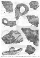 , Locusteni, Dealul Predeştilor (Peste Predeşti)<br /><a href='https://ran.cimec.ro/RANatasamente/i3/C63F5C547E694CF6B066A6CDF6007485.jpg' target=_blank>Priveşte aceeaşi imagine într-o fereastră nouă</a>. Autor: Dorel Bondoc. Titlu: Descoperiri arheologice. Sursa: Gheorghe Popilian, Dorel Bondoc, Așezările-daco romane de la Locușteni, Editura Sitech, Craiova, 2014, Locusteni, Dealul Predeştilor (Peste Predeşti)<br /><a href='https://ran.cimec.ro/RANatasamente/i3/848144D3AC224DA8BC570E8F28936E54.jpg' target=_blank>Priveşte aceeaşi imagine într-o fereastră nouă</a>. Autor: Dorel Bondoc. Titlu: Descoperiri arheologice. Sursa: Gheorghe Popilian, Dorel Bondoc, Așezările-daco romane de la Locușteni, Editura Sitech, Craiova, 2014, Locusteni, Dealul Predeştilor (Peste Predeşti)<br /><a href='https://ran.cimec.ro/RANatasamente/i3/589890F795124908B22CBE0F4278484F.jpg' target=_blank>Priveşte aceeaşi imagine într-o fereastră nouă</a>. Autor: Gheorghe Popilian et all. Titlu: Complexele arheologice. Sursa: Gheorghe Popilian, Dorel Bondoc, Așezările-daco romane de la Locușteni, Editura Sitech, Craiova, 2014, Locusteni, Dealul Predeştilor (Peste Predeşti)<br /><a href='https://ran.cimec.ro/RANatasamente/i3/7042EE7198C4471B9004AD7EDA0C5DC5.jpg' target=_blank>Priveşte aceeaşi imagine într-o fereastră nouă</a>. Autor: Gheorghe Popilian et all. Titlu: Complexele arheologice. Sursa: Gheorghe Popilian, Dorel Bondoc, Așezările-daco romane de la Locușteni, Editura Sitech, Craiova, 2014, Locusteni, Dealul Predeştilor (Peste Predeşti)<br /><a href='https://ran.cimec.ro/RANatasamente/i3/9776F551343C46E0A69E91EDCF28BAE4.jpg' target=_blank>Priveşte aceeaşi imagine într-o fereastră nouă</a>. Autor: Gheorghe Popilian et all. Titlu: Complexele arheologice. Sursa: Gheorghe Popilian, Dorel Bondoc, Așezările-daco romane de la Locușteni, Editura Sitech, Craiova, 2014, Locusteni, Dealul Predeştilor (Peste Predeşti)<br /><a href='https://ran.cimec.ro/RANatasamente/i3/72042560764D4EEE9FB3F5B96B5C6000.jpg' target=_blank>Priveşte aceeaşi imagine într-o fereastră nouă</a>. Autor: Gheorghe Popilian et all. Titlu: Complexele arheologice. Sursa: Gheorghe Popilian, Dorel Bondoc, Așezările-daco romane de la Locușteni, Editura Sitech, Craiova, 2014, Locusteni, Dealul Predeştilor (Peste Predeşti)<br /><a href='https://ran.cimec.ro/RANatasamente/i3/2B65CAAD3BF641129044B7DD86BA168A.jpg' target=_blank>Priveşte aceeaşi imagine într-o fereastră nouă</a>. Autor: Gheorghe Popilian et all. Titlu: Complexele arheologice. Sursa: Gheorghe Popilian, Dorel Bondoc, Așezările-daco romane de la Locușteni, Editura Sitech, Craiova, 2014, Locusteni, Dealul Predeştilor (Peste Predeşti)<br /><a href='https://ran.cimec.ro/RANatasamente/i3/ED5DD4629FE6462FA9D0722D813B670B.jpg' target=_blank>Priveşte aceeaşi imagine într-o fereastră nouă</a>. Autor: Gheorghe Popilian et all. Titlu: Descoperiri arheologice. Sursa: Gheorghe Popilian, Dorel Bondoc, Așezările-daco romane de la Locușteni, Editura Sitech, Craiova, 2014, Locusteni, Dealul Predeştilor (Peste Predeşti)<br /><a href='https://ran.cimec.ro/RANatasamente/i3/80B7E92B356E4531AE3E1F4607C087C4.jpg' target=_blank>Priveşte aceeaşi imagine într-o fereastră nouă</a>. Autor: Gheorghe Popilian et all. Titlu: Descoperiri arheologice. Sursa: Gheorghe Popilian, Dorel Bondoc, Așezările-daco romane de la Locușteni, Editura Sitech, Craiova, 2014, Locusteni, Dealul Predeştilor (Peste Predeşti)<br /><a href='https://ran.cimec.ro/RANatasamente/i3/F1DC469603AC4BFCBB3B257FD0890987.jpg' target=_blank>Priveşte aceeaşi imagine într-o fereastră nouă</a>. Autor: Gheorghe Popilian et all. Titlu: Descoperiri arheologice. Sursa: Gheorghe Popilian, Dorel Bondoc, Așezările-daco romane de la Locușteni, Editura Sitech, Craiova, 2014, Locusteni, Dealul Predeştilor (Peste Predeşti)<br /><a href='https://ran.cimec.ro/RANatasamente/i3/E0C5AAD880F34CCFB8B2DBF48866EA71.jpg' target=_blank>Priveşte aceeaşi imagine într-o fereastră nouă</a>. Autor: Gheorghe Popilian et all. Titlu: Descoperiri arheologice. Sursa: Gheorghe Popilian, Dorel Bondoc, Așezările-daco romane de la Locușteni, Editura Sitech, Craiova, 2014, Locusteni, Dealul Predeştilor (Peste Predeşti)<br /><a href='https://ran.cimec.ro/RANatasamente/i3/0E6021F112334C318C5446BBA85C52F4.jpg' target=_blank>Priveşte aceeaşi imagine într-o fereastră nouă</a>. Autor: Gheorghe Popilian et all. Titlu: Descoperiri arheologice. Sursa: Gheorghe Popilian, Dorel Bondoc, Așezările-daco romane de la Locușteni, Editura Sitech, Craiova, 2014, Locusteni, Dealul Predeştilor (Peste Predeşti)<br /><a href='https://ran.cimec.ro/RANatasamente/i3/7F14D6BEEDDE4632A3C085AD1874CCC8.jpg' target=_blank>Priveşte aceeaşi imagine într-o fereastră nouă</a>. Autor: Gheorghe Popilian et all. Titlu: Descoperiri arheologice. Sursa: Gheorghe Popilian, Dorel Bondoc, Așezările-daco romane de la Locușteni, Editura Sitech, Craiova, 2014, Locusteni, Dealul Predeştilor (Peste Predeşti)<br /><a href='https://ran.cimec.ro/RANatasamente/i3/EEDE2AF9407E4DE29B59649318B992D0.jpg' target=_blank>Priveşte aceeaşi imagine într-o fereastră nouă</a>. Autor: Gheorghe Popilian et all. Titlu: Descoperiri arheologice. Sursa: Gheorghe Popilian, Dorel Bondoc, Așezările-daco romane de la Locușteni, Editura Sitech, Craiova, 2014, Locusteni, Dealul Predeştilor (Peste Predeşti)<br /><a href='https://ran.cimec.ro/RANatasamente/i3/C9B6806E996F4D409E661F95C3B48359.jpg' target=_blank>Priveşte aceeaşi imagine într-o fereastră nouă</a>. Autor: Gheorghe Popilian et all. Titlu: Descoperiri arheologice. Sursa: Gheorghe Popilian, Marin Nica, Corneliu Tătulea,  Raport asupra cercetărilor arheologice de la Locusteni, jud. Dolj., MCA, Tulcea, 1980, 254-260