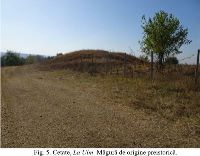 , Cetate, La Ulm (Dealul Ulmului)<br /><a href='https://ran.cimec.ro/RANatasamente/i3/637C34D66E034C84ADC1ED95294ACB31.jpg' target=_blank>Priveşte aceeaşi imagine într-o fereastră nouă</a>. Autor: Dorel Bondoc. Titlu: Fotografie de teren. Sursa: Dorel Bondoc, Studiu arheologic pentru teritoriul administrativ al  comunei Cetate pentru Planul Urbanistic General  al U.A.T. Cetate, Județul Dolj, 2025, Cetate, La Ulm (Dealul Ulmului)<br /><a href='https://ran.cimec.ro/RANatasamente/i3/D9B2B1BCC19D4A7A9C582A76C92D52F9.jpg' target=_blank>Priveşte aceeaşi imagine într-o fereastră nouă</a>. Autor: Dorel Bondoc. Titlu: Fotografie de teren. Sursa: Dorel Bondoc, Studiu arheologic pentru teritoriul administrativ al  comunei Cetate pentru Planul Urbanistic General  al U.A.T. Cetate, Județul Dolj, 2025, Cetate, La Ulm (Dealul Ulmului)<br /><a href='https://ran.cimec.ro/RANatasamente/i3/CB539A56B73449A1B7A28351F167B510.jpg' target=_blank>Priveşte aceeaşi imagine într-o fereastră nouă</a>. Autor: Dorel Bondoc. Titlu: Fotografie de teren. Sursa: Dorel Bondoc, Studiu arheologic pentru teritoriul administrativ al  comunei Cetate pentru Planul Urbanistic General  al U.A.T. Cetate, Județul Dolj, 2025, Cetate, La Ulm (Dealul Ulmului)<br /><a href='https://ran.cimec.ro/RANatasamente/i3/CF1C43CCBB6A4FCF8C5530D42AA98CD3.jpg' target=_blank>Priveşte aceeaşi imagine într-o fereastră nouă</a>. Autor: Dorel Bondoc. Titlu: Localizarea sitului. Sursa: Dorel Bondoc, Studiu arheologic pentru teritoriul administrativ al  comunei Cetate pentru Planul Urbanistic General  al U.A.T. Cetate, Județul Dolj, 2025, Cetate, La Ulm (Dealul Ulmului)<br /><a href='https://ran.cimec.ro/RANatasamente/i3/02A5961B93EB442D9B3FC584C5C952D6.jpg' target=_blank>Priveşte aceeaşi imagine într-o fereastră nouă</a>. Autor: Dorel Bondoc. Titlu: Materiale arheologice descoperite. Sursa: Dorel Bondoc, Studiu arheologic pentru teritoriul administrativ al  comunei Cetate pentru Planul Urbanistic General  al U.A.T. Cetate, Județul Dolj, 2025, Cetate, La Ulm (Dealul Ulmului)<br /><a href='https://ran.cimec.ro/RANatasamente/i3/2192237F1AB64157B4CED3D1FC624815.jpg' target=_blank>Priveşte aceeaşi imagine într-o fereastră nouă</a>. Autor: Dorel Bondoc. Titlu: Materiale arheologice descoperite. Sursa: Dorel Bondoc, Studiu arheologic pentru teritoriul administrativ al  comunei Cetate pentru Planul Urbanistic General  al U.A.T. Cetate, Județul Dolj, 2025, Cetate, La Ulm (Dealul Ulmului)<br /><a href='https://ran.cimec.ro/RANatasamente/i3/96E2240DF3774CD1BCE49ECAE55520DD.jpg' target=_blank>Priveşte aceeaşi imagine într-o fereastră nouă</a>. Autor: Dorel Bondoc. Titlu: Materiale arheologice descoperite. Sursa: Dorel Bondoc, Studiu arheologic pentru teritoriul administrativ al  comunei Cetate pentru Planul Urbanistic General  al U.A.T. Cetate, Județul Dolj, 2025, Cetate, La Ulm (Dealul Ulmului)<br /><a href='https://ran.cimec.ro/RANatasamente/i3/F9F8C9BE226F42AF841E719B9A4DBD34.jpg' target=_blank>Priveşte aceeaşi imagine într-o fereastră nouă</a>. Autor: Dorel Bondoc. Titlu: Tumulul din punctul La Ulm. Sursa: Dorel Bondoc, Studiu arheologic pentru teritoriul administrativ al  comunei Cetate pentru Planul Urbanistic General  al U.A.T. Cetate, Județul Dolj, 2025