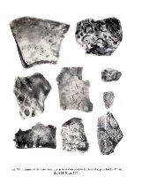 , Basarabi, La Vârtej<br /><a href='https://ran.cimec.ro/RANatasamente/i3/35E4FFCA5FF4404CB737D17804C2CE51.jpg' target=_blank>Priveşte aceeaşi imagine într-o fereastră nouă</a>. Autor: Dorel Bondoc. Titlu: Ceramică Dridu descoperită în perimetrul sitului de La Vârtej. Sursa: Dorel Bondoc, Siturile arheologice de pe raza localităților Calafat, Ciupercenii Vechi, Golenți și Basarabi, județul Dolj, 2025, p. 81, fig. 58c., Basarabi, La Vârtej<br /><a href='https://ran.cimec.ro/RANatasamente/i3/70B85C10ACEA481EBA297179BEBD03AF.jpg' target=_blank>Priveşte aceeaşi imagine într-o fereastră nouă</a>. Autor: Dorel Bondoc. Titlu: Ceramică medievală descoperită în perimetrul sitului La Vârtej. Sursa: Dorel Bondoc, Siturile arheologice de pe raza localităților Calafat, Ciupercenii Vechi, Golenți și Basarabi, județul Dolj, 2025, p. 81, fig. 58d., Basarabi, La Vârtej<br /><a href='https://ran.cimec.ro/RANatasamente/i3/701BDE8C3ABE492CB582F61994A000FE.jpg' target=_blank>Priveşte aceeaşi imagine într-o fereastră nouă</a>. Autor: Dorel Bondoc. Titlu: Ceramică preistorică descoperită în perimetrul sitului. Sursa: Dorel Bondoc, Siturile arheologice de pe raza localităților Calafat, Ciupercenii Vechi, Golenți și Basarabi, județul Dolj, 2025, p. 80. fig. 58a., Basarabi, La Vârtej<br /><a href='https://ran.cimec.ro/RANatasamente/i3/AFBB71318E8543EFB2EFF94AFF73656F.jpg' target=_blank>Priveşte aceeaşi imagine într-o fereastră nouă</a>. Autor: Dorel Bondoc. Titlu: Ceramică romană descoperită în perimetrul sitului. Sursa: Dorel Bondoc, Siturile arheologice de pe raza localităților Calafat, Ciupercenii Vechi, Golenți și Basarabi, județul Dolj, 2025, p. 80. fig. 58b, Basarabi, La Vârtej<br /><a href='https://ran.cimec.ro/RANatasamente/i3/EE41A6E56E58409EA3B0B27CF1F665AF.jpg' target=_blank>Priveşte aceeaşi imagine într-o fereastră nouă</a>. Autor: Marin Nica. Titlu: Ceramică aparținând culturii Starcevo-Criș. Sursa: Dorel Bondoc, Siturile..., 2025, apud. Marin Nica, O așezare de tip  Starčevo- Criş lîngă Basarabi (jud. Dolj), SCIVA, 4, 1971, fig 57, Basarabi, La Vârtej<br /><a href='https://ran.cimec.ro/RANatasamente/i3/BC6AE3CC1E844D9D9C01771835B9D87C.jpg' target=_blank>Priveşte aceeaşi imagine într-o fereastră nouă</a>. Autor: Marin Nica. Titlu: Ceramică și maxilar uman aparținând culturii Starcevo-Criș. Sursa: Dorel Bondoc, Siturile..., 2025, apud. Marin Nica, O așezare de tip  Starčevo- Criş lîngă Basarabi (jud. Dolj), SCIVA, 4, 1971, fig 58