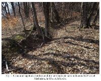 , Polovragi, Crucea lui Ursache; Oborul Jidovilor<br /><a href='https://ran.cimec.ro/RANatasamente/i3/E0C2E575501341D297CAF7F4F1DAED72.jpg' target=_blank>Display the same picture in a new window</a>. Author: Dorel Bondoc. Title: Cetăţile dacice de la Polovragi. Source: Dorel Bondoc, Studiu arheologic, 2024, figura 6, Polovragi, Crucea lui Ursache; Oborul Jidovilor<br /><a href='https://ran.cimec.ro/RANatasamente/i3/89146B2747394535846806C7A8121F25.jpg' target=_blank>Display the same picture in a new window</a>. Author: Dorel Bondoc. Title: Crucea lui Ursache. Source: Dorel Bondoc, Studiu arheologic, 2024, figura 4, Polovragi, Crucea lui Ursache; Oborul Jidovilor<br /><a href='https://ran.cimec.ro/RANatasamente/i3/5ECFB3623DB04518A12565811C54EF01.jpg' target=_blank>Display the same picture in a new window</a>. Author: Dorel Bondoc. Title: Fotografie de teren cu drumul de acces și înălțimea pe care era situată fortificația principală. Source: Dorel Bondoc, Studiu arheologic, 2024, figura 11, Polovragi, Crucea lui Ursache; Oborul Jidovilor<br /><a href='https://ran.cimec.ro/RANatasamente/i3/B141D0D4F2B74B94BEA4AFB02CF6B742.jpg' target=_blank>Display the same picture in a new window</a>. Author: Dorel Bondoc. Title: Fotografie de teren cu drumul de acces și înălțimea pe care se afla cetatea de refugiu. Source: Dorel Bondoc, Studiu arheologic, 2024, figura 10, Polovragi, Crucea lui Ursache; Oborul Jidovilor<br /><a href='https://ran.cimec.ro/RANatasamente/i3/3D40EDF9FF0F4E9F8EF97002915160D8.jpg' target=_blank>Display the same picture in a new window</a>. Author: Dorel Bondoc. Title: Fotografie de teren cu urmele săpăturilor lui Floricel Marinescu din 1969-1972. Source: Dorel Bondoc, Studiu arheologic, 2024, figura 1.