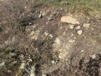 , Copăceni, Fânaţe (Szénafű)<br /><a href='https://ran.cimec.ro/RANatasamente/i3/70C70B97DFE2405DB10186F98E858C7E.jpg' target=_blank>Display the same picture in a new window</a>. Author: Dr. Chiorean Paul-Florin. Title: Așezarea romană de la Copăceni Fânațe, Copăceni, Fânaţe (Szénafű)<br /><a href='https://ran.cimec.ro/RANatasamente/i3/596AB85D58FC42178055FB3808FA0578.jpg' target=_blank>Display the same picture in a new window</a>. Author: Dr. Chiorean Paul-Florin. Title: Așezarea romană de la Copăceni Fânațe, Copăceni, Fânaţe (Szénafű)<br /><a href='https://ran.cimec.ro/RANatasamente/i3/692E546BCFC145A3B7C7F2D45C363646.jpg' target=_blank>Display the same picture in a new window</a>. Author: Dr. Chiorean Paul-Florin. Title: Așezarea romană de la Copăceni Fânațe, Copăceni, Fânaţe (Szénafű)<br /><a href='https://ran.cimec.ro/RANatasamente/i3/8C0AF03F072B464EAB626E2F9FF15DCA.jpg' target=_blank>Display the same picture in a new window</a>. Author: Dr. Chiorean Paul-Florin. Title: Așezarea romană de la Copăceni Fânațe