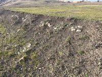 , Copăceni, Fânaţe (Szénafű)<br /><a href='https://ran.cimec.ro/RANatasamente/i3/70C70B97DFE2405DB10186F98E858C7E.jpg' target=_blank>Display the same picture in a new window</a>. Author: Dr. Chiorean Paul-Florin. Title: Așezarea romană de la Copăceni Fânațe, Copăceni, Fânaţe (Szénafű)<br /><a href='https://ran.cimec.ro/RANatasamente/i3/596AB85D58FC42178055FB3808FA0578.jpg' target=_blank>Display the same picture in a new window</a>. Author: Dr. Chiorean Paul-Florin. Title: Așezarea romană de la Copăceni Fânațe, Copăceni, Fânaţe (Szénafű)<br /><a href='https://ran.cimec.ro/RANatasamente/i3/692E546BCFC145A3B7C7F2D45C363646.jpg' target=_blank>Display the same picture in a new window</a>. Author: Dr. Chiorean Paul-Florin. Title: Așezarea romană de la Copăceni Fânațe, Copăceni, Fânaţe (Szénafű)<br /><a href='https://ran.cimec.ro/RANatasamente/i3/8C0AF03F072B464EAB626E2F9FF15DCA.jpg' target=_blank>Display the same picture in a new window</a>. Author: Dr. Chiorean Paul-Florin. Title: Așezarea romană de la Copăceni Fânațe, Copăceni, Fânaţe (Szénafű)<br /><a href='https://ran.cimec.ro/RANatasamente/i3/63E333F11D004EBAA54F14D94F493472.jpg' target=_blank>Display the same picture in a new window</a>. Author: Dr. Chiorean Paul-Florin. Title: Așezarea romană de la Copăceni Fânațe