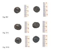 , Locusteni, Dealul Predeştilor (Peste Predeşti)<br /><a href='https://ran.cimec.ro/RANatasamente/i3/C63F5C547E694CF6B066A6CDF6007485.jpg' target=_blank>Priveşte aceeaşi imagine într-o fereastră nouă</a>. Autor: Dorel Bondoc. Titlu: Descoperiri arheologice. Sursa: Gheorghe Popilian, Dorel Bondoc, Așezările-daco romane de la Locușteni, Editura Sitech, Craiova, 2014