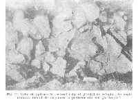 , Polovragi, Crucea lui Ursache; Oborul Jidovilor<br /><a href='https://ran.cimec.ro/RANatasamente/i3/E0C2E575501341D297CAF7F4F1DAED72.jpg' target=_blank>Display the same picture in a new window</a>. Author: Dorel Bondoc. Title: Cetăţile dacice de la Polovragi. Source: Dorel Bondoc, Studiu arheologic, 2024, figura 6, Polovragi, Crucea lui Ursache; Oborul Jidovilor<br /><a href='https://ran.cimec.ro/RANatasamente/i3/89146B2747394535846806C7A8121F25.jpg' target=_blank>Display the same picture in a new window</a>. Author: Dorel Bondoc. Title: Crucea lui Ursache. Source: Dorel Bondoc, Studiu arheologic, 2024, figura 4, Polovragi, Crucea lui Ursache; Oborul Jidovilor<br /><a href='https://ran.cimec.ro/RANatasamente/i3/5ECFB3623DB04518A12565811C54EF01.jpg' target=_blank>Display the same picture in a new window</a>. Author: Dorel Bondoc. Title: Fotografie de teren cu drumul de acces și înălțimea pe care era situată fortificația principală. Source: Dorel Bondoc, Studiu arheologic, 2024, figura 11, Polovragi, Crucea lui Ursache; Oborul Jidovilor<br /><a href='https://ran.cimec.ro/RANatasamente/i3/B141D0D4F2B74B94BEA4AFB02CF6B742.jpg' target=_blank>Display the same picture in a new window</a>. Author: Dorel Bondoc. Title: Fotografie de teren cu drumul de acces și înălțimea pe care se afla cetatea de refugiu. Source: Dorel Bondoc, Studiu arheologic, 2024, figura 10, Polovragi, Crucea lui Ursache; Oborul Jidovilor<br /><a href='https://ran.cimec.ro/RANatasamente/i3/3D40EDF9FF0F4E9F8EF97002915160D8.jpg' target=_blank>Display the same picture in a new window</a>. Author: Dorel Bondoc. Title: Fotografie de teren cu urmele săpăturilor lui Floricel Marinescu din 1969-1972. Source: Dorel Bondoc, Studiu arheologic, 2024, figura 1., Polovragi, Crucea lui Ursache; Oborul Jidovilor<br /><a href='https://ran.cimec.ro/RANatasamente/i3/295BDE39CEE74D32A730D9B3ABF473D3.jpg' target=_blank>Display the same picture in a new window</a>. Author: Dorel Bondoc. Title: Localizarea principalelor monumente și situri arheologice din satul Polovragi. Source: Dorel Bondoc, Studiu arheologic, 2024, figura 8, Polovragi, Crucea lui Ursache; Oborul Jidovilor<br /><a href='https://ran.cimec.ro/RANatasamente/i3/A0D49685B3F642EA8F655FC0F57CC5BC.jpg' target=_blank>Display the same picture in a new window</a>. Author: Dorel Bondoc. Title: Vedere cu localizarea sitului dinspre satul Polovragi. Source: Dorel Bondoc, Studiu arheologic, 2024, figura 4, Polovragi, Crucea lui Ursache; Oborul Jidovilor<br /><a href='https://ran.cimec.ro/RANatasamente/i3/F652E9BC19F040F7B5EDAC0F9DE43D9E.jpg' target=_blank>Display the same picture in a new window</a>. Author: Dorel Bondoc. Title: Vedere cu Masivul Padeşului şi Cheile Olteţului. Source: Dorel Bondoc, Studiu arheologic, 2024, figura 7, Polovragi, Crucea lui Ursache; Oborul Jidovilor<br /><a href='https://ran.cimec.ro/RANatasamente/i3/0C6AB998E877495ABE72061484FC5D92.jpg' target=_blank>Display the same picture in a new window</a>. Author: Floricel Marinescu. Title: Aspecte din săpăturile din 1969-1971. Source: Floricel Marinescu, Cetatea dacică de la Polovragi, Crisia, 2, 1972, figura 10, Polovragi, Crucea lui Ursache; Oborul Jidovilor<br /><a href='https://ran.cimec.ro/RANatasamente/i3/A32A53B952094B1680793FE92D4A9379.jpg' target=_blank>Display the same picture in a new window</a>. Author: Floricel Marinescu. Title: Aspecte din săpăturile din 1969-1971. Source: Floricel Marinescu, Cetatea dacică de la Polovragi, Crisia, 2, 1972, figura 11., Polovragi, Crucea lui Ursache; Oborul Jidovilor<br /><a href='https://ran.cimec.ro/RANatasamente/i3/21F1283A393344E685F319C3FDA6B914.jpg' target=_blank>Display the same picture in a new window</a>. Author: Floricel Marinescu. Title: Aspecte din săpăturile din 1969-1971. Source: Floricel Marinescu, Cetatea dacică de la Polovragi, Crisia, 2, 1972, figura 12