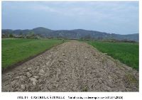 , Valea Perilor, Chivadarul<br /><a href='https://ran.cimec.ro/RANatasamente/i3/C3771FEB5DB5496EA1513F95B3861AE9.jpg' target=_blank>Priveşte aceeaşi imagine într-o fereastră nouă</a>. Autor: Victor Bunoiu. Titlu: Fotografie de teren. Sursa: Victor Bunoiu, Fișă de sit arheologic: Castrul și așezarea romană de la Valea Perilor - Chivadarul, Timișoara, 2026