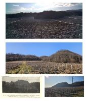 , Vârteşcoiu, Dealul Titila<br /><a href='https://ran.cimec.ro/RANatasamente/i3/16A588AE6FF64F39879CA5DDF77CC546.jpg' target=_blank>Priveşte aceeaşi imagine într-o fereastră nouă</a>. Sursa: Mădălina Stănescu, Studiu arheologic al comunei Vârteșcoiu, Muzeul Vrancei, 2025.