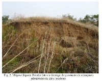 , Dobridor, Măgura Săpată<br /><a href='https://ran.cimec.ro/RANatasamente/i3/03A9AFA896E942F28C0D1BBED47EEDB9.jpg' target=_blank>Display the same picture in a new window</a>. Author: Dorel Bondoc. Title: Fotografie de teren. Source: Dorel Bondoc, Fișă de sit arheologic: Măgura Săpată de la Dobridor, comuna Moțăței, 2023